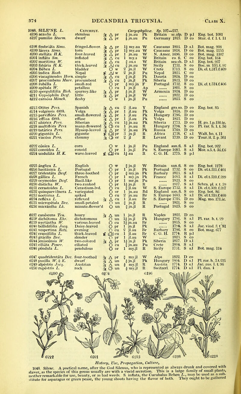 1048. SILE'NE. L. 6196 acaulis L. 6197 pumilio Sturm. Catchfly. stemless ^ A P' dwarf 5£ A l>r Caryophyllece. Sp. 107—217. I jn.au Pk Britain scalp. D p.l Eng. bot. 1081 ljn.au Pu Germany 1823. Deo Stur. d. f. 1.1.11 6198 fimbriata Sims. 6199 lacera Sims. 6200stellata H.K. 6201 inflata Sm. 6202 maritima W. 6203 fabaria H. K. 6204 Behen L. i5205 Indica Roxb. 6206 viscaginoides Horn. 6207 proci'imbens Murr. 6208 rubella L. 6209 apetala W. 6210 spergulifolia Bieb. 6211 Gypsophila Desf. 6212 carnosa Monch. 6213 Otites Pets. 6214 volgensis C/rt. 6215 parviflora Pers. 6216 effusa Otth. 6217 sibirica Pei-i. 6218 multifliira Pers. 6219 tatarica /Vrs. 6220 gigantea L. 6221 viscosa Pers. fringed-flowcr. torn four-leaved inflated sea thick-leaved bladder Nepal simple procumbent small-red petalless spurrey-like little fleshy k A pr ik A pr k A pr ifc A cu 5t A cu k -AJ cu O w a aj w ^ A cu ^ A « O pr O cu ^ A pr k A pr O w Spanish ^ A Volga 3e A pr small-flowered ^ A P' effuse ^ A pr Siberian ^ A cu many-flowered Q) cu Hyssop-leaved ^ A pr gigantic £ QJ pr clammy ^ Q) or 1| my.au W 1| my.au W 1 jn.au W 1 my.s J au.s fjn.au 2 jn.jl 2 jn.jl f jn.jl ? jn.jl J my.jn 1 jn.jl I jn-jl i jn.jl 1 jn.jl 2 jl.au 1 jl.au 1 jl.au 1 jl.au 1| jn.au 1 jn.au 2 jn.au 3 jn jl 2 jl W W w w Pu Pk Pk F Ap \V w I'll Y Pk Pk Pk Pk R Pk R R Caucasus 1803. Caucasus 1818. N. Amer. 1696. Britain co. fi. Britain seash Sicily 1731. Crete 1713. Nepal 1823. Dauria 1824. Siberia 1823. Portugal 1732. 1801. Armenia 1824. 1822. 1823. D s.l D co D co C co D s.l S co S co C co D co D co S co S co D co D co S co England gra so. D co Volga 1824. D co Hungary 1796. D co Volga 1823. D co Siberia 1773. D CO Hungary 1794. S CO Russia 1769. D co Africa 1738. C s.l Levant 1739. D co Bot. mag. 908 Bot. mag. 2255 Bot. mag. 1107 Eng. bot. 164 Eng. bot. 957 Boc. m. 133. t. 92 Di. el. t.317.f.409 Di. el. t.3I4.f.406 Eng. bot. 85 H. go. l.p.lSO.ic. PI. rar. h. l.t.56 Walt. ho. 1.11 Tour. it. 2. p. 361 6222 c6nica L. 6223 conoidea L. 6224 undulata H. K. corn conoid wave-leaved O w 1 jn.jl Pu O pr 1 jn.jl Pu H Ol cu 1| au R England san.fi. S s.l S. Europe 1683. S s.l C. G. H. 1775. S p.l Eng. bot. 922 Mor. s.5. t. 36.f.6 6225 anglica L. 6226 lusitanica L. 6227 tridentata Desf. 6228 gallica L. 6229 ocymoides Desf. 6230dlsticha W. 6231 cerastoides L. 6232 quinqueviilnera L. 6233 nocti'irna L. 6234reflexa L. 6235 micropetala Dec. 6236 micrantha Lk. 6237 canescens Ten. 6238 dichotoma Ehr. 6239 nyctantha W. 6240 bellidifolia Jucq. 6241 vespertina Retz. 6242 crassifolia L. 6243 gracilis Dec. 6244 jeniseensis W 6245 ciliata Pourr. 6246 pendula L. English Portugal three-toothed French Basil-like two-ranked Cerastium-lvd. variegated spiked reflexed ^ small-petaled minute-flower'd hoary dichotomous various-leaved Daisy-leaved evening thick-leaved slender two-colored ciliated pendulous O w O pr O pr O pr O pr O pr O cu O or O cu A cu O un O U ^ A u» O un O cu O pr O cu £ Ol cu O pr k A pr O cu O or 6247 quadridentata Dec. four-toothed 6248 pusilla W. Si K. dwarf 6249 alpestris Jucq. Austrian 6250 rupestris L. rock 6200 k A pr ^ A un 5 A un ^ Q\ un 6214 f jn.jl W Britain san.fi. S CO 1 jn.jl Pk Portugal 1732. S CO f my.jn Pk Barbary 1823. s S.1 1 my.jn Pk France 1683. s S.1 1 mr.jn Pu 1823. s CO H jn.jl R 1817. s s.l fjl.au W S. Europe 1732. s s.1 1 jn.au Bd England san.fi. s CO 2 jn.au Br S. Europe 1683. s s.1 1 jl.au Br S. Europe 1726. D CO f jn.jl R 1821. S CO f jn.jl R Portugal 1823. S CO 1 jn.jl R Naples 1822. D CO H jn.jl Pk Hungary 1791. S s.1 1| jn.au Br 1815. s CO 1 jn.jl Pk 1714. s s.1 2 jl.au Br Barbary 1796. s CO 1 jl.au Br C. G. H. 1774. R p.l 1 jl.au W 1823. S CO li jn.jl Pk Siberia 1817. D s.1 fjn.au Pu Crete 1804. S S.I 1 my.jl R Sicily 1731. S s.1 J mv.jl W Alps 1822. n CO i jn.jl Pk Hungary 1804. i) s.l i my.jl R Austria 1774. D s.1 e my.jl R Switzerl. 1774. D s.1 6196 Eng. bot. 1178 Di. el.t.311.f.401 Di. el.t.310.f.399 Schra. pi. r. t. 39 Di. el.t.309. f.397 Eng. bot. 86 Di. el.t.310.f.400 Mag. mo. 171.ic. PI. rar. h. t. 29 Jac. vind. 3. C81 Bot. mag. 677 Bot. mag. 114 PI. rar. h. 3.t.212 Jac. aus. 1. t. 96 Fl. dan. 1 6201 cnsffli^as 6213 History, Use, Propagation, Culture, 1048 Silene. A poetical name, after the God Silenus, who is represented as always drunk and covered with slaver as the species of this genus usually are with a viscid secretion. This is a large family of small plants, neither remarkable for use, beauty, or as bad weeds. S. inflata, the Cucubalus Behen may be used as a sub- stitute for asparagus or green pease, the young shoots having the flavor of both. They ought to be gathered