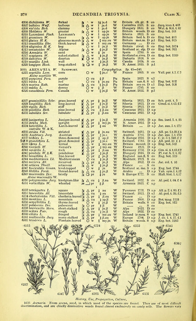 6306 dich6toma W, forked 4  w 1J ja.d W 6307 bulbosa Wulf. bulbous k A w 1 ja.d w 6308 vis'cida Bieb. clammy O w 1 ja.d w 6309 Holostea W. greater ^ A w 1 ap.jn \v 6310 Laxmanni Fisch. Laxmann's O w 1 ap.jn \v 6311 graminea W. lesser 5t A w 1 ap.jn \v 6312 gla6ca H. K. glaucous marsh k A w £ my.au w 6313 crassifolia Ehr. thick-leaved k A w 1 my.au w 6314 uliginosa H. K. bog o w 1 jn.jl w 6315 cerastoides W. Alpine k a w w 6316 Arenaria jr. sand o w i jn t jn.jl w 6317 scapigera W. naked-stalked & A w w 6318 dahurica W. daurian £ C» w 1 jn.jl w 6319 muralis Link. wall O w 1 jn.jl w 6320 longipes ifooi. long-stalked k Q> w 1 jn.jl w 1050. ARENA'RIA. 6321 segetalis Lam. Sandwort. O w Caryofhyllece. fjn.o W A/sine segetalis W. 6322 purpurea Pers. purple O cu if Pu 6323 rubra L. red O cu 4 jn.au Pu 6324 marina /MA. marine k A cu i jnjl Pu 6325 media L. downy O w K P •, w 6326 canadensis Pers. Canada O w 1 jn.jl w Britain clt. gr. Carinthia 1823. Hungary 1820. Britain woods. Siberia 1823. Britain hed. b. Britain moi.m. Germany ... Britain rivul. Scotland sc. alp. Spain 1799. Scotland sc.rivu. Dahuria 1818. Candia 1824. N. Amer. 1820. S co S co S co D co S co D co D p.l D co S co D co S co D co S co S co S p.l Jacq. icon.t. 463 Wal. & Kit. t. 22 Eng. bot. 511 Eng. bot. 803 Eng. bot. 825 Eng. bot. 1074 Eng. bot. 911 Eng. bot. 1269 France 1805. S co Vail. par. t.3. f.3 Spain 1823. S s.l Britain san.fi. S s.l Britain sea co. D s.l France 1795. S co N. Amer. 1812. S p.l Eng. bot. 852 Eng. bot. 958 6327 graminifolia Schr. 6328 longifolia Bieb. 6329 rigida Bieb. 6330 pinifolia Bieb. 6331 subulata Ser. grass-leaved long-leaved stiff pine-leaved subulate l£ Apr £ A pr £ A pr £ A cu £ A pr i jn.jl i jn.jl i jn jl i jl-au i jl-au W w w w w Siberia 1815. Siberia 1823. Siberia 1823. Caucasus 1823. Caucasus 1822. D co D co D co D s.p D s.p Sch. gott. t. 5 GmeL si. t.03. £2 6332 juniperlna L. 6333stricta Mich. 6334 laricifolia L. rostrdta W. & K. R335 striata Vtil. 6336 Austriaea Jacq. 6337 triflora L. §6S 38 grandiflora L. 6339verna L. 6340 Gerardi W. 6341 saxatilis L. 6342pendula W. $; K. 6343 tenuifolia L. 6344 mediterranea IJr. 6345 recdrva All. 6346setacea Thv.Ul. 6347 fasciculata Gouan. 6348 filifolia Forsk. 6349 mucronata Dec. A/sine mucronata W. 6350 polygono'ides Jacq. 6351 verticillata W. 6352 tetraquetra L. 6353 lanceolata All. 6354 cherlerioldes Vill. 6355 montana L. 6356 serpyllifolia L. 6357 pubescens Dec. 6358 brevicai'ilis Stern. 6359 scabra Poir. 6360 ciliata L. 6361 multicadlis Jacq. 6362 trinervis L. 6311 Juniper-leaved f A P' ? jn.jl W upright £ A pr \ my.jn W Larch-leaved £ A P' i au W Armenia 1800. D s.p Sm. ined. 1. t. 35 N. Amer. 1812. D s.p Britain ... D s.p Jac. aus. 3. t. 272 striated £ Austrian £ three-flowered )£ great-flowered )£ vernal £ Gerard's ]£ rock £ pendulous }£ fine-leaved Mediterranean recurved 3t setaceous ^ level-topped thread-leaved bristly ^ knotgrass-like ^ whorled Jtt square ^ lanceolate ^ cherleria-leaved^t mountain ^ thyme-leaved pubescent ^ short-stalked ^ rough ^ fringed ^ many-stalked ^ Plantain-leaved A pr A pr A pr A pr A w A pr A pr A pr O pr O cu A pr A w O w A cu Q> pr A cu —Ipr A pr A cu A pr A cu O w O pr A pr A cu A pr A pr O w I jn.au W -| jn.s W i ap.j] W A jn.s W £ my.au W | my.au W i jl.au W i jn.jl I jn jl i jn.jl i jn.jl i jn.jl i jn i j jl *jn i j'au w w I au i jl-au i ap.jl i jn.jl £ jl i jn jl i jn.jl i mr.au W ijl.au W f my.jn W Switzerl. 1683. Austria 1793. S. Europe 1816. Switzerl. 1783. Britain mount. France 1822. Germany 1732. Hungary 1816. England san.fi. Mediterr. 1823. Alps 1822. France Scotland sc. mo. Arabia S. Europe 1777. D s.p D s.p D s.p D s.p D s.p T> s.p D s.p D co S co S co D co S co S sp D s.p S co All. pe. 2.t.26.f.4 Jac. aus. 3. t. 270 C. ic. 3. t. 249. f. 2 All. ped. 10 f. 1 Eng. bot. 512 Gm. si.4.t.63.f.2 PI. rar. h. 2. t. 87 Eng. bot. 219 Jac. col. t. 16 Eng. bot. 1744 Vah. sym.l. t.12 Hall. hist. l.t. 17 Switzerl. 1822. S Armenia 1823. C co AI. ped. t. 64. f. 4 s.p Pyrenees 1731. D s.p Switzerl. 1823. D s.l France ... D s.p France 1800. D s.p Britain walls. S co S co Alps 1823. D co Alps 1822. D co Ireland ir.mou. S s.p Europe 1794. D s.p Britain woods. S s.p All. p. 2. t. 89. f.l Al. ped. t. 26. f.5 Bot.-mag. 1118 Eng. bot. 923 Eng. bot. 1745 J. co. 1. 1.17. f.l Eng. bot. 1483 6317 History, Use, Propagation, Culture, 1050. Arenaria. From arena, sand, in which most of the species are found. Thev are of most difficult discrimination, and are chiefly diminutive weeds found almost exclusively on sandy soils. The flowers vary