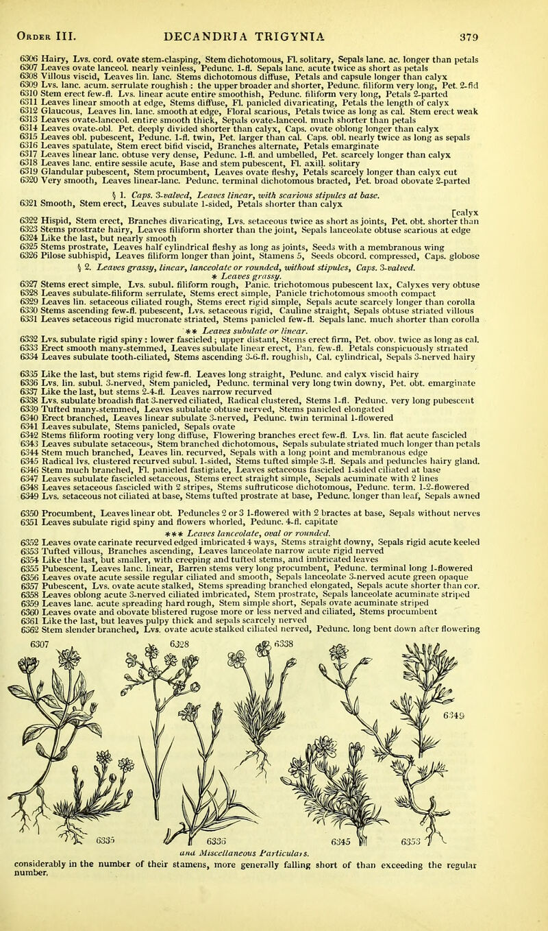 6306 Hairy, Lvs. cord, ovate stem-clasping, Stem dichotomous, Fl. solitary, Sepals lane. ac. longer than petals 6307 Leaves ovate lanceoL nearly veinless, Pedunc. 1-fl. Sepals lane, acute twice as short as petals 6308 Villous viscid, Leaves lin. lane. Stems dichotomous diffuse, Petals and capsule longer than calyx 6309 Lvs. lane. acum. serrulate roughish : the upper broader and shorter, Pedunc. filiform very long, Pet. 2-fid 6310 Stem erect few-fl. Lvs. linear acute entire smoothish, Pedunc. filiform very long, Petals 2-parted 6311 Leaves linear smooth at edge, Stems diffuse, Fl. panicled divaricating, Petals the length of calyx 6312 Glaucous, Leaves lin. lane, smooth at edge, Floral scarious, Petals twice as long as cal. Stem erect weak 6313 Leaves ovate-lanceol. entire smooth thick, Sepals ovate-lanceol. much shorter than petals 6314 Leaves ovate-obl. Pet. deeply divided shorter than calyx, Caps, ovate oblong longer than calyx 6315 Leaves obi. pubescent, Pedunc. 1-fl. twin, Pet. larger than cal. Caps. obi. nearly twice as long as sepals 6316 Leaves spatulate, Stem erect bifid viscid, Branches alternate, Petals emarginate 6317 Leaves linear lane, obtuse very dense, Pedunc. 1-fl. and umbelled, Pet. scarcely longer than calyx 6318 Leaves lane, entire sessile acute, Base and stem pubescent, Fl. axill. solitary 6319 Glandular pubescent, Stem procumbent, Leaves ovate fleshy, Petals scarcely longer than calyx cut 6320 Very smooth, Leaves linear-lanc. Pedunc. terminal dichotomous bracted, Pet. broad obovate 2-parted § 1. Caps. 3-valved, Leaves linear, with scarious stipules at base. 6321 Smooth, Stem erect, Leaves subulate 1-sided, Petals shorter than calyx [calyx 6322 Hispid, Stem erect, Branches divaricating, Lvs. setaceous twice as short as joints, Pet. obt. shorter than 6323 Stems prostrate hairy, Leaves filiform shorter than the joint, Sepals lanceolate obtuse scarious at edge 6324 Like the last, but nearly smooth 6325 Stems prostrate, Leaves half cylindrical fleshy as long as joints, Seeds with a membranous wing 6326 Pilose subhispid, Leaves filiform longer than joint, Stamens 5, Seeds obcord. compressed, Caps, globose $ 2. Leaves grassy, linear, lanceolate or rounded, without stipules, Caps. 3-valved. * Leaves grassy. 6327 Stems erect simple, Lvs. subul. filiform rough, Panic, trichotomous pubescent lax, Calyxes very obtuse 6328 Leaves subulate-filiform serrulate, Stems erect simple, Panicle trichotomous smooth compact 6329 Leaves lin. setaceous ciliated rough, Stems erect rigid simple, Sepals acute scarcely longer than corolla 6330 Stems ascending few-fl. pubescent, Lvs. setaceous rigid, Cauline straight, Sepals obtuse striated villous 6331 Leaves setaceous rigid mucronate striated, Stems panicled few-fl. Sepals lane, much shorter than corolla ** Leaves subulate or linear. 6332 Lvs. subulate rigid spiny: lower fascicled; upper distant, Stems erect firm, Pet. obov. twice as long as cal. 6333 Erect smooth many-stemmed, Leaves subulate linear erect, Pan. few-fl. Petals conspicuously striated 6334 Leaves subulate tooth-ciliated, Stems ascending 3-6-fl. roughish, Cal. cylindrical, Sepals 3-nerved hairy 6335 Like the last, but stems rigid few-fl. Leaves long straight, Pedunc. and calyx viscid hairy 6336 Lvs. lin. subul. 3-nerved, Stem panicled, Pedunc. terminal very long twin downy, Pet. obt. emarginate 6337 Like the last, but stems 2-4-fl. Leaves narrow recurved 6338 Lvs. subulate broadish flat 3-nerved ciliated, Radical clustered, Stems 1-fl. Pedunc. very long pubescent 6339 Tufted many-stemmed, Leaves subulate obtuse nerved, Stems panicled elongated 6340 Erect branched, Leaves linear subulate 3-nerved, Pedunc. twin terminal 1-flowered 6341 Leaves subulate, Stems panicled, Sepals ovate 6342 Stems filiform rooting very long diffuse, Flowering branches erect few-fl. Lvs. lin. flat acute fascicled 6343 Leaves subulate setaceous, Stem branched dichotomous, Sepals subulate striated much longer than petals 6344 Stem much branched, Leaves lin. recurved, Sepals with a long point and membranous edge 6345 Radical lvs. clustered recurved subul. 1-sided, Stems tufted simple 3-fl. Sepals and peduncles hairy gland. 6346 Stem much branched, Fl. panicled fastigiate, Leaves setaceous fascicled 1-sided ciliated at base 6347 Leaves subulate fascicled setaceous, Stems erect straight simple, Sepals acuminate with 2 lines 6348 Leaves setaceous fascicled with 2 stripes, Stems suftruticose dichotomous, Pedunc. term. 1-2-flowered 6349 Lvs. setaceous not ciliated at base, Stems tufted prostrate at base, Pedunc. longer than leaf, Sepals awned 6350 Procumbent, Leaves linear obt. Peduncles 2 or 3 1-flowered with 2 bractes at base, Sepals without nerves 6351 Leaves subulate rigid spiny and flowers whorled, Pedunc. 4-fl. capitate #** Leaves lanceolate, oval or rounded. 6352 Leaves ovate carinate recurved edged imbricated 4 ways, Stems straight downy, Sepals rigid acute keeled 6353 Tufted villous, Branches ascending, Leaves lanceolate narrow acute rigid nerved 6354 Like the last, but smaller, with creeping and tutted stems, and imbricated leaves 6355 Pubescent, Leaves lane, linear, Barren stems very long procumbent, Pedunc. terminal long 1-flowered 6356 Leaves ovate acute sessile regular ciliated and smooth, Sepals lanceolate 3-nerved acute green opaque 6357 Pubescent, Lvs. ovate acute stalked, Stems spreading branched elongated, Sepals acute shorter than cor. 6358 Leaves oblong acute 3-nerved ciliated imbricated, Stem prostrate, Sepals lanceolate acuminate striped 6359 Leaves lane, acute spreading hard rough, Stem simple short, Sepals ovate acuminate striped 6360 Leaves ovate and obovate blistered rugose more or less nerved and ciliated, Stems procumbent 6361 Like the last, but leaves pulpy thick and sepals scarcely nerved 6362 Stem slender branched, Lvs. ovate acute stalked ciliated nerved, Pedunc. long bent down after flowering anu Miscellaneous Particulars. considerably in the number of their stamens, more generally falling short of than exceeding the regular number,