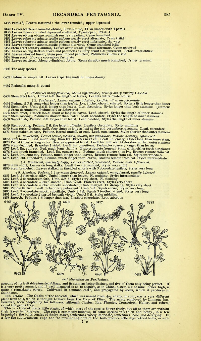 6148 Petals 8, Leaves scattered: the lower rounded; upper depressed 6449 Leaves scattered rounded obtuse, Stem simple, Fl. in umbels with 4 petals 6450 Leaves linear rounded depressed scattered, Cyme open, Petals 4 6451 Leaves oblong obtuse roundish sessile spreading, Cyme branched 6452 Leaves subovate adnate-sessile gibbous nearly erect alternate, Cyme trifid 6453 Leaves subovate adnate-sessile gibbous nearly erect imbricated six ways 6454 Leaves subovate adnate-sessile gibbous alternate, Cyme branched bifid 6455 Stem erect solitary annual, Leaves ovate sessile gibbous alternate, Cyme recurved 6456 Leaves oblong flatfish above and peduncles axillary about 1-fl. pubescent, Petals ovate obtuse 6457 Leaves whorled linear, Stem procumbent panicled, Peduncles villous viscid 6458 Stem erect, Flowers corymbose fastigiate 6459 Leaves scattered oblong-cyiindrical obtuse, Stems shrubby much branched, Cymes terminal 6460 The only species 6461 Peduncles simple 1-fl. Leaves tripartite multifid linear downy 6462 Peduncles many-fl. at end $ 1. Peduncles many-flowered, Stems suffruticose, Cells ofovary usually 1 seeded. 6463 Stem erect leafy, Umbel 4-fl. the length of leaves, Leaflets entire ovate obtuse $ 2. Caulescent, Leaves palmate 3-foliate, Leaflets all sessile, obcordate. 6464 Pedunc. 2-3-fl. somewhat longer than leaf-st. Lvs. 2-lobed obcord. ciliated, Styles a little longer than inner 6465 Stem hairy, Umb. 5-6-fl. longer than leaves, Lvs. obcordate, Styles longer than both stamens [stamens /3 Stem decumbent, Peduncles 2 or 3-flowered 6466 Stem erect, Umbels 2-6-fl. about as long as leaves, Leafl. obcord. Styles the length of inner stamens 6467 Stem rooting, Peduncles shorter than leafst. Leafl. obcordate, Styles the length of inner stamens 6468 Smoothish, Pedunc. 2-fl. longer than leafst. Leafl. 2-lobed, Styles the length of inner stamens 6469 Stem rooting, Pedunc. 2-fl. the length of leafst. Leaflets obcordate, Styles middling 6470 Stem erect, Pedunc. axill. four times as long as leaf at the end corymbose racemose, Leafl. obcordate 6471 Stem naked at base, Pedunc. lateral umbell. at end, Leafl. cun. emarg. Styles shorter than outer stamens % 3. Caulescent, Leaves sessile, 3-leaved, villous, not glandular, Pedunc. axillary, 1-flowered. 6472 Stem branch. Ped. much long, than lvs. Bractes next cal. Leafl. lin. emarg. Styles long, than inner stam. 6473 Ped. 4 times as long as lvs. Bractes appressed to cal. Leafl. lin. cun. obt. Styles shorter than outer stamens 6474 Stem declined, Branches 1-sided, Leafl. lin.-cuneiform, Peduncles scarcely longer than leaves 6475 Leafl. lin. cun. ret. Ped. much long, than lvs. Bractes remote from cal. Stam. with neither teeth nor glands 6476 Stem much branched, Leafl. lin. cuneate obt. Pedunc. much shorter than lvs. Bractes remote from cal. 6477 Leafl. lin. cuneate, Pedunc. much longer than leaves, Bractes remote from cal. Styles intermediate 6478 Leafl. obi. cuneiform, Pedunc. much longer than leaves, Bractes remote from cal. Styles intermediate % 4. Caulescent, sparingly leafy, Leaves stalked, 3-5-leaved, Pedunc. axill. 1-flowered. 6479 Stem short, Leaves on long stalks, Leafl. 3 ovate-rounded, Styles very short 6480 Stem branched, Leaves stalked in fascicled whorls with 3 obcordate leaflets, Styles very long ^ 5. Stemless, Pedunc. 1-2 or many-flowered, Leaves radical, many-leaved, usually 3-leaved. 6481 Leafl. 3 obcordate silky, Umbel longer than leaves, Fl. nodding, Styles intermediate 6482 Leafl. 3 obcordate smooth, Umb. 3-9. fl. Styles very short, Fl. nodding 6483 Leafl. 3 obcordate 2-lobed smooth, Umb. 2-4-fl. Flowers erect, Styles very short 6484 Leafl. 3 obcordate 2-lobed smooth subciliated, Umb. many-fl. Fl. drooping, Styles very short 6485 Petiole flatfish, Leafl. 3 obcordate pubescent, Umb. 2-fl. Sepals entire, Styles very long 6486 Leafl. 3 obcordate smooth subciliate, Umb. 2-5-fl. Sepals 3-toothed at end, Styles very long 6487 Leafl. 3 obcordate 2-parted beneath violet, Umbel 2-fl. Styles middling 6488 Smooth, Pedunc. 1-fl. longer than leaf, Leaflets obcordate, Root tuberous and Miscellaneous Particulars. account of its irritable pinnated foliage, and its stamens being distinct, and five of them only being perfect It is a very pretty annual, and if well managed so as to acquire, as in China, a stem six or nine inches high, is quite a remarkable object. Cultivated in common earth, and propagated by seeds, which it produces in abundance. 1065. Oxalis. The Oxalis of -the ancients, which was named from «|«, sharp, or sour, was a very different plant from this, which is thought to have been the Oxys of Pliny. The name employed by Linnseus has, however, been adopted by his followers, although Clusius, Ray, Plumier, Tournefort, Haller, and others, called the genus Oxys. This is a tribe of pretty little plants, of which most of the species flower freely, but all. of them are without their leaves half the year. The root is commonly bulbous; in some species only thick and fleshy; in a few branched : the bulbs consist of fleshy scales, sometimes closely imbricate, sometimes loose and diverging. In a few the subterraneous stipe and the terminating fibre of the bulb produce little dog-toothed bulbs, in such C c