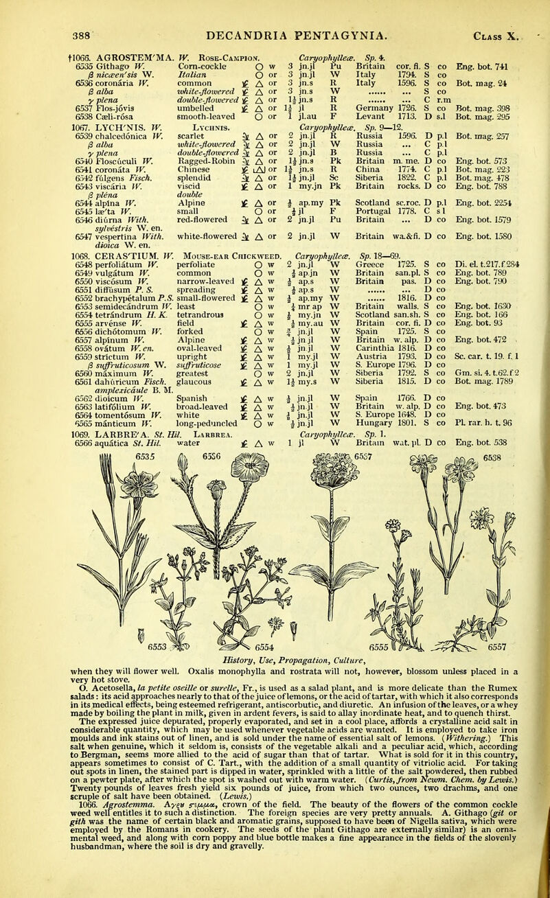 tl066. AGROSTEM'MA. W. Rose-Campion. 6535 6536 (3 y 6537 6538 1067. 6539 0 V 6540 65*1 6542 6543 P 6544 6545 6546 6547 1068. 6548 6549 6550 6551 6552 6553 6554 6555 6556 6557 6558 6559 6560 6561 6562 6563 6564 6565 1069. 6566 Corn-cockle Italian common j£ ■white-flowered £ double-flowered <£ umbelled £ smooth-leaved Lychnis. scarlet 3t white-flowered ^ double-flowered ^ or Ragged-Robin ^ A Chinese splendid viscid double Alpine small red-flowered white-flowered ^ A or Mouse-ear Chickweed. Githago W. nicceen'sis W. coronaria W. alba plena Flos-jovis Cceli-rosa LYCH'NIS. W. chalcedonica W. alba plena Floscuculi W. coronata W. fftlgens Fisch. viscaria IV. plena alplna W. te'ta W. diurna With, sylvestris W. en. vespertina With, dioica W. en. CERAS'TIUM. W. perforatum W. vulgatum W. viscosum W. diffusum P. S. brachypetalum P.S. small-flowered semidecandrum W. least tetrSndrum H. K. tetrandrous arvense W. dichotomum W. alpinum W. ov£tum W. en. strictum W. sitffiruticosum W. maximum W. dahiiricum Fisch. amplexicdule B. M. dioicum W. latifolium W. tomentosum W. manticum W. LARBRE'A. St. Hit. Larbrea. aquStica St. Hil. water j£ 6535 £^ 65S6 O w O or A or A or A or A or O or A A If i Al or 3[ A £ A Caryophylleie. 3 jn.jl Pu 3 jn.jl 3 jn.s 3 jn.s 1| jn.s H jl 1 jl.au Caryophylleie 2 jn.jl R W R W R R F Sp. *. Britain cor. fl. Italy 1794. Italy 1596. A °r O or A or 2 jn.jl YV 2 jn.jl B li jn.s Pk 1| jn.s R H jn.jl Sc 1 my.jn Pk | ap.my Pk i Jl F 2 jn.jl 1'u 2 jn.jl W Germany 1726. Levant 1713. Sp. 9—12. Russia 1596. Russia Russia Britain China Siberia Britain S s s s C s ... D s.l co Eng. bot. 741 co Bot. mag. 24 co CO r.m co Bot. mag. 398 Bot mag. 295 m. me. 1774. 1822. rocks. D p.l C p.l C p.l D co C p.l C p.l D co Bot. mag. 257 Eng. bot. 573 Bot. mag. 223 Bot. mag. 478 Eng. bot. 788 Scotland sc.roc. D p.l Eng. bot. 2254 Portugal 1778. C si Britain ... D co Eng. bot. 1579 Britain wa.&fi. D co Eng. bot. 1580 perfoliate common narrow-leaved spreading field forked Alpine oval-leaved upright sujf'ruticose greatest glaucous Spanish broad-leaved white long-peduncled O w O w A w A w A w O w O w A w O w A w A w A w A w O w A w A w A w A w O w Caryophyllea;. 2 jn.jl W | ap.jn W ^ ap.s W i ap.s W | ap.my W \ mr ap W | my.jn W | my.au W Sp. 18—69. Greece 1725. Britain san.pl. Britain pas. , jn jl i jnjl i jnjl 1 my.jl 1 my.jl 2 jnjl 1| my.s W W w w w w w 1816. Britain walls. Scotland san.sh. Britain cor. fl. Spain 1725. Britain w. alp. Carinthia 1816. Austria 1793. S. Europe 1796. Siberia 1792. Siberia 1815. S co S co D co D co D co S co S co D co S co D co D co D co D co S co D co i jn.jl W Spain 1766. D co J jn.jl W Britain w. alp. D co J jn.jl W S. Europe 1648. D co ^ jn.jl W Hungary 1801. S CO Caryophyllece. Sp. 1. 1 jl W Britain wat. pi. D CO Di. el. t.217.f 284 Eng. bot. 789 Eng. bot. 790 Eng. bot. 1630 Eng. bot. 166 Eng. bot. 93 Eng. bot. 472 Sc. car. 1.19. f. 1 Gm. si. 4.162.f 2 Bot mag. 1789 Eng. bot. 473 PL rar. h. t. 96 History, Use, Propagation, Culture, when they will flower well. Oxalis monophylla and rostrata will not, however, blossom unless placed in a very hot stove. O. Acetosella, la petite oseille or surelle, Fr., is used as a salad plant, and is more delicate than the Rumex salads: its acid approaches nearly to that of the juice of lemons, or the acid of tartar, with which it also corresponds in its medical effects, being esteemed refrigerant, antiscorbutic, and diuretic. An infusion of the leaves, or a whey made by boiling the plant in milk, given in ardent fevers, is said to allay inordinate heat, and to quench thirst. The expressed juice depurated, properly evaporated, and set in a cool place, affords a crystalline acid salt in considerable quantity, which may be used whenever vegetable acids are wanted. It is employed to take iron moulds and ink stains out of linen, and is sold under the name of essential salt of lemons. (Withering.) This salt when genuine, which it seldom is, consists of the vegetable alkali and a peculiar acid, which, according to Bergman, seems more allied to the acid of sugar than that of tartar. What is sold for it in this country, appears sometimes to consist of C. Tart., with the addition of a small quantity of vitriolic acid. For taking out spots in linen, the stained part is dipped in water, sprinkled with a little of the salt powdered, then rubbed on a pewter plate, after which the spot is washed out with warm water. (.Curtis, from Newm. Chem. by Lewis.) Twenty pounds of leaves fresh yield six pounds of juice, from which two ounces, two drachms, and one tcruple of salt have been obtained. (Lewis.) 1066. Agrostemma. Aw» r£Wf«, crown of the field. The beauty of the flowers of the common cockle weed welfentitles it to such a distinction. The foreign species are very pretty annuals. A. Githago (git or gith was the name of certain black and aromatic grains, supposed to have been of Nigella sativa, which were employed by the Romans in cookery. The seeds of the plant Githago are externally similar) is an orna- mental weed, and along with corn poppy and blue bottle makes a fine appearance in the fields of the slovenly husbandman, where the soil is dry and gravelly.