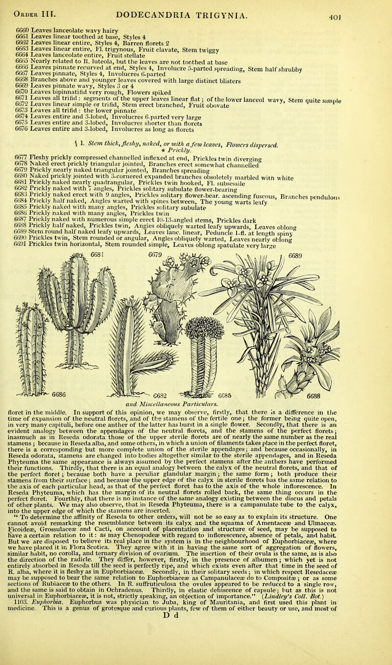 401 6G60 Leaves 6661 Leaves 6662 Leaves 6663 Leaves 6664 Leaves 6665 Nearly 6666 Leaves 6667 Leaves 6668 Branch 6669 Leaves 6670 Leaves 6671 Leaves 6672 Leaves 6673 Leaves 6674 Leaves 6675 Leaves 6676 Leaves lanceolate wavy hairy linear toothed at base, Styles 4 linear entire, Styles 4, Barren florets 2 linear entire, Fl trigynous, Fruit clavate, Stem twiggy lanceolate entire, Fruit stellate related to R. luteola, but the leaves are not toothed at base pinnate recurved at end, Styles 4, Involucre 5-parted spreading, Stem half shrubby pinnate, Styles 4, Involucres 6-parted es above and younger leaves covered with large distinct blisters pinnate wavy, Styles 3 or 4 bipinnatihd very rough, Flowers spiked all trifid: segments of the upper leaves linear flat; of the lower lanceol wavy, Stem quite simple linear simple or trifid, Stem erect branched, Fruit obovate all trifid : the lower pinnate entire and 3-lobed, Involucres 6-parted very large entire and 3-lobed, Involucres shorter than florets entire and 3-lobed, Involucres as long as florets 5 1. Stem thick, fleshy, naked, or with a few leaves, Flowers dispersed * Prickly. 6677 Fleshy prickly compressed channelled inflexed at end, Prickles twin diverging 6678 Naked erect prickly triangular jointed, Branches erect somewhat channelled 6679 Prickly nearly naked triangular jointed, Branches spreading 6680 Naked prickly jointed with 3-cornered expanded branches obsoletely marbled with white 66S1 Prickly naked nearly quadrangular, Prickles twin hooked, Fl. subsessile 6682 Prickly naked with 7 angles, Prickles solitary subulate flower-bearing 6683 Prickly naked erect with 9 angles, Prickles solitary flower-bear, ascending fuscous Branches pendulous 6684 Prickly half naked, Angles warted with spines between, The young warts leafy 6685 Prickly naked with many angles, Prickles solitary subulate CfiSij Prickly naked with many angles, Prickles twin filiN/ Prickly naked with numerous simple erect Ul-13-angled stems, Prickles dark P6S8 Prickly half naked, Prickles twin, Angies obliquely warted leafy upwards, Leaves oblong 6689 Stem round half naked leafy upwards, Leaves lane, linear, Peduncle 1-fl. at length spiny 6691) Prickles twin, Stem rounded or angular, Angles obliquely warted, Leaves nearly oblong 6691 Prickles twin horizontal, Stem rounded simple. Leaves oblong spatulate very large 31 6679 and Miscellaneous Particulars. floret in the middle. In support of this opinion, we may observe, firstly, that there is a difference in the time of expansion of the neutral florets, and of the stamens of the fertile one; the former being quite open, in very many capituli, before one anther of the latter has burst in a single flower. Secondly, that there is an evident analogy between the appendages of the neutral florets, and the stamens of the perfect florets; inasmuch as in Reseda odorata those of the upper sterile florets are of nearly the same number as the real stamens; because in Reseda alba, and some others, in which a union of filaments takes place in the perfect floret, there is a corresponding but more complete union of the sterile appendages; and because occasionally, in Reseda odorata, stamens are changed into bodies altogether similar to the sterile appendages, and in Reseda Phyteuma the same appearance is always assumed by the perfect stamens after the anthers have performed their functions. Thirdly, that there is an equal analogy between the calyx of the neutral florets, and that of the perfect floret; because both have a peculiar glandular margin ; the same form ; both produce their stamens from their surface; and because the upper edge of the calyx in sterile florets has the same relation to the axis of each particular head, as that of the perfect floret has to the axis of the whole inflorescence. In Reseda Phyteuma, which has the margin of its neutral florets rolled back, the same thing occurs in the perfect floret. Fourthly, that there is no instance of the same analogy existing between the discus and petals of other plants. We may also observe, that in Reseda Phyteuma, there is a campanulate tube to the calyx, into the upper edge of which the stamens are inserted.  To determine the affinity of Reseda to other orders, will not be so easy as to explain its structure. One cannot avoid remarking the resemblance between its calyx and the squama of Amentaceae and Ulmaceae. Ficoidea;, Grossulacese and Cacti, on account of placentation and structure of seed, may be supposed to have a certain relation to it: as may Chenopodeae with regard to inflorescence, absence of petals, and habit But we are disposed to believe its real place in the system is in the neighbourhood of Euphorbiaceae, where we have placed it in Flora Scotica. They agree with it in having the same sort of aggregation of flowers, similar habit, no corolla, and ternary division of ovarium. The insertion of their ovula is the same, as is also the direction of the radicle. They differ, however, firstly, in the presence of albumen ; which yet is not entirely absorbed in Reseda till the seed is perfectly ripe, and which exists even after that time in the seed of R. alba, where it is fleshy as in Euphorbiaceae. Secondly, in their solitary seeds; in which respect Resedaceae may be supposed to bear the same relation to Euphorbiaceae as Campanulaceae do to Compositae; or as some sections of Rubiaceae to the others. In R. suffruticulosa the ovules appeared to be reduced to a single row, and the same is said to obtain in Ochradenus. Thirdly, in elastic dehiscence of capsule; but as this is not universal in Euphorbiaceae, it is not, strictly speaking, an objection of importance/' (Lindley's Coll. Sot.) 1103. Euphorbia. Euphorbus was physician to Juba, king of Mauritania, and first used this plant in medicine. This is a genus of grotesque and curious plants, few of them of either beauty or use, and most of D d