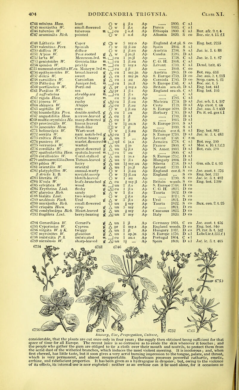 6744 minima Haw. 6745 micrantha IV. 6746 tuberosa W. 6747 acuminata Bieb. 6748 Lathyris IV. 6749 valentina Pers. 6750 diffusa W. 6751 A'pios IV. 67521a?'ta )f. 6753 genistoldes H'. 6754 spinosa IT. least O w small-flowered O w tuberous tt. i | cu pointed O w Caper )£ Spanish diffuse Pear-rooted j£ Mezereon-lvd. a. Genista-like tt_ prickly a. 6755 nummularisefolia IKck. Moncyw. lvd «.. 6756 epithymoides IV. broad-leaved j£ 6757 dulcis IV. 0> w O w O w A w i I cu I I cu 6758 carniolica 6759 Pithyusa W. 6760 portlandica IC 6761 Paralias W. /S suffruticbsa 676.' rigida //oui. 6763juncea JF. 6764 aleppica TV. 6765 segetalis W. 6766 biumbellata Pfii. 6767 angustifolia Haw. sweet Carniolian Junipcr-lvd. Portland sea shrubby-sea rigid rushy Aleppo corn double-umbel!, narrow-leaved A cu H A cu if A cu «. | cu j£ A I'r H -AJpr e- I cu 6768 multicorymbosa inany-flowcred £ 6769 provincialis IT. 6770 juncoides Haw. 6771 helioscopia IV. 6772 serrata II'. 6773 cretica Haw. 6774 punicea W. 6775 verrucosa IV. 6776 corollata IV. (\in spathuhetolia Haw. 6778 corallioides IV. linear-leaved Hush-like Wart-wort narr. notch-lvd.jg Cretan hoary )£ scarlet-flowered** waited j£ great-flowered )£ ;patula-leaved tt. Coral-stalked 6779 androsa>milolia/Jo/m Tutsan-leaved 6780 pil6sa IV. 6781 orientalis W. 6782 platyphyllos ff. /3 stricta E. B. 67831iterata 6784 E'sula IV. 6785 svlvatica IV. 6786 Erythrina L«i£. 6787 glareosa Bleb. 6788 bialata 6789 uralensis Finch. 6790 micrantha Bu b. 6791 crispata Horn. 6792 condylocarpa 6793 fragifera Lirai, hairy oriental y£ annual-warty upright-warty blotch-leaved leafy-branched £ wood tt. fleshy )£ sandy £ two-winged Ural £ small-flowered crisp Heart-leaved berry-bearing i Al cu _AJ cu O w A cu A cu A cu O w im w O w iAI cu A nn I I spl A un A mi 1 I cu A un A un A mi A un O w O w O w A cu I un iAI cu A w O w A w O un A n A un Al un i jl.s Ap  jl.s Ap o.d Ap o.d Ap my.o i jl.au jl.au I jn.jl jn.jl jl.au my.s jl Ap Ap Ap Ap Ap Ap Ap Ap my.jn Ap myjn Ap Ap jn.jl ^ my.s jl-s jl.s jl.au jl.au jl.au 4 jl.au ' au jl jl 4 au.n jl | jl.au jl ja.s f jn ^ jl-s Ap Ap Ap Ap Ap Ap Ap Ap Ap Ap Ap Ap Ap Ap Ap Ap Ap Ap Ap Ap jn.s Ap jl.s Ap | my.au Ap jn.jl Ap jl.au Ap J jl.au Ap au Ap ^ my.jl Ap jl.s Ap jl.s jl.s J jl.s 3 jl.s i my 3 my 4 my 2 my Ap Ap Ap Ap Ap Ap Ap Ap 1800. C s 1 Persia 1803. c s 1 Ethiopia 1800. c s. 1 Bur. atr. 9. t. 4 Albania 1820. s CO JJOC. SIC. t. lu>. I. I England d.st.pl. S CO Eng. bot. 2255 Spain 1804. s s.l Austria 1798. s s.l Jac. ic. I. t. 88 Candia 1596. I) s.l 1758 c S.1 Jac. ic. I. t. 87 C. G. H. 1808. c s.l Levant 1710. C s.l Dend. brit. 45 1800. c CO Austria 1805. D CO Bot. rep. 616 S. Europe 1759. 1) CO Jac. aus. 3. t. 213 Carnlola 1795. D CO Scop. cam. t. 21 S. Europe 1741. c s.l Boc. sic. t. 5 Britain sea.sh. D s.l Eng. bot. 441 England sea sh. C s.l Eng. bot. 195 c s.l 1795 c s.l Madeira 1779. D s.l Jac. sch. 1.1.107 Crete 1739. D s.l Alp. exot. t. 64 S. Europe 1699. D s.l Jac. aus. 5. t.450 Barbary 1780. 1> s.l Po. it. ed. ger.t.l 1780 1) s.l 1805 ]) s.l S. Europe 1800. s s.l 1800 s s.l Britain cor.fi. s s.l Eng. bot. 883 S Europe 1710. ]) s.l Jac. ic. 3. t. 483 Levant 1768. c r.m Jamaica 1778. c s.l Bot. reg. 190 Fraive 1800. c s.l Mor. s. 10.t.S.f.3 N. Amer. 1803. S.I Bot. cab. SS'O 1800 Q s.l S Europe 1752 ]) s.l Hungary 1804. ]) S.I Siberia 1758. ] > S.1 Gm. sib. 2. t. 93 Levant 1739. D s.l England cor.fi. S CO Jac. aust. t. 376 England s CO Eng. bot. 333 1790. s CO Jac. ic. 3. t. 482 Britain woods. s CO Eng. bot. 1399 S. Europe 1768. D CO C. G. H. 1823. I) CO Tauria 1822. I) CO 182 i. s Ural 1821. D CO Tauria 1S22. S CO Bux. ccn. 2. t. 25 , 1821. D CO Caucasus 1823. D CO Italy 1820. D CO 6794 Gerardiana W. 6795 Cyparissias IV. 6796 virgata IV. Sf K. 5797 myrsinltes IV. 6798 imbricata P. S. 6799 nicrcensis IV. Gerard's Cypress twiggy glaucous imbricated sharp-leaved )£ A un £ A pr H A un £ A 1 jl 2 my.s 1 jl 1 ap.jn 1 au.s 14 ... Ap Ap Ap Ap Ap Ap Germany 1801. C co England woods. D co Hungary 1J-07. D co S. Europe 1570. D s.l Portugal 1804. C e 1 Spain 1809. D s.l Jac. aust. t. 436 Eng. bot. 840 PI. rar. h. t. 162 Lobcl.ic.t.355.f.l Jac. ic. 3. t. 485 675J 6756isassae^ JW 6774 ^ W R C752 67C5 , History, Use, Propagation, Culture, considerable, that the plants are cut once only in four years ; the supply then obtained being sufficient for that space of time for all Europe. The recent iuice is so corrosive as to erode the skin wherever it touches; and the people who gather the gum are obliged to tie a cloth over their mouth and nostrils, to protect them from the acrid dust of the withered branches, which induces the most violent sneezing. It is inodorous; and, when first chewed, has little taste, but it soon gives a very acrid burning impression to the tongue, palate, and throat, which is very permanent, and almost insupportable. Euphorbium possesses powerful cathartic, emetic, errhine, and rabefacient properties. It has been given as a hydragogue in dropsies; but, owing to the violence of its effects, its internal use is now exploded : neither as an errhine can it be used alone, for it occasions so