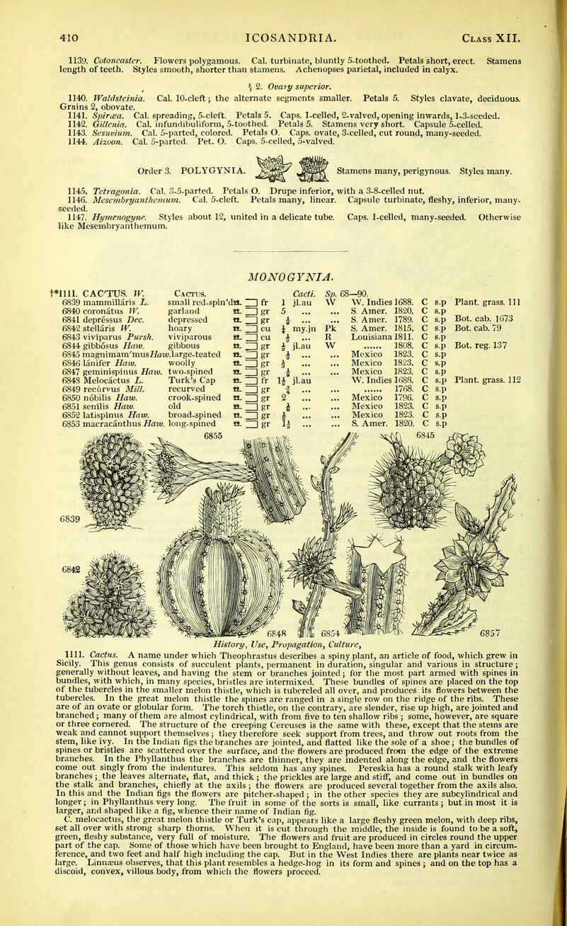 1139. Cotoneastcr. Flowers polygamous. Cal. turbinate, bluntly 5-toothed. Petals short, erect. Stamens length of teeth. Styles smooth, shorter than stamens. Achenopses parietal, included in calyx. \ 2. Ovary superior. 1140. Waldsteinia. Cal. 10-cleft; the alternate segments smaller. Petals 5. Styles clavate, deciduous. Grains 2, obovate. 1141. Spirtea. Cal. spreading, 5-cleft. Petals 5. Caps. 1-celled, 2-valved, opening inwards, 1-3-seeded. 1142. Giltenia. Cal. infundibuliform, 5-toothed. Petals 5. Stamens very short. Capsule 5-celled. 1143. Sesuvium. Cal. 5-parted, colored. Petals O. Caps, ovate, 3-celled, cut round, many-seeded. 1144. Aizoon. Cal. 5-parted. Pet. O. Caps. 5-celled, 5-valved. Order 3. POLYGYNIA. Stamens many, perigynous. Styles many. 1145. Tetragonia. Cal. 3-5-parted. Petals O. Drupe inferior, with a 3-8-celled nut. 1146. Mcsembryanthemum. Cal. 5-cleft. Petals many, linear. Capsule turbinate, fleshy, inferior, many- seeded. 1147. Hymenogyne. Styles about 12, united in a delicate tube. Caps. 1-celled, many-seeded. Otherwise like Mesembryanthemum. MONO G YNIA. f*mi. 6839 6840 6841 6842 6843 6844 6845 6846 6847 6848 6849 6850 6851 6852 6853 CACTUS. IV. Cactus. mammillaris L. small red-spin coronattis W. garland depressus Dec. depressed stellaris W. hoary viviparus Pursh. viviparous gibbosus Haw. gibbous magnimam'musHaiv.large-teated lanifer Haw. woolly geminispinus Haw. two-spined Melocactus L. rectirvus Mill. nobilis Haw. senilis Haw. latispinus Haw. Turk's Cap recurved crook-spined old broad-spined macracanthus Haw. long-spined 6855 da. ZD fr a- ZDgt tL I CU h- ZD eu •o-ZDgr n.ZDgr O-IZlgr «-ZDgr c ZD fr tt-ZDgr «-ZDgr «- ZD gr n-ZDgr «- ^1 gr Cacti. jl.au my.pl . jl.au t jl.au 68—90. W. Indiesl688. C s.p Plant, grass. Ill S. Amer. 1820. C s.p S. Amer. 1789. C s.p Bot. cab. 1(173 S. Amer. 1815. C s.p Bot. cab. 79 Louisiana 1811. C s.p 1808. C s.p Bot. reg. 137 Mexico 1823. C s.p Mexico 1823. C s.p Mexico 1823. C s.p W. Indies 1688. C s.p Plant, grass. 112 1768. C s.p Mexico 1796. C s.p Mexico 1823. C s.p Mexico 1823. C s.p S. Amer. 1820. C s.p C845 6839 C842 History, Use, Propagation, Culture, 1111. Cactus. A name under which Theophrastus describes a spiny plant, an article of food, which grew in Sicily. This genus consists of succulent plants, permanent in duration, singular and various in structure; generally without leaves, and having the stem or branches jointed; for the most part armed with spines in bundles, with which, in many species, bristles are intermixed. These bundles of spines are placed on the top of the tubercles in the smaller melon thistle, which is tubercled all over, and produces its flowers between the tubercles. In the great melon thistle the spines are ranged in a single row on the ridge of the ribs. These are of an ovate or globular form. The torch thistle, on the contrary, are slender, rise up high, are jointed and branched; many of them are almost cylindrical, with from five to ten shallow ribs ; some, however, are square or three cornered. The structure of the creeping Cereuses is the same with these, except that the steins are weak and cannot support themselves ; they therefore seek support from trees, and throw out roots from the stem, like ivy. In the Indian figs the branches are jointed, and flatted like the sole of a shoe; the bundles of spines or bristles are scattered over the surface, and the flowers are produced from the edge of the extreme branches. In the Phyllanthus the branches are thinner, they are indented along the edge, and the flowers come out singly from the indentures. This seldom has any spines. Pereskia has a round stalk with leafy branches ;.the leaves alternate, flat, and thick ; the prickles are large and stiff, and come out in bundles on the stalk and branches, chiefly at the axils; the flowers are produced several together from the axils also. In this and the Indian figs the flowers are pitcher-shaped ; in the other species they are subcylindrical and longer; in Phyllanthus very long. The fruit in some of the sorts is small, like currants; but in most it is larger, and shaped like a fig, whence their name of Indian fig. C. melocactus, the great melon thistle or Turk's cap, appears like a large fleshy green melon, with deep ribs, set all over with strong sharp thorns. When it is cut through the middle, the inside is found to be a soft, green, fleshy substance, very full of moisture. The flowers and fruit are produced in circles round the upper part of the cap. Some of those which have been brought to England, have been more than a yard in circum- ference, and two feet and half high including the cap. But in the West Indies there are plants near twice as large. Linna;us observes, that this plant resembles a hedge-hog in its form and spines; and on the top has a discoid, convex, villous body, from which the flowers proceed.