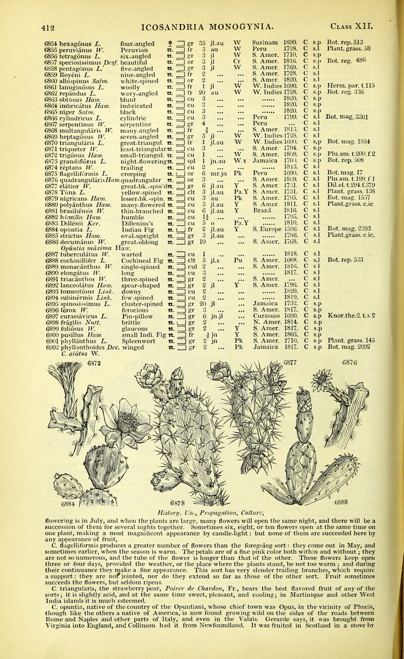6854 hexagonus L. four-angled £ ZD gr 6855 peruvianus TV. Peruvian tt- ZD Fr 6856 tetragonus L. six-angled «- ZD gr 6857 speciosissimus Dcsf. beautiful tt- ZD or 6858 pentagonus L.' five-angled tt_ ZD gr 6859 Royeni L. nine-angled tt. ZD fr 6860 albispinus Salm. white-spined O- ZD or 6861 lanuginosus L. woolly tt. ZD fr 6862 repandus L. wavy-angled tt. ZD ft 6863 obtusus Haw. blunt tt. ID cu 6864 imbricatus Haw. imbricated tt- ZD cu 68R5 niger Salm. black a. ZD cu 6866 cylindricus L. cylindric tt- ZD cu 68177 serpentinus W. serpentine «- ZD gr 6868 multangularis W. many-angled it- ZD fr 6869 heptagonus IV. seven-angled tt. ZD gr 6870 triangularis L. great-triangul. «. ZD fr 6871 triqueter IV. least-triangulartt. ZD cu 6872 trigonus Haw. small-triangul. tt ZD cu 6873 grandiflorus L. night-floweringtt. ZD sol 6874 reptans W. trailing tt- ZD cu 6875 flagellifurmis L. creeping tt-1 I or 6876 quadrangularis.r7rmi.quadrangular tt. ZD or 35 jl.au au 6877 elatior IV. 6878 Tuna L. 6879 nigricans Haw. 6880 polyanthus Haw. 6881 brasiliensis IV. 6882 hdmilis Haw. 6883 Dillenii Ker. 6884 opuntia 6885 strictus Haw. 6886 decumanus^ W. Opdntia maxima Haw, 6887 tuberculatus W. warted 6888 cocliinillifer L. 6889 monacanthus W. 6890 elongatus IV. 6891 triacanthos IV. 6892 lanceolatus Haw. 6893 tomentosus Link. 6894 subinermis Link. 6895 spinosissimus L. 6896ferox IV. 6897 curassavicus L. 6898 fragilis Nutt. 6899 foliosus IV. 6900 pusillus Haw. 6901 phyllanthus L. 6902 phyllantholdes Dec. winged C. alatus W. great-bk.-spin'dtt. . yellow-spined tt. ! iesser-bk.-spin. tt. \ many-flowered tt. j thin-branched tt. ! humble tt-'. Dillenius's tt. Indian Fig tt. t oval-upright tt. '. great-oblong tt. ! 3 3 3 2 2 1 jl 20 au 3 3 3 4 3* jl * 1 jl.au 3 1 1 2 6 mr.jn 3 6 jl.au 3 jl.au jn.au jl.au jl.au Cochineal Fig tt. single-spined tt. long tt. three-spined tt_ spear-shaped tt. downy tt_ few-spined tt. cluster-spined tt. ferocious tt. Pin-pillow tt. brittle n. glaucous «l small Indi. Fig tt. Spleenwort l_J fr ZD gr DDgr ZD cu ZD clt ZD cul Igr a-ZD; 2 jl.au 3 jl.au 10 ... 1 5 jLs 2 2 !!! 2 jl 2 2 20 jl 3 6 jn.jl 2 2 i jn 2 jn 2 W Surinam 1690. W Peru 1728. W S. Amer. 1710. Cr S. Amer. 1816. W S. Amer. 1769. ... S. Amer. 1728. ... S. Amer. 1820. W \V. Indies 1690. VV W. Indies 1728. 1820. 1820. 1820. ... Peru 1799. Peru ... S. Amer. 1815. W W. Indies 1728. W W. Indies 1690. ... S. Amer. 1794. W S. Amer. 1809. W.Y Jamaica 1700, 1813. Pk Peru 1690. ... S. Amer. 1809. Y S. Amer. 1731. Pa.Y S. Amer. 1731. Pk S. Ainer. 1795. Y S. Amer. 1811. Y Brazil 1816. 1795. Pa.Y 1810. Y S. Europe 1596 1796. ... S. Amer. 1768. 1818. Pu S. Amer. 1688. S. Amer. 1816. 1817. S. Amer. Y S. Amer. 1796. 1820. 1819. Jamaica 1732. ... S. Amer. 1817. ... Curassao 1690. ... N. Amer. 1814. Y S. Amer. 1817. Y S. Amer. 1805. Pk S. Amer. 1710. Pk Jamaica 1817. C s.l C s.l Bot. rep. 513 Plant, grass. 58 Bot. reg. 486 C s.p C s.p Herm. par. 1.115 Bot. reg. 336 Bot. mag. 3301 Bot. mag. 1SS4 Plu.am. t.200. f.2 Bot. rep. 508 Bot. mag. 17 Plu.am. t.199. f 1 DiLeL t.294.f.379 Plant, grass. 138 Bot. mag. 1557 Plant.grass, c.ic Bot. mag. 2393 Plant.grass. c.ic. Bot. rep. 533 Knor.the.2. t.s.2 Plant, grass. 145 Bot. mag. 2092 History, Use, Propagation, Culture, flowering is in July, and when the plants are large, many flowers will open the same night, and there will be a succession of them for several nights together. Sometimes six, eight, or ten flowers open at the same time on one plant, making a most magnificent appearance by candle-light: but none of them are succeeded here by any appearance of fruit, C. flagelliformis produces a greater number of flowers than the foregoing sort: they come out in May, and sometimes earlier, when the season is warm. The petals are of a fine pink color both within and without; they are not so numerous, and the tube of the flower is longer than that of the other. These flowers keep open three or four days, provided the weather, or the place where the plants stand, be not too warm ; and during their continuance they make a fine appearance. This sort has very slender trailing branches, which require a support: they are nor*jointed, nor do they extend so far as those of the other sort. Fruit sometimes succeeds the flowers, but seldom ripens. C. triangularis, the strawberry pear, Poirer de Chardon, Fr., bears the best flavored fruit of any of the sorts; it is slightly acid, and at the same time sweet, pleasant, and cooling; in Martinique and other West India islands it is much esteemed. C. opuntia, native of the country of the Opuntiani, whose chief town was Opus, in the vicinity of Phocis, though like the others a native of America, is now found growing wild on the sides of the roads between Rome and Naples and other parts of Italy, and even in the Valais. Gerarde says, it was brought from Virginia into England, and Collinson had it from Newfoundland. It was fruited in Scotland in a stove by