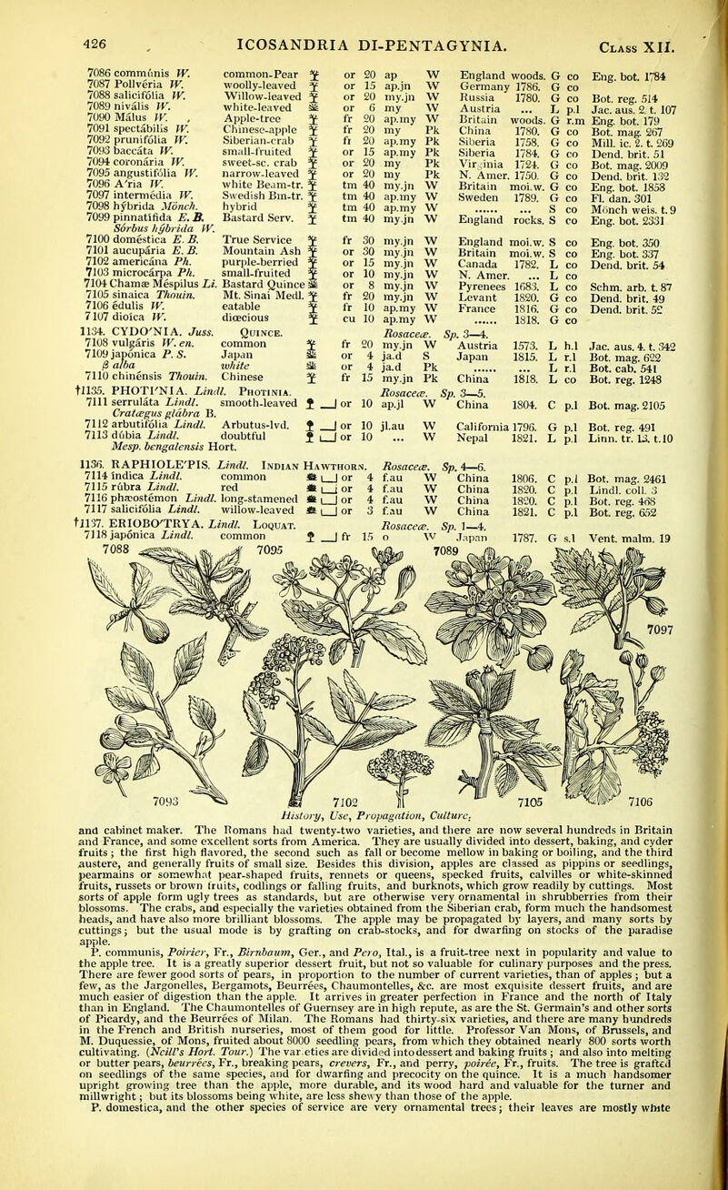 7086 communis W. common-Pear 1 7087 Pollveria W. woolly-leaved ; 7088 salicifolia IV. Willow-leaved : 7089 nivalis W. white-leaved ; 7090 Malus W. . Apple-tree 7091 spectabilis W. Chinese-apple : 7092 prunifolia W. Siberian-crab ; 70H3baccata W. small-fruited ■ 7094 coronaria W. sweet-sc. crab 3 7095 angustifulia W. narrow-leaved 3 7096 A'ria W. white Beam-tr. 3 7097 intermedia W. Swedish Bm-tr. 3 7098hybrida Monch. hybrid 3 7099 pinnatlfida E. B. Bastard Serv. 3 Sorbus hybrida W. 7100 domestica E. B. True Service 3 7101 aucupSria E. B. Mountain Ash 3 7102 americana Ph. purple-berried 3 7103 microcarpa Ph. small-fruited 3 710-1 Chama? Mespilus Li. Bastard Quince S 7105 sinaica Thouin. Mt. Sinai Meal. '■ 7106edulis W. 7107 dioica W. 1134. CYDO'NIA. Juss. 7108 vulgaris W. en. or 15 or 20 or 6 fr 20 fr 20 fr 20 or 15 or 20 or 20 tm 40 tm 40 tm 40 tm 40 fr 30 or 30 or 15 or 10 7109jap6nica P. S. 13 alba eatable dioecious Quince. common Japan white Chinese cu 10 lor 10 7110 chinensis Thouin. tll35. PHOTl'NIA. Limit. Photinia. 7111 serrulata Lindl. smooth-leaved Crattegus glabra B. 7112 arbutifolia Lindl. Arbutus-lvd. 7113 dfibia Lindl. doubtful Mesp. bengalensis Hort. 1136. RAPHIOLE'PIS. Lindl. Indian Hawthorn. 7114 indica Lindl. common at i I or 7115 rubra Lindl. red *i j or 7116 pha?ostemon Lindl. long-stamened IE i | or • 7117 salicifolia Lindl. willow-leaved tt i | or f 1137. ERIOBOTRYA. Lindl. Loquat. ap W ap.jn W my.jn W my W ap.my W my Pk ap.my Pk ap.my Pk my Pk my Pk my.jn W ap.my W ap.my W my.jn \V my.jn W my.jn W my.jn W my.jn W my.jn W my.jn W ap.my W ap.my W Rosacea. my.jn W ja.d S ja.d Pk my.jn Pk Rosacea. ap.jl W England woods. Germany 1786. Russia 1780. Austria Britain China Siberia Siberia Virginia N. Amer. 1750. Britain moi.w Sweden 1789. woods. 1780. 1758. 1784. 1724. G co G co G co L p.l G r.m G co G co G co G co G G co G co S co England rocks. S co England moi.w. Britain moi.w. Canada 1782. N. Amer. Pyrenees 1683. Levant 1820. France Sp. 3—4. Austria Japan 1816. 1818. 1573. 1815. China 1818. Sp. 3—5. China 1804. S co S co L co L co L co G co G co G co L h.l L r.l L r.l L co Eng. bot. 1784 Bot. reg. 514 Jac. aus. 2. t. 107 Eng. bot. 179 Bot. mag. 267 Mill. ic. 2. t. 269 Dend. brit. 51 Bot. mag. 2009 Dend. brit. 132 Eng. bot. 1858 Fl. dan. 301 Monch weis. t. 9 Eng. bot. 2331 Eng. bot. 350 Eng. bot. 337 Dend. brit. 54 Schm. arb. t. 87 Dend. brit. 49 Dend. brit. 52 Jac. aus. 4. t. 342 Bot. mag. 622 Bot. cab. 541 Bot. reg. 1248 J or 10 jl.au J or 10 C p.l Bot. mag. 2105 W California 1796. G p.l Bot. reg. 491 W Nepal 1821. L p.l Linn. tr. U. t.10 7118japonica Lindl. 7088 common Rosacea. Sp. 4—6. f.au W China W w w Rosacea. Sp. 1—4. o \v Japan 7089 f.au f.au f.au China China China 1806. 1820. 1820. 1821. 1787. Bot. mag. 2461 Lindl. coll. 3 Bot. reg. 46S Bot. reg. 652 Vent. malm. 19 7097 7105 ~ 18SW»r 7106 History, Use, Propagation, Culture. and cabinet maker. The liomans had twenty-two varieties, and there are now several hundreds in Britain and France, and some excellent sorts from America. They are usually divided into dessert, baking, and cyder fruits; the first high flavored, the second such as fall or become mellow in baking or boiling, and the third austere, and generally fruits of small size. Besides this division, apples are classed as pippins or seedlings, pearmains or somewhat pear-shaped fruits, rennets or queens, specked fruits, calvilles or white-skinned fruits, russets or brown fruits, codlings or falling fruits, and burknots, which grow readily by cuttings. Most sorts of apple form ugly trees as standards, but are otherwise very ornamental in shrubberries from their blossoms. The crabs, and especially the varieties obtained from the Siberian crab, form much the handsomest heads, and have also more brilliant blossoms. The apple may be propagated by layers, and many sorts by cuttings; but the usual mode is by grafting on crab-stocks, and for dwarfing on stocks of the paradise apple. P. communis, Poiricr, Fr., Birnbaum, Ger., and Pero, Ital., is a fruit-tree next in popularity and value to the apple tree. It is a greatly superior dessert fruit, but not so valuable for culinary purposes and the press. There are fewer good sorts of pears, in proportion to the number of current varieties, than of apples ; but a few, as the Jargonelles, Bergamots, Beurrees, Chaumontelles, &c are most exquisite dessert fruits, and are much easier of digestion than the apple. It arrives in greater perfection in France and the north of Italy than in England. The Chaumontelles of Guernsey are in high repute, as are the St. Germain's and other sorts of Picardy, and the Beurrees of Milan. The Romans had thirty-six varieties, and there are many hundreds in the French and British nurseries, most of them good for little. Professor Van Mons, of Brussels, and M. Duquessie, of Mons, fruited about 8000 seedling pears, from which they obtained nearly 800 sorts worth cultivating. (Ncill's Hort. Tour.) The varieties are divided intodessert and baking fruits ; and also into melting or butter pears, beurrees, Fr., breaking pears, crevers, Fr., and perry, poiree, Fr., fruits. The tree is grafted on seedlings of the same species, and for dwarfing and precocity on the quince. It is a much handsomer upright growing tree than the apple, more durable, and its wood hard and valuable for the turner and millwright; but its blossoms being white, are less shewy than those of the apple. P. domestica, and the other species of service are very ornamental trees; their leaves are mostly white