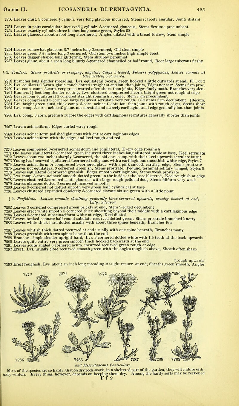 7250 Leaves clust. 3-cornered J cylindr. very long glaucous incurved, Stems scarcely angular, Joints distant 7251 Leaves in pairs comiculate incurved | cylindr. 3-cornered glaucous, Stems flexuose procumbent 7252 Leaves exactly cylindr. three inches long acute green, Styles 20 7253 Leaves glaucous about a foot long 3-cornered, Angles dilated with a broad furrow, Stem simple 7254 Leaves somewhat glaucous 6-7 inches long 3-cornered, Old stem simple 7255 Leaves green 3-4 inches long 3-cornered, Old stem two inches high simple erect 7256 Leaves dagger-shaped long glittering, Stem shrubby perennial 7257 Leaves glauc. about a span long bluntly 3-cornered channelled or half round, Root large tuberous fleshy $ 3. Trailers. Stems prostrate or creeping, angular, Calyx 5-leaved, Flowers polygynous, Leaves connate at base acutely 3-cornered. 7258 Branches long slender spreading, Lvs. equilateral 3-corn. green hooked a little outwards at end, Fl. 3 or 2 7259 Lvs. equilateral 3-corn. glauc. much dotted straight at end Ion. than joints, Edges not serr. Stems firm proc. 7260 Lvs. conn. comp. 3-corn. very green warted often short, than joints, Edges finely tooth. Branches very slen. 7261 Runners 1| foot long slender rooting, Lvs. clustered compressed 3i-corn. bright green not rough at edge 7262 Leaves long equilateral 3-cornered straight roughish at edge, Stem firm procumbent 7263 Leaves compressed 3-cornered large recurved serrulate very rough, Old stems firm decumbent [decum. 7264 Lvs. bright green clust. thick comp. 3-corn. acinacif. dott. Ion. than joints with rough edges, Stems short 7265 Lvs. comp. 3-corn. acinacif. glauc. not serrated and scarcely cartilaginous at edge generally Ion. than joints 7266 Lvs. comp. 3-corn. greenish rugose the edges with cartilaginous serratures generally shorter than joints 7267 Leaves acinaciform, Edges curled wavy rough 7268 Leaves acinaciform polished glaucous with entire cartilaginous edges 7269 Leaves acinaciform with the edges and keel rough and red 7270 Leaves compressed 3-cornered acinaciform and equilateral, Every edge roughish 7271 Old leaves equilateral 3-cornered green incurved three inches long blistered inside at base, Keel serrulate 7272 Leaves about two inches sharply 3-cornered, the old ones comp. with their keel upwards serrulate burnt 7273 Young lvs. incurved equilateral 3-cornered soft glauc. with a cartilaginous smoothish white edge, Styles 7 7274 Leaves acinaciform or compressed 3-cornered glauc. with a pink smooth cartilag. edge, Stems prostrate 7275 Leaves not equilateral 3-cornered greenish, Stems prostrate, Pedunc. terminal solitary winged, Styles 8 7276 Leaves equilateral 3-cornered greenish, Edges smooth cartilaginous, Stems weak prostrate 7277 Lvs. comp. 3-corn. acinacif. smooth dotted green, in the inside at the base blistered, Keel roughish at edge 7278 Leaves clustered 3-cornered acute glaucous with large rough pellucid dots, Stems filiform very weak 7279 Leaves glaucous dotted 3-cornered incurved smooth 7280 Leaves 3-cornered not dotted smooth very green half cylindrical at base 7281 Leaves clustered expanded obsoletely 3-cornered clavate obtuse green with a little point $ 4. Perfoliate. Leaves connate sheathing generally three-cornered upwards, usually hooked at end, Calyx 5-leaved. 7282 Leaves 3-cornered compressed green prickly at end, Stem 2-edged decumbent 7283 Leaves erect white smooth 3-cornered thick sheathing beyond their middle with a cartilaginous edge 7284 Leaves 3-cornered subacinaciform white at edge, Keel dilated 7285 Leaves beaked connate half round imbulate recurved dotted green, Stems prostrate branched knotty 7286 Leaves white thick hard dotted usually with about three spines beneath, Branches few 7287 Leaves whitish thick dotted recurved at end usually with one spine beneath, Branches many 7288 Leaves greenish with two spines beneath at the end 7289 Branches simple slender upright hard, Lvs. 3-cornered dotted white with 1-4 teeth at the back upwards 7290 Leaves quite entire very green smooth thick hooked backwards at the end 7291 Leaves acute-angled 3-cornered acum. incurved recurved green rough at edge 7292 Erect, Lvs. usually close recurved smooth green with the angles roughish above, Sheath often sharp [rough upwards 7293 Erect roughish, Lvs. about an inch long spreading straight recurv. at end, Sheaths green smooth, Angles and Miscellaneous Particulars. Most of the species are so hardy, that on dry rock-work, in a sheltered part of the garden, they will endure ordi- nary winters. Every thing, however, depends on keeping them dry. Among the hardy sorts may be reckoned