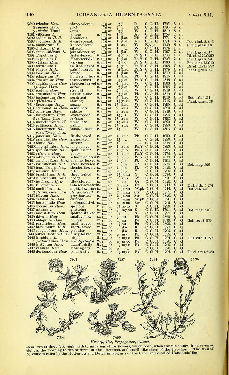 7390 tricolor Haw. riseum Haw. y lineare Thunb. 7391 villosum L. 7392 cadftcum H. K. 7393 apetalum H. K. 7394 nodiflorum L. 7395 ciliatum H. K. 7396 gcniculiflorum L. 7397 Tripolium L. 7398 expansum L. 7399 varians Haw. 7400 tortuosum L. 7401 pallens H. K. 7402 loratum Haw. 7403 relaxatum W. 7404 crassicafde Haw. 7405 anatomicum Haw. ^fragile Haw. 7406 rectum Haw. 7407 crassuloides Haw. 7408 incomptum Hum. 7409 splendens L. 7410 flexuosum /f«u>. 7411 acuminatum Haw. 7412 sulcatum Haw. 7413 fastigiatum Tfaw. /3 reflexum Haw. 7414 umbelliflorum IK 7415 pallescens Haw. 7416 micranthon Haw. parvijiorum Jacq. 7417j6nceum Haw. 7418 granulicaule Haw. 7419 tenue Haw. 74201ongispmulum Haw. 7421 spinuhferum Haw. 7422 grossum Haw. 7423 salmoneum i/aiu. 7424 canaliculatum Wntu. 7425 viridiflorum H. K. 7426 tenuiflorum Jacq. 7427 nitidum i/aui. 7428 brachiatum //. A'. 7429 subincanum Haw. 7430 testaceum Haw. 7431 tuberosum L. 7432 noctiflorum L. IB stramineum Haw. 7433 fulvum Haw. 7434 defoliatum Haw. 7435 horizontale J/au». 7436 speciosum Haw. 7437 micans L. 7438 maculatum Haw. 7439 flavum .ffiiw. 7440 obliquum Haw. 7441 parvifolium Haw. 7442 brevifolium i/. X. 7443 subglobosum Haw. 7444 pulverulentum H^w. 7445 h'ispidum L. /3 platypetalum Haw. 7446 hirtellum ifotu. 7447 candens Haw. 7448 floribundum /fotw. three-colored pink linear villous it- deciduous dwarf-spread, knot-flowered ciliated joint-flowering Aster-leaved tt. Houseleek-lvd. tt. varying tt, twisted-leaved tt. pale-flowered tt. lorate tt. livid strap-leav.tt. thick-leaved tt. skeleton-leaved tt. brittle tL straight tt. Crassula-like tt. persistent tt. shining BL zigzag tt. acuminate tt. sulcate tt. level-topped reflexed umbellate pallid small-blossom iQI or iQJ or iQJ or l I or iQJ or lQJ or iQJ or O or O or l | or I I or I I or l | or I | or I | or i I or n. i_J or Rush-leaved 11-1 | or granulated it | | or slender «. | | or long-spined H-1 | or spinulescent tt-1 ) or gouty 11-1 | or salmon-colored tt. | | or channel-leaved tt. \ | or green-flowered tt. | | or slender-flower, tt. | | or nitid tt. | | or three-forked tt. t j or hoary 11-1 | or tile-colored tt. | | or tuberous-rootedtt. | | or night-doweringtt. | j or straw-colored tt. i | or grey-barked tt. | | or clubbed tt. | | or horizontal-lvd. tt. | ( or specious tt. | | or glittering tt. i | or spotted-stalked tt. | | or small-yellow tt. \ ( or oblique tt. i | or small-leaved tt. | J or short-leaved tt. | | or globular tt. | | or dusty-leaved tt. i | or hispid !U | | or broad-petalled !U \ | or dwarf-bristly )U i | or glowing-icy !U i | or pale-bristly !U | | or jl ji jl.au jl.au au.o ju jn.o jl.au i jl o J jn.o i jl.au i jl.au I jl.au ijl.au | jl.au f jl.au f jl au i jl.au 1 jl.au 1| jn.au 1| jl.au 2 au.s 3 au.s lijLs H au.s H au.s H au.s 1| ... 1 au.o 14 ... 1 1 au.n 1 jn.o 1 au.o 3 au.o 2 jl.o 2 jl.n 2 jl.n 2 jl.o 1| jn.au 2 au.s au.s jn.o jn.au jn.au jn.au in.au jn.au 1| my.o li my.au li ... | au 1 au i au 1 jl.o 1 jl.o i my f my.o a my.o J my.n X I my.o R C. G. H. 1795. S s.l Pk C. G. H. 1795. S s.l W C. G. H. 1819. s S.1 Ap C. G. H. 1759. c s.l Pk C. G. H. 1774. s s.1 Ap C. G. H. 1774. s s.l Jac. vind. 3. t. 6 W Egypt 1739. s s.1 Plant, grass. 88 W C. G. H. 1774. c s.1 W C. G. H. 1727. c s.1 Plant, grass. 17 Pa.Y C. G. H. 1700. c s.l Di. el. t.l79.f.220 Pa.Y C. G. H. 1705. c s.l Plant, grass. 94 Fa.Y C. G. H. 1706. c s.1 Pet. gaz.t.78.f.l0 Pa.Y C. G. H. 1705. c s.1 Di. el. t.l81.f.222 Pa.Y C. G. H. 1774. c s.l Plant, grass. 47 W C. G. H. 1819. c s.1 Pk C. G. H. 1815. c s.1 Pa.Y C. G. H. 1815. c si W C. G. H. 1803. c s.l W C. G. H. 1803. c s.l W C. G. H. 1819. c s.l Pk C. G. H. 1819. c s.l W C. G. H. 1819. c s.1 Bot. cab. 1311 W C. G. H. 1716. c s.1 Plant, grass, 35 W C. G. H. 1795. c s.l W C. G. H. 1820. c s.l w C. G. H 1819. /-> \; s.l w C. G. H. 1794. c s.l w C. G. H. 1792. c s.1 w C. G. H. 1820. c s.l w C. G. H. 1820. c s.1 w C. G. H. 1804. c s.l Pk C. G. H. 1800. c s.l C. G. H. 1820. c s.1 C. G. H. 1819. c s.1 Pa.V C. G. H. 1820. c s.l Pa.Y C. G. H. 1794. c s.l Pa.Y C. G. H. 1774. c s.1 Pa.Y C. G. H. 1819. c s.1 Pk C. G. H. 1794. c s.1 Gr C. G. H 1774. c s.1 Bot. mag. 32B Pk C. G. H. 1820. c s.1 Y C. G. H. 1790. c s.1 Y C. G. H. 1774. c s.1 W C. G. H. 1820. c s.1 Or C. G. H. 1820. c S.I Or C. G. H. 1714. c s.1 Dill. elth. f. 264 W.pk C. G. H. 1714. c s.1 Bot. cab. 495 Str C. G. H. 1732. c sj Str C. G. H. 1820. c s.l W.pk C. G. H. 1820. c s.l Str C. G. H. 1795. c s.l S C. G. H. 1793. c s.l S C. C. H. 1704. c s.l Bot. mag. 448 S C. G. H. 1792. c s.1 Pk C. G. H. 1820. c s.l Pu C. G. H. 1819. c s.l Bot. reg. t 863 Pu C. G. H. 1820. c s.l R C. G. H. 1777. c s.l R C. G. H. 1795. c s.1 Pk C. G. H. 1792. c s.l Pu C. G. H. 1704. c s.l Dill. elth. f. 278 Pu C. G. H. 1820. c s.l Pk C. G. H. 1792. c s.1 C. G. H. 1820. c s.l Pk C. G H. 1704. c s.1 Di.el. t.214.f.280 7400 History, Use, Propagation, Culture, stem two or three feet high, with terminating white flowers, which open, when the sun shines, from seven or eight in the morning to two or three in the afternoon, and smell like those of the hawthorn. The fruit ot M cdule is eaten by the Hottentots and Dutch inhabitants of the Cape, and is called Hottentots' figs.