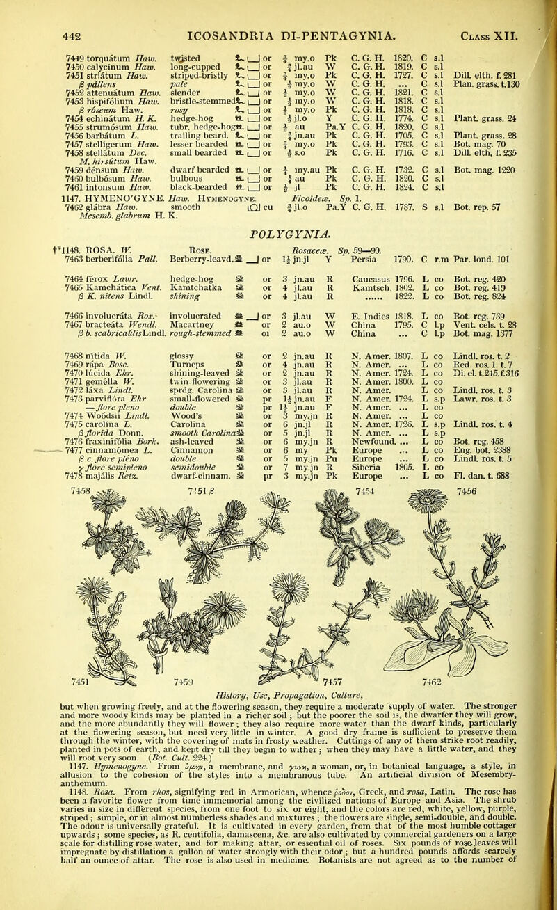 7449 torquatum Haw. 7450 calycinum Haw. 7451 striatum Haw. /3 fallens attenuatum Haw. 7453 hispifolium Haw. (3 rdseum Haw. 7454 echinatum H. K. 7455 strumosum Haw. 7456 barbatum L. 7457 stelligerum Haw. 7458 stellatum Dec. M. hirs&tum Haw. 7459 densum Haw. 7460 bulbosum Haw. 7461 intonsum Haw. 1147. HYMENO'GYNE. 7462 glabra Haw. Mesemb. glabrum H. t*1148. ROSA. W. twjsted )U i 1 or long-cupped t-1 | or striped-bristly S~. i I or pale t- i | or slender fU i j or bristle-stemmed!^ i | or rosy !U i_J or hedge-hog tt_ i | or tubr. hedge-hogtt. | | or trailing beard. JU i I or lesser bearded tt- | | or small bearded tt. | | or dwarf bearded a. i | or bulbous tt. | J or black-bearded tt- \ | or Haw. HVMENOGVNE. smooth iQJ cu K. £ my.o Pk C. G. H. 1820. C s.l f jl.au W C. G. H. 1819. c s.l J my.o Pk C. G. H. 1727. c s.l DilL elth. f. 281 £ my.o W C. G. H. c S.1 Plan, grass. tl30 i my.o W C. G. H. 1821. c 8.1 i my.o W C. G. H. 1818. c S.1 i my.o Pk Ks, Lr. rl. 1818. c S.l ijl.o Y C. G. H 1774. c s.1 Plant, grass. 24 i au Pa.Y C. G. H. 1820. c s.1 fjn.au Pk C. G. H. 1705. c s.1 Plant, grass. 28 J my.o Pk C. G. H. 1793. c s.1 Bot. mag. 70 i s.o Pk C. G. H. 1716. c s.l Dill. elth. f. 235 \ iny.au Pk C. G. H. 1732. c s.1 Bot. mag. 1220 £ au Pk C. G. H. 1820. c s.1 \ jl Pk C. G. H. 1824. c s.1 Ficoldea?. Sp. 1. f jl.o Pa.Y C. G. H. 1787. s s.1 Bot. rep. 57 POLYGYNIA. Rose. Rosaces. Sp. 59—90. 7463 berberifolia Pall. Berberry-leavd J or 1| jn.jl Y Persia 1790. C r.m Par. lond. 101 7464 ferox Lawr. hedge-hog & or 3 jn.au R Caucasus 1796. L CO Bot. reg. 420 7465 Kamchatica Vent. Kamtchatka or 4 jl.au R Kamtsch. 1802. L CO Bot. reg. 419 @ K. nitens Lindl. shining 3k or 4 jl.au R 1822. L CO Bot. reg. 824 7466 involucrata Ro.r.- involucrated m J or 3 jl.au W E. Indies 1818. L CO Bot. reg. 739 7467 bracteata Wendl. Macartney o or 2 au.o W China 1795. C 1-P Vent. eels. t. 25 j} b. scabricaW/isL'mdl. rough-stemmed oi 2 au.o W China C l.p Bot. mag. 1377 7468 nitida W. 7469 rapa Bosc. 7470 1ucida Ehr. 7471 gemella W. 7472 laxa Lindl. 7473 parvifl6ra Ehr —flore pleno 7474 Woodsii Lindl. 7475 Carolina L. $florida Donn. 7476 fraxinifolia Boric, 7477 cinnamomea L. (3 c. flore plena y flore scmipleno 7478 majalis Ret%. 7458 glossy St Turneps Si shining-leaved 3fe twin-flowering sprdg. Carolina Ste small-flowered double * Wood's S Carolina S£ smooth Carolina^ ash-leaved Sk Cinnamon 3£ double * semidouble 3fe dwarf-cinnam. S or or 2 or 3 or 3 pr li pr li or 3 or 6 or 5 or 6 or 6 or 5 or 7 3 jn.au jn.au jn.au jl.au jl.au jn.au jn.au - my.jn R jn.jl R jn.jl R my.jn R my Pk my.jn Pu my.jn R my.jn Pk N. Amer. 1807. N. Amer. ... N. Amer. 1724. N. Amer. 1800. N. Amer. N. Arner. 1724. N. Amer. ... N. Amer. ... N. Amer. 1726. N. Amer. ... Newfound. ... Europe ... Europe Siberia Europe 1805. Lindl. ros. t. 2 Red. ros. 1.1.7 Di. el. t.245.f.316 Lindl. ros. t. 3 Lawr. ros. t. 3 Lindl. ros. t. 4 Bot. reg. 458 Eng. bot. 2388 Lindl. ros. t 5 Fl. dan. t. 688 7151 History, Use, Propagation, Culture, but when growing freely, and at the flowering season, they require a moderate supply of water. The stronger and more woody kinds may be planted in a richer soil; but the poorer the soil is, the dwarfer they will grow, and the more abundantly they will flower; they also require more water than the dwarf kinds, particularly at the flowering season, but need very little in winter. A good dry frame is sufficient to preserve them through the winter, with the covering of mats in frosty weather. Cuttings of any of them strike root readily, planted in pots of earth, and kept dry till they begin to wither; when they may have a little water, and they will root very soon. (Bot. Cult. 224.) 1147. Hymenogyne. From u/miv, a membrane, and ymw, a woman, or, in botanical language, a style, in allusion to the cohesion of the styles into a membranous tube. An artificial division of Mesembry- anthemum. 1148. Rosa. From rhos, signifying red in Armoriean, whence p'oSw, Greek, and rosa, Latin. The rose has been a favorite flower from time immemorial among the civilized nations of Europe and Asia. The shrub varies in size in different species, from one foot to six or eight, and the colors are red, white, yellow, purple, striped ; simple, or in almost numberless shades and mixtures ; the flowers are single, semi-double, and double. The odour is universally grateful. It is cultivated in every garden, from that of the most humble cottager upwards ; some species, as R. centifolia, damascena, &c. are also cultivated by commercial gardeners on a large scale for distilling rose water, and for making attar, or essential oil of roses. Six pounds of rose-leaves will impregnate by distillation a gallon of water strongly with their odor ; but a hundred pounds affords scarcely half an ounce of attar. The rose is also used in medicine. Botanists are not agreed as to the number of