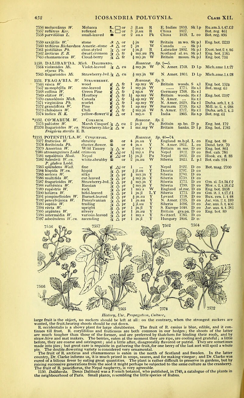 7556 moluccSnus W. 7557 renexus Ker, 7558 parvifolius L. Molucca reflexed small-leaved *~Oor I I or 3 jl.au 3 jl.au 2 au.s R ft Pk E. Indies China China 1810. 1817. 1818. Skl.p Ru.am.5.t.47.f.2 Bot. reg. 461 L co Bot. reg. 496 7559 saxatilis W. stone i A « 7560 triflorus Richardson Americ.-stone J; A or 7561 pistillatus Ph. close-styled ^ A or 7562 arcticus E. B. dwarf-crimson ^ A fr 7563 chamsemurus W. Cloud-berry ^ A ft 1150. DALIBAR'DA. Mich. Dalibarda. 7564 violzeoides Mi. Violet-leaved ^ A d repens Ph. 7565 fragarioides Mi. Strawberry-lvd.^ A cu ijn W f jn W i jn.jl R \ my.au Pk \ my.jn W Britain m wo. Sk p.l Canada ... Sk p.l Labrador 1802. Sk p.l Scotland al. ro. Sk p.l Britain mouii, Sk p.l Rosaces. Sp. 2—5. I my.jn W N. Amer. 1768. D l.p | my.jn W N. Amer. 1803. D l.p Eng. bot. 2233 Exot. bot.2. t.86 Eng. bot. 1585 Eng. bot. 716 Mich.ame l.t.27 Mich.ame.l.t.28 1151. FRAG A'RI A 7566 vesca W. 7567 monophylla W. 7568 collina W. 7569 elatior W. 7570 canadensis Mich 7571 virginiana Ph. 7572 grandiflura W. 7573 chiloensis IV. 7574 indica H. K. W. Strawberry wood one-leaved Green Pine Hautboy Canada scarlet Pine Chili yellow-flower'd £ A fr A fr A fr A fr A fr A fr A fr A fr A or *1152. CO'MARUM. W. Comarum. 7575 palustre W. Marsh Cinquef.^ A cu 57576 fragarioides W. en. Strawberry-like^ A w Fragdria sterilis E. B. Rosacece. Sp. 9. 1 ap.my W Britain woods. S s.l 1 my.jn W 1773. Rs s.l | ap.n W Germany 1768. Rs r.I 1A ap.my W Britain woods. Ks r.I Eng. bot. 2197 1| ap.my W N. Amer. ... Rs r.I 1 ap.my W N. Amer. 162P. Rs r.I 1 ap.my W Surinam 1759. Rs r.I f my.jn W S. Amer. 1727. Rs r.I 1 my.o Y India 1805. Rs s.p Rosacea. Sp. 2. 2 jn.jl Pu Britain sp. bo. D p 1 mr.my W Britain banks. D l.p Eng. bot. 1521 Bot. mag. 63 Duha. arb.l. t. 5 Mill. ic. 2. t. 288 Duha. arb.l. t. 3 Bot. reg. 61 Eng. bot. 172 Eng. bot. 1785 tll53. POTENTIL'LA. Jf-'. 7577 fruticosa W. 7578 floribunda Ph. 7579 Anserina W. 7580 atrosanguinea Lodd. 7581 nepalensis Hook. 7582 Salesovii W. en. P. glabra Lodd. 7583 splcndens Wall. 7584hispida W. en. 7585 sericea W. 7586 multirida W. 7587 fragarioides W. 7588 ruthenica W. 7589 rupestris W. 7590 bifurca W. 7591 pimpinelioides W. 7592 pensylvanica W. 7593 sup'ma W. 7594 recta W. 7595 argentea W. 7596 intermedia W. 7597 adscendens W. en. Cinquefoil. shrubby cluster-flower. Wild Tansey crimson Nepal white-shrubby k A w H or _AJ or 4 jn.au 4 jn.o f my.s 1^ my.s li jn.jl 2 jn.au fine £ Al or 1 hispid A pr jl.au silky A Pr Is my.jn cutleaved A pr i my.jn Strawberry-lvd A pr is my.jn Russian A pr my.jn rock -\ A pr 1* my.s bifid-leaved k A pr 1 jn.jl Burnet-leaved A pr j jn.au Pensylvanian k. A pr 1* jn.au trailing A pr jl.au upright k A pr 1* jn.jl silvery k. A pr 1 jn.au various-leaved k. A pr 1 my.s ascending A pr 1 jn.jl Y England m.b.pl. L CO Y N. Amer. 1811. L CO Y Britain m me. I) CO Pu Nepal 1822. 1) CO Pu Nepal 1822. D CO \V Siberia 1823. L pi Y Nepal 1S22. D CO Y Dauria 1797. I) CO Y Siberia 1780. D CO Y Siberia 1759. I) CO Y Siberia 1773. D CO Y Siberia 1799. I) CO W England al.roc. 1) CO L.Y Siberia 1773. 1) CO Y Levant 1758. I) CO Y N. Amer. 1725. D CO Y Siberia 1696. I) CO Y S. Europe 164S. D CO Y Britain gra.pa. D CO Y Switzerl. 1786. D CO Y Hungary 1806. D CI' \ 7562 7564 Eng. bot. 88 Dend. brit. 70 Eng. bot. 861 Bot. cab. 785 Hook. ex. fl. 88 Bot. cab. 914 Bot. mag. 2700 Gm. si. 3.t.34.f.2 Mor. s. 2. t.20.f.2 Eng. bot. 2058 Gm.it. l.t.27.f.l Bux. cen. 1.1.48 Jac. vin. 2.1.189 Jac. aus. 5. t. 40)5 Jac. aus. 4. t. 383 Eng. bot. 89 History, Use, Propagation, Culture, large fruit is the object, no suckers should be left at all: on the contrary, when the strongest suckers are wanted, the fruit-bearing shoots should be cut down. R. occidentalis is a showy plant for large shrubberies. The fruit of R. ca?sius is blue, edible, and it con- tinues till frost. R. corylifolius and fruticosus are both common in our hedges; the shoots of the latter are much tougher than those of the former, and are preferred by thatchers for binding their roofs, and by straw-hive and mat makers. The berries, eaten at the moment they are ripe, are cooling and grateful; a little before, they are coarse and astringent; and a little after, disagreeably flavored or putrid. They are sometimes made into pies; but great care is requisite in gathering the fruit,for one berry of the last sort will spoil a whole pie. The double-flowering variety is considered very ornamental. The fruit of R arcticus and chama;morus is eaten in the north of Scotland and Sweden. In the latter country, Dr. Clarke informs us, it is much prized in soups, sauces, and for making vinegar; and Dr. Clarke was cured of a bilious fever by eating great quantities. The plant is rather difficult to preserve in gardens, but by raising successive generations from the seed it might perhaps be subjected to the same culture as the cranberry. The fruit of R pauciflorus, the Nepal raspberry, is very agreeable. 1150. Dalibarda. Denis Dalibard was a French botanist, who published, in 1749, a catalogue of the plants in the neighbourhood of Paris. Small plants, resembling the little species of Rubus.