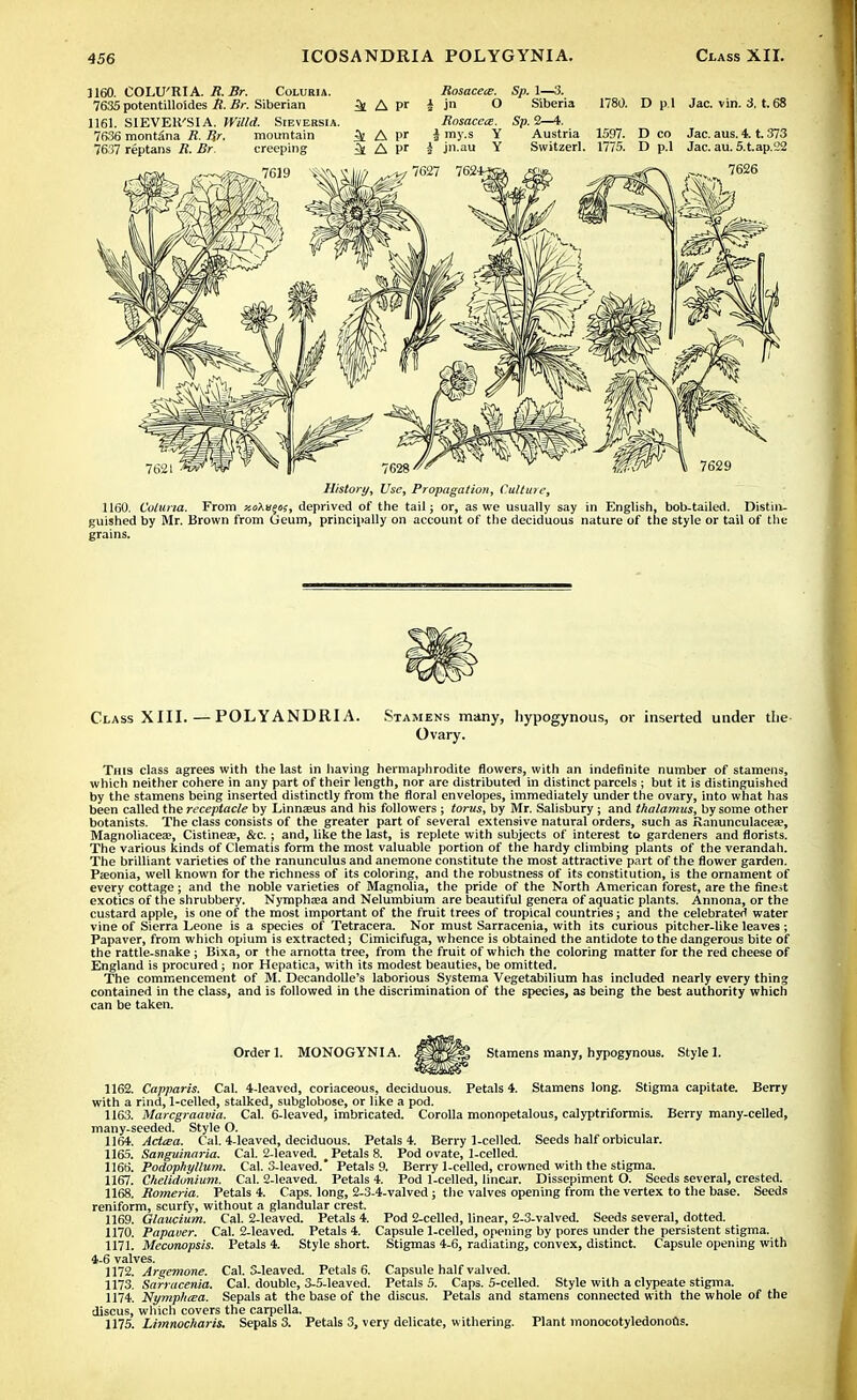 1160. COLU'RIA. R. Br. Coluria. 7635 potentilloides R. Br. Siberian 1161. SIEVEK'SIA. Willd. Sieveksia. 7636 montana R. Br. mountain 7637 reptans R. Br k A pr History, Use, Propagation, Culture, 1160. Coluria. From xoXu^a, deprived of the tail; or, as we usually say in English, bob-tailed. Distin- guished by Mr. Brown from Ileum, principally on account of the deciduous nature of the style or tail of the grains. Class XIII. — POLYANDRIA. Stamens many, hypogynous, or inserted under the- Ovary. This class agrees with the last in having hermaphrodite flowers, with an indefinite number of stamens, which neither cohere in any part of their length, nor are distributed in distinct parcels ; but it is distinguished by the stamens being inserted distinctly from the floral envelopes, immediately under the ovary, into what has been called the receptacle by Linneeus and his followers ; torus, by Mr. Salisbury; and thalamus, by some other botanists. The class consists of the greater part of several extensive natural orders, such as Ranunculacea?, Magnoliacea?, Cistinea;, &c.; and, like the last, is replete with subjects of interest to gardeners and florists. The various kinds of Clematis form the most valuable portion of the hardy climbing plants of the verandah. The brilliant varieties of the ranunculus and anemone constitute the most attractive part of the flower garden. Pseonia, well known for the richness of its coloring, and the robustness of its constitution, is the ornament of every cottage; and the noble varieties of Magnolia, the pride of the North American forest, are the finest exotics of the shrubbery. Nymphasa and Nelumbium are beautiful genera of aquatic plants. Annona, or the custard apple, is one of the most important of the fruit trees of tropical countries; and the celebrated water vine of Sierra Leone is a species of Tetracera. Nor must Sarracenia, with its curious pitcher-like leaves ; Papaver, from which opium is extracted; Cimicifuga, whence is obtained the antidote to the dangerous bite of the rattle-snake ; Bixa, or the arnotta tree, from the fruit of which the coloring matter for the red cheese of England is procured; nor Hepatica, with its modest beauties, be omitted. The commencement of M. Decandolle's laborious Systema Vegetabilium has included nearly every thing contained in the class, and is followed in the discrimination of the species, as being the best authority which can be taken. Order 1. MONOGYNI A. Stamens many, hypogynous. Style 1. 1162. Capparis. Cal. 4-leaved, coriaceous, deciduous. Petals 4. Stamens long. Stigma capitate. Berry with a rind, 1-celled, stalked, subglobose, or like a pod. 1163. Marcgraavia. Cal. 6-leaved, imbricated. Corolla monopetalous, calyptriformis. Berry many-celled, many-seeded. Style O. 1164. Actcea. Cal. 4-leaved, deciduous. Petals 4. Berry 1-celled. Seeds half orbicular. 1165. Sanguinaria. Cal. 2-leaved. Petals 8. Pod ovate, 1-celled. 1166. Podophyllum. Cal. 3-leaved. Petals 9. Berry 1-celled, crowned with the stigma. 1167. Chelidonium. Cal. 2-leaved. Petals 4. Pod 1-celled, linear. Dissepiment O. Seeds several, crested. 1168. Romeria. Petals 4. Caps, long, 2-3-4-valved; the valves opening from the vertex to the base. Seeds reniform, scurfy, without a glandular crest. 1169. Glaucium. Cal. 2-leaved. Petals 4. Pod 2-celled, linear, 2-3-valved. Seeds several, dotted. 1170. Papaver. Cal. 2-leaved. Petals 4. Capsule 1-celled, opening by pores under the persistent stigma. 1171. Meconopsis. Petals 4. Style short. Stigmas 4-6, radiating, convex, distinct. Capsule opening with 4-6 valves. 1172. Argemone. Cal. 3-leaved. Petals 6. Capsule half valved. 1173. Sarracenia. Cal. double, 3-5-leaved. Petals 5. Caps. 5-celled. Style with a clypeate stigma. 1174. Nymphcea. Sepals at the base of the discus. Petals and stamens connected with the whole of the discus, which covers the carpella. 1175. Lhnnocharis. Sepals 3. Petals 3, very delicate, withering. Plant monocotyledonous.