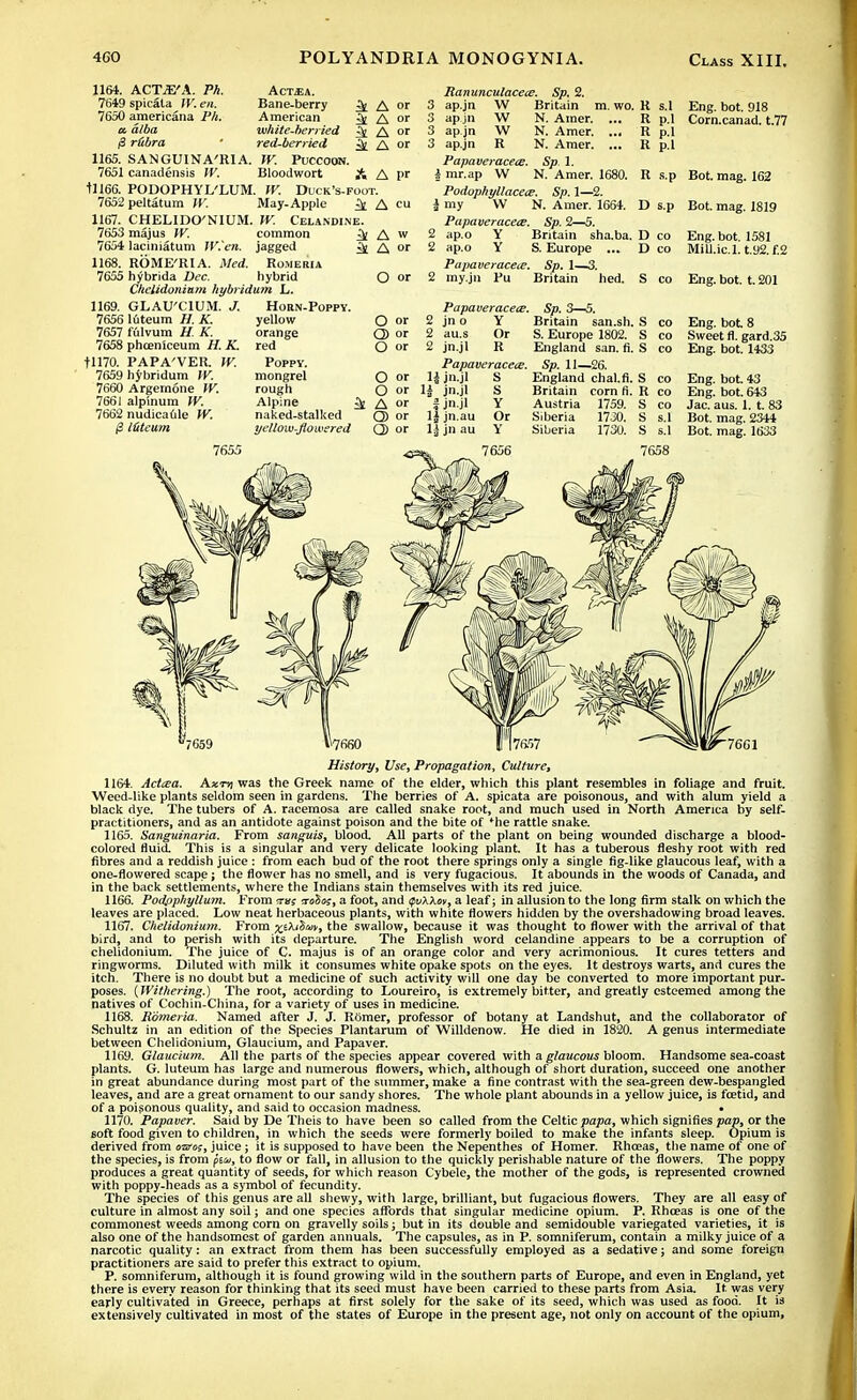 1164. ACT-E'A. Ph. 7649 spicaia W. en. 7650 americana Ph. a. alba /3 rtibra AcT4)A. Bane-berry ^ American ^ white-berried ^ red-berried & 1165. SANGUINA'RIA. W. PuccOOTJ. 7651 canadensis W. Bloodwort A +1166. PODOPHYLLUM. W. Duck's-foot. 7652 peltatum W. May-Apple ^ A 1167. CHELIDO'NIUM. W. Celandine. 7653 majus W. common ^ A 7654 laciniatum W.'en. jagged ^ A 1168. ROME'RI A. Med. Romeria 7655 hybrida Dec. hybrid Chelidonium hybridum L. 1169. GLAU'CIUM. J. Horn-Poppy 7656 luteum H. K. yellow 7657 fulvum H. K. 7658 phcenlceum H. K. t!170. PAPA'VER IV. 7659 hybridum W. 7660 Argemone W. 7661 alpinum W. 7662 nudicaule W. l&teum A pr R p.l R p.l R p.l R s.p Ranunculacece. Sp. 2. A or 3 ap.jn W Britain m. wo. R s.l A or 3 apjn W N. Amer. ... A or 3 ap.jn W N. Amer. ... A or 3 ap.jn R N. Amer. ... Papaveracets. Sp 1. | mr.ap W N. Amer. 1680. Podophyllacece. Sp. 1—2. k my W N. Amer. 1664. D s.p Papaveracets. Sp. 2—5. Aw 2 ap.o Y Britain sha.ba. D co A or 2 ap.o Y S. Europe ... D co Papaveracece. Sp. 1—3. O or 2 my.jn Pu Britain hed. S co orange red Poppy. mongrel rough Alpine naked-stalked yellow-flowered O or Q) or O or O or O or A or Q) or Q) or Papaveracece. Sp. 3—5. 2 jn o Y Britain san.sh. S co 2 au.s Or S. Europe 1802. S co 2 jn.jl R England san. fi. S co Papaveracece. Sp. 11—26. H jn.jl S England chal.fi. S co li jn.jl S Britain corn fi. R co i jn.jl Y Austria 1759. S co ljjn.au Or Siberia 1730. S s.l lj jn au Y Siberia 1730. S s.l Eng. bot. 918 Corn.canad. t.77 Bot. mag. 162 Bot. mag. 1819 Eng. bot. 1581 MiU.ic.l. t.92.f.2 Eng. bot. t.201 Eng. bot. 8 Sweet fi. gard.35 Eng. bot. 1433 Eng. bot. 43 Eng. bot. 643 Jac. aus. 1. t. 83 Bot. mag. 2344 Bot. mag. 1633 7655 7656 7658 History, Use, Propagation, Culture, 1164. Actcea. Axtjj was the Greek name of the elder, which this plant resembles in foliage and fruit. Weed-like plants seldom seen in gardens. The berries of A. spicata are poisonous, and with alum yield a black dye. The tubers of A. racemosa are called snake root, and much used in North America by self- practitioners, and as an antidote against poison and the bite of 'he rattle snake. 1165. Sanguinaria. From sanguis, blood. AU parts of the plant on being wounded discharge a blood- colored fluid. This is a singular and very delicate looking plant. It has a tuberous fleshy root with red fibres and a reddish juice : from each bud of the root there springs only a single fig-like glaucous leaf, with a one-flowered scape; the flower has no smell, and is very fugacious. It abounds in the woods of Canada, and in the back settlements, where the Indians stain themselves with its red juice. 1166. Podpphyllum. From crcbos, a foot, and ipuAAw, a leaf; in allusion to the long firm stalk on which the leaves are placed. Low neat herbaceous plants, with white flowers hidden by the overshadowing broad leaves. 1167. Chelidonium. From ££AiS«, the swallow, because it was thought to flower with the arrival of that bird, and to perish with its departure. The English word celandine appears to be a corruption of chelidonium. The juice of C. majus is of an orange color and very acrimonious. It cures tetters and ringworms. Diluted with milk it consumes white opake spots on the eyes. It destroys warts, and cures the itch. There is no doubt but a medicine of such activity will one day be converted to more important pur- poses. {Withering.) The root, according to Loureiro, is extremely bitter, and greatly esteemed among the natives of Cochin-China, for a variety of uses in medicine. 1168. Romeria. Named after J. J. ROmer, professor of botany at Landshut, and the collaborator of Schultz in an edition of the Species Plantarum of Willdenow. He died in 1820. A genus intermediate between Chelidonium, Glaucium, and Papaver. 1169. Glaucium. All the parts of the species appear covered with a glaucous bloom. Handsome sea-coast plants. G. luteum has large and numerous flowers, which, although of short duration, succeed one another in great abundance during most part of the summer, make a fine contrast with the sea-green dew-bespangled leaves, and are a great ornament to our sandy shores. The whole plant abounds in a yellow juice, is foetid, and of a poisonous quality, and said to occasion madness. • 1170. Papaver. Said by De Theis to have been so called from the Celtic papa, which signifies pap, or the soft food given to children, in which the seeds were formerly boiled to make the infants sleep. Opium is derived from osros, juice j it is supposed to have been the Nepenthes of Homer. Rhceas, the name of one of the species, is from piu, to flow or fall, in allusion to the quickly perishable nature of the flowers. The poppy produces a great quantity of seeds, for which reason Cybele, the mother of the gods, is represented crowned with poppy-heads as a symbol of fecundity. The species of this genus are all shewy, with large, brilliant, but fugacious flowers. They are all easy of culture in almost any soil; and one species affords that singular medicine opium. P. Rhceas is one of the commonest weeds among corn on gravelly soils; but in its double and semidouble variegated varieties, it is also one of the handsomest of garden annuals. The capsules, as in P. somniferum, contain a milky juice of a narcotic quality: an extract from them has been successfully employed as a sedative; and some foreign practitioners are said to prefer this extract to opium. P. somniferum, although it is found growing wild in the southern parts of Europe, and even in England, yet there is every reason for thinking that its seed must have been carried to these parts from Asia. It. was very early cultivated in Greece, perhaps at first solely for the sake of its seed, which was used as food. It is extensively cultivated in most of the states of Europe in the present age, not only on account of the opium,