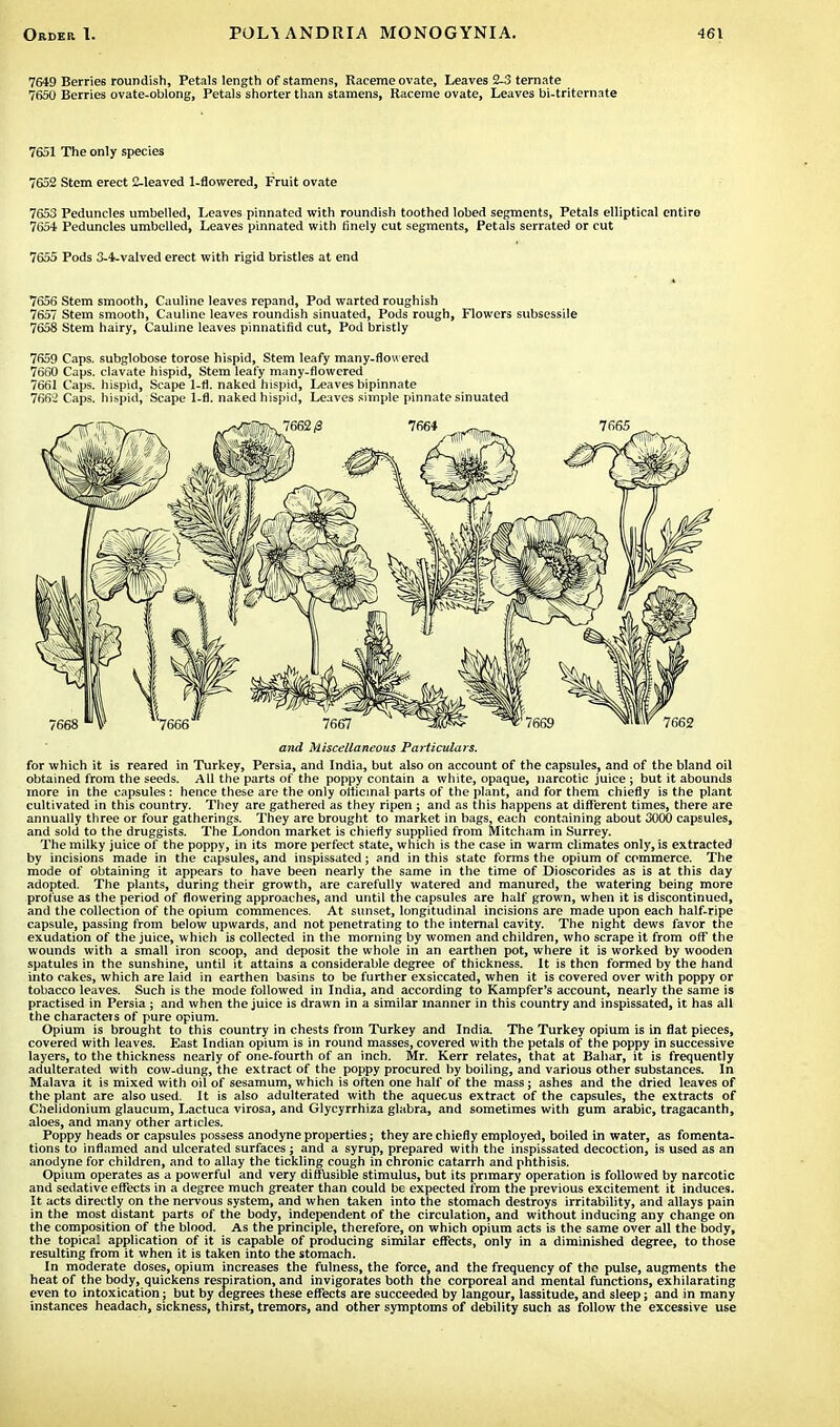 7649 Berries roundish, Petals length of stamens, Raceme ovate, Leaves 2-3 ternate 7650 Berries ovate-oblong, Petals shorter than stamens, Raceme ovate, Leaves bi-triternate 7651 The only species 7652 Stem erect 2-leaved 1-flowercd, Fruit ovate 7653 Peduncles umbelled, Leaves pinnated with roundish toothed lobed segments, Petals elliptical entire 7654 Peduncles umbelled, Leaves pinnated with finely cut segments, Petals serrated or cut 7655 Pods 3-4-valved erect with rigid bristles at end 7656 Stem smooth, Cauline leaves repand, Pod warted roughish 7657 Stem smooth, Cauline leaves roundish sinuated, Pods rough, Flowers subsessile 7658 Stem hairy, Cauline leaves pinnatifid cut, Pod bristly 7659 Caps, subglobose torose hispid, Stem leafy many-flowered 7660 Caps, clavate hispid, Stem leafy many-flowered 7661 Caps, hispid, Scape 1-fl. naked hispid, Leaves bipinnate 7662 Caps, hispid, Scape 1-fl. naked hispid, Leaves simple pinnate sinuated and Miscellaneous Particulars. for which it is reared in Turkey, Persia, and India, but also on account of the capsules, and of the bland oil obtained from the seeds. All the parts of the poppy contain a white, opaque, narcotic juice ; but it abounds more in the capsules: hence these are the only officinal parts of the plant, and for them chiefly is the plant cultivated in this country. They are gathered as they ripen ; and as this happens at different times, there are annually three or four gatherings. They are brought to market in bags, each containing about 3000 capsules, and sold to the druggists. The London market is chiefly supplied from Mitcham in Surrey. The milky juice of the poppy, in its more perfect state, which is the case in warm climates only, is extracted by incisions made in the capsules, and inspissated; and in this state forms the opium of commerce. The mode of obtaining it appears to have been nearly the same in the time of Dioscorides as is at this day adopted. The plants, during their growth, are carefully watered and manured, the watering being more profuse as the period of flowering approaches, and until the capsules are half grown, when it is discontinued, and the collection of the opium commences. At sunset, longitudinal incisions are made upon each half-ripe capsule, passing from below upwards, and not penetrating to the internal cavity. The night dews favor the exudation of the juice, which is collected in the morning by women and children, who scrape it from off the wounds with a small iron scoop, and deposit the whole in an earthen pot, where it is worked by wooden spatules in the sunshine, until it attains a considerable degree of thickness. It is then formed by the hand into cakes, which are laid in earthen basins to be further exsiccated, when it is covered over with poppy or tobacco leaves. Such is the mode followed in India, and according to Kampfer's account, nearly the same is practised in Persia ; and when the juice is drawn in a similar manner in this country and inspissated, it has all the characters of pure opium. Opium is brought to this country in chests from Turkey and India. The Turkey opium is in flat pieces, covered with leaves. East Indian opium is in round masses, covered with the petals of the poppy in successive layers, to the thickness nearly of one-fourth of an inch. Mr. Kerr relates, that at Bahar, it is frequently adulterated with cow-dung, the extract of the poppy procured by boiling, and various other substances. In Malava it is mixed with oil of sesamum, which is often one half of the mass; ashes and the dried leaves of the plant are also used. It is also adulterated with the aqueous extract of the capsules, the extracts of Chelidonium glaucum, Lactuca virosa, and Glycyrrhiza glabra, and sometimes with gum arabic, tragacanth, aloes, and many other articles. Poppy heads or capsules possess anodyne properties; they are chiefly employed, boiled in water, as fomenta- tions to inflamed and ulcerated surfaces; and a syrup, prepared with the inspissated decoction, is used as an anodyne for children, and to allay the tickling cough in chronic catarrh and phthisis. Opium operates as a powerful and very diffusible stimulus, but its primary operation is followed by narcotic and sedative effects in a degree much greater than could be expected from the previous excitement it induces. It acts directly on the nervous system, and when taken into the stomach destroys irritability, and allays pain in the most distant parts of the body, independent of the circulation, and without inducing any change on the composition of the blood. As the principle, therefore, on which opium acts is the same over all the body, the topical application of it is capable of producing similar effects, only in a diminished degree, to those resulting from it when it is taken into the stomach. In moderate doses, opium increases the fulness, the force, and the frequency of the pulse, augments the heat of the body, quickens respiration, and invigorates both the corporeal and mental functions, exhilarating even to intoxication; but by degrees these effects are succeeded by langour, lassitude, and sleep; and in many instances headach, sickness, thirst, tremors, and other symptoms of debility such as follow the excessive use