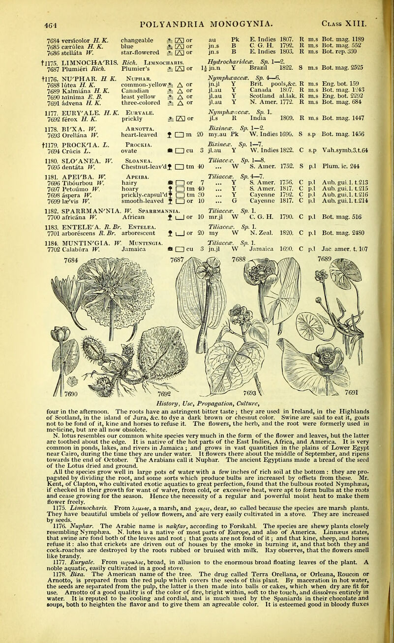 7684 versicolor H. K. changeable =fe El < 7685 casrulea H. K. blue ^ [£) < 7686 stellata W. star-flowered =¥= [23 < tll75. LIMNOCHA'RIS. Rich. Limnocharis. 7687 Plumieri Rich. Plumier's E) < jn.s jn.s Pk B B E. Indies 1807. C. G. H. 1792. E. Indies 1803. tll76. 7688 7689 7690 7691 1177. 7692 1178. 7693 fll79. 7694 1180. 7695 1181. 7696 7697 7698 7699 1182. 7700 1183. 7701 1184. 7702 H K. NU'PHAR. lutea H. K. Kalmiana H. K. minima E. B. advena H.K. EURY'ALE. H.K ferox H. K. BI'XA. W. Orellana W. NUPHAR. common-yellowi A Canadian =t /\ least yellow * A three-colored * A Eurvale. prickly * Q5J Arnotta. heart-leaved J CD '■ Prockia. ovate Hi □ 1 Sloanea. Chestnut-leav'dJ I I Apeiba. hairy * I I hoary t I I prickly-capsul'dl I I smooth-leaved J I I SPARRMAN'NIA. W. Sparrmannia. africana W. African £ \ | ENTELE'A. R.Br. Entelea. arborescens R. Br. arborescent J i | MUNTIN'GIA. W. Muntingia. Calabflra W. Jamaica Hydrochariiiece. Sp. 1—2. lfjltn Y Brazil 1822. Nymphccaceiz. Sp. 4—6. Brit. poo!s,&c. R Canada 1807. R Scotland al.lak. R N. Amer. 1772. R jn.jl Y jl.au Y jl.au Y jl.au Y Nymphcei; jl.s R '. Sp. 1. India 1809. R PROCK'IA. L. Cruris L. SLO'ANEA. W. dentata W. APEI'BA. W. Tibourbou W. Petoumo W. aspera W. layVis W. 1-2. W. Indies 1690. 1—7. W. Indies 1822. 1—8. S. Amer. 1752. S or Bixinete. Sp. m 20 my.au Pk Bixinete. Sp. cu 3 jl.au Y Tiliacex. Sp. tm 40 ... W TUiacecE. Sp. 4—7. or 7 ... Y S. Amer. 1756. C tm 40 ... Y S. Amer. 1817.  tm £0 ... Y or 10 ... G Tiliaccie. Sp. 1. or 10 mr.jl W C. G. H. 1790. Tiliacecc. Sp. 1. or 20 my W N. Zeal. 1820. Tdiacea;. Sp. 1. 3 jn.jl W Jamaic Cayenne 1792. Cayenne 1817. R m.s Bot. mag. 1189 R m.s Bot. mag. 552 R m.s Bot. rep. 330 S m.s Bot. mag. 2525 m.s Eng. bot. 159 m.s Bot. mag. 1-43 m.s Eng. bot. 2292 m.s Bot. mag. 684 m.s Bot. mag. 1447 s.p Bot. mag. 1456 s.p Vah.symb.3.t.64 p.l Plum. ic. 244 p.l Aub. gui.l. t.213 p.l Aub. gui.l. t.215 p.l Aub. gui.l. t.216 p.l Aub. gui.l. t.214 p.l Bot. mag. 516 p.l Bot. mag. 2480 History, Use, Propagation, Culture, four in the afternoon. The roots have an astringent bitter taste; they are used in Ireland, in the Highlands of Scotland, in the island of Jura, &c. to dye a dark brown or chesnut color. Swine are said to eat it, goats not to be fond of it, kine and horses to refuse it. The flowers, the herb, and the root were formerly used in medicine, but are all now obsolete. N. lotus resembles our common white species very much in the form of the flower and leaves, but the latter are toothed about the edge. It is native of the hot parts of the East Indies, Africa, and America. It is very common in ponds, lakes, and rivers in Jamaica ; and grows in vast quantities in the plains of Lower Egypt near Cairo, during the time they are under water. It flowers there about the middle of September, and ripens towards the end of October. The Arabians call it Nuphar. The ancient Egyptians made a bread of the seed of the Lotus dried and ground. All the species grow well in large pots of water with a few inches of rich soil at the bottom : they are pro- pagated by dividing the root, and some sorts which produce bulbs are increased by offsets from these. Mr. Kent, of Clapton, who cultivated exotic aquatics to great perfection, found that the bulbous rooted Nymphaeas, if checked in their growth for want of water, from cold, or excessive heat, were apt to form bulbs at the roots and cease growing for the season. Hence the necessity of a regular and powerful moist heat to make them flower freely. 1175. Limnocharis. From Xi/avo;, a marsh, and dear, so called because the species are marsh plants. They have beautiful umbels of yellow flowers, and are very easily cultivated in a stove. They are increased by seeds. 1176. Nuphar. The Arabic name is naitfar, according to Forskahl. The species are shewy plants closely resembling Nymphaja. N. lutea is a native of most parts of Europe, and also of America. Linna;us states, that swine are fond both of the leaves and root; that goats are not fond of it; and that kine, sheep, and horses refuse it: also that crickets are driven out of houses by the smoke in burning it, and that both they and cock-roaches are destroyed by the roots rubbed or bruised with milk. Ray observes, that the flowers smell like brandy. 1177. Euryale. From iv^vuXos, broad, in allusion to the enormous broad floating leaves of the plant. A noble aquatic, easily cultivated in a good stove. 1178. Bixa. The American name of the tree. The drug called Terra Orellana, or Orleana, Roucon or Arnotto, is prepared from the red pulp which covers the seeds of this plant. By maceration in hot water, the seeds are separated from the pulp, the latter is then made into balls or cakes, which when dry are fit for use. Arnotto of a good quality is of the color of fire, bright within, soft to the touch, and dissolves entirely in water. It is reputed to be cooling and cordial, and is much used by the Spaniards in their chocolate and soups, both to heighten the flavor and to give them an agreeable color. It is esteemed good in bloody fluxes