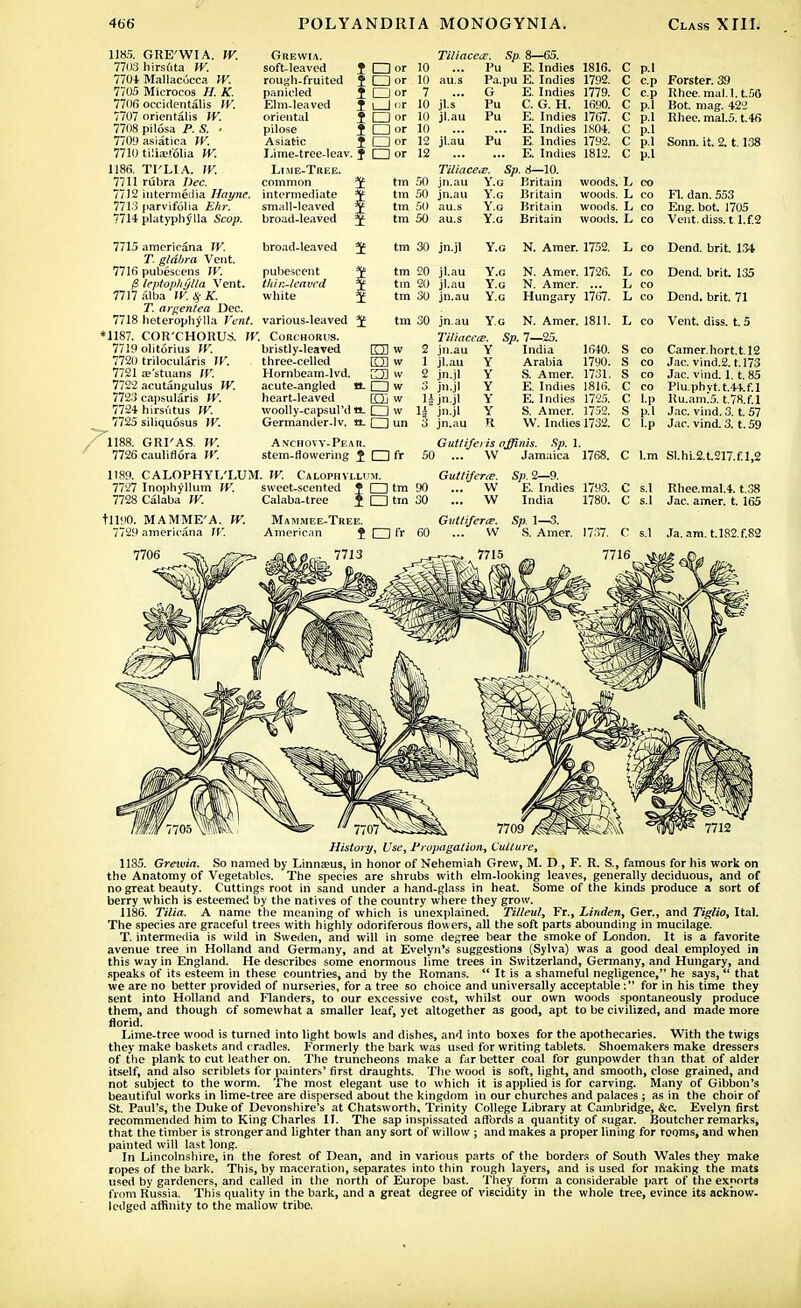 1)85. GRE'WIA. IV. 7703 hirstita W. 7701 Mallaeocca W. 7705 M'icrocos H. K. 7706 occidentalis W. 7707 orientals W. 7708 pilosa P. S. ■ 770!) asiatica JV. 7710 tiliarfolia W. 1186. TI'LIA. JV. 7711 rubra Dec. 7712 intermedia liaync. 7713 parvifolia £Ar. 7714 platyphylla Scop. Grewia. soft-teaved rough-fruited panicled Elm-leaved oriental pilose Asiatic Lime-tree-leav. Li me-Tree. common intermediate small-leaved broad-leaved }□»' 10 Pu E. Indies 1816. C f Oor 10 au.s Pa.pu E. Indies 1792. c i O or 7 G E. Indies 1779. c * i 1 or 10 il s Pu C. G. H. 16*10 Q i Qor Id jl.au Pu E. Indies 1767! c ? CJor 10 E. Indies 1804. c iDor 12 jl.au Pu E. Indies 1792. c f CZJor 12 E. Indies 1812. c tm 50 tm 50 tm 50 tm 50 TiUace*. Sp. 8—10. jn.au Y.G Britain Y.g Britain Y.G Britain Y.g Britain jn.au woods, woods, woods, woods. P.I C.p CP pi p.l p.l p.l p.l L co L co L co L co Forster. 39 Knee, mal.l.t.50 Bot. mag. 422 Knee, mal.5. t.46 Sonn. it. 2.1.138 Fl. dan. 553 Eng. bot. 1705 Vent. diss, t l.f.2 7715 7716 /S 7717 7718 *1187. 7719 7720 7721 7722 7723 7724 7725 '1188. 7726 amcricana JV. T. glabra Vent, pubescens JV. Irptophylla Vent, alba W. S$ K. T. argentea Dec. heterophylla Vent. COR'CHORUS. W olitorius JV. trilocularis JV. re'stuans IV. acutangulus W. capsularis JV. hirsutus W. siliquosus JV. GRI'AS. W. caulirlora JV. broad-leaved J pubescent J thin-leaved Y white J various-leaved 5f Corchorus. bristly-leaved three-celled Hornbeam-lvd. acute-angled tt. heart-leaved woolly-capsul'd *t- Germander-lv. IL Anchovy-Pear. stem-flowering J tm 30 jn.jl Y.g N. Amer. 1752. L co Dend. brit. 134 tm 20 jl.au Y.g N. Amer. 1726. tm 20 jl.au Y.g N. Amer. ... tm 30 jn.au Y.g Hungary 1767. tm 30 jn.au Y.g N. Amer. 1811. Tiliacea:. Sp. 7—25. 2 jn.au L co Dend. brit. 135 L co L co Dend. brit. 71 L co Vent. diss. t. 5 K3 w rm w w □ w fTTi w □ w □ un CDfr 1 jl.au 2 jn.jl 3 jn.jl li jn.jl H jn.jl 3 jn.au India 1640. Arabia 17y0. S. Amer. 1731. E. Indies 1816. E. Indies 1725. S. Amer. 1752. W. Indies 1732. Camer.hort.t.12 Jac. vind.2.1.173 Jac. vind. 1.1. 85 Pluphvt.t.44.f.l Ilu.am.5. t.78.f.I Jac. vind. 3. t. 57 Jac. vind. 3. t. 59 Guttiferis affiyiis. Sp. 1. 50 ... W Jamaica 1768. 1189. CALOPHYI/I.UM. JV. Calophvll 7727 Inophyllum JV. sweet-scented 7728 Calaba W. Calaba-tree tI190. MAMME'A. IV. 772.9 americana W. C l.m Sl.hi.2.t.217.f.l,2 Rhee.mal.4. t.38 Jac. amer. t. 165 Ja. am. t.!82.f.S2 7712 History, line, Propagation, Culture, 1135. Grewia. So named by Linnams, in honor of Nehemiah Grew, M. D, F. R. S., famous for his work on the Anatomy of Vegetables. The species are shrubs with elm-looking leaves, generally deciduous, and of no great beauty. Cuttings root in sand under a hand-glass in heat. Some of the kinds produce a sort of berry which is esteemed by the natives of the country where they grow. 1186. Tilia. A name the meaning of which is unexplained. Tilleul, Fr., Linden, Ger., and Tiglio, Hal. The species are graceful trees with highly odoriferous flowers, all the soft parts abounding in mucilage. T. intermedia is wild in Sweden, and will in some degree bear the smoke of London. It is a favorite avenue tree in Holland and Germany, and at Evelyn's suggestions (Sylva) was a good deal employed in this way in England. He describes some enormous lime trees in Switzerland, Germany, and Hungary, and speaks of its esteem in these countries, and by the Romans.  It is a shameful negligence, he says,  that we are no better provided of nurseries, for a tree so choice and universally acceptable: for in his time they sent into Holland and Flanders, to our excessive cost, whilst our own woods spontaneously produce them, and though of somewhat a smaller leaf, yet altogether as good, apt to be civilized, and made more florid. Lime-tree wood is turned into light bowls and dishes, and into boxes for the apothecaries. With the twigs they make baskets and cradles. Formerly the bark was used for writing tablets. Shoemakers make dressers of the plank to cut leather on. The truncheons make a far better coal for gunpowder than that of alder itself, and also scriblets for painters' first draughts. The wood is soft, light, and smooth, close grained, and not subject to the worm. The most elegant use to which it is applied is for carving. Many of Gibbon's beautiful works in lime-tree are dispersed about the kingdom in our churches and palaces ; as in the choir of St. Paul's, the Duke of Devonshire's at Chatsworth, Trinity College Library at Cambridge, &c. Evelyn first recommended him to King Charles II. The sap inspissated affords a quantity of sugar. Boutcher remarks, that the timber is stronger and lighter than any sort of willow ; and makes a proper lining for rooms, and when painted will last long. In Lincolnshire, in the forest of Dean, and in various parts of the borders of South Wales they make ropes of the bark. This, by maceration, separates into thin rough layers, and is used for making the mats used by gardeners, and called in the north of Europe bast. They form a considerable part of the exports from Russia. This quality in the bark, and a great degree of viscidity in the whole tree, evince its ackhow. lodged affinity to the mallow tribe.