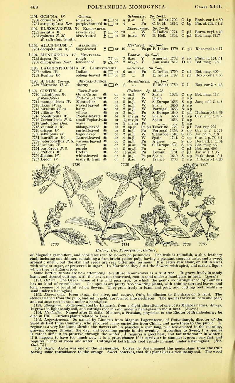 1191. OCH'NA. W. Ochna. 7730 obtusata Dec. squarrose * CD or 7731 atropurpurea Dec. purple-flower'd * i | or 1192. EL-EOCAR'PUS. W. El/f,ocarpus. 7732 serratus W. saw-leaved J CD or 7733 cyaneus B..M bl'ie-fruited J j | or E. reticulata Smith. tll93. ALAN'GIUM. J. Alancium. 7734 decapetalum IV. Sage-leaved f I I or tllP4. MENTZE'LlA. W. Mentzelia. 7735 aspera W. rough 7736 oligospermia Nutt. few-seeded Ochnacece. 4 Jl.au Y 4 ... Fu Elceocarpex. 20 ... W 10 jn.au W Sp. 2—11. E. Indies 1790. C. G. H. 1816. Sp. 2—10. E.Indies 1774. N. Hull. 1803. rm or •f i Al or 1195. LAGERSTRCE'MIA. W. Lageustiuemia. 7737 indica W. 7738 Regina? W. 1196. .TE'GLE. Correa. 7739 Marmelos H. K. Indian oblong-leaved i O or 11107. 7740 7741 7742 7743 7744 7745 7746 7747 7748 7749 7750 7751 7752 7753 7754 7755 7756 7757 CIS'TUS. J. ladaniferus W. planifolius monspeliensis W. lax us W. en. hirsutus IV. en. villosus W. populifolius W. Corboriensis P. S. undulatus Dun. vaginatus W. crispus W. salvifolius W. laurifolius W. heterophyllus P. S. incanus W. purpureus P. S. creticus W. albidus W. Ledon W. Bengal-Quince. thorny & CD fr Rock-Rose. Gum-Cistus * or Flat-leav.-Gum *l or Montpelier * or waved-leaved *i or hairy villous Poplar-leaved small Poplar-lv. wavy oblong-leaved curled-leaved Sage-leaved Laurel-leaved various-leaved hoary purple Cretan white-leaved many-fl.-Gum Myrtacea. Sp. 1—2. 10 ... Pa.pu E. Indies 1779. Loasece. Sp. 2—3. 3 jl.au Y America 1733. 2 my.jn Y Louisiana 1812. Salicarire. Sp. 2—7. 6 au.o Pu E. Indies 1759. 12 ... R E. Indies 1792. Aurantiacece. Sp. 1—2. 6 ... E. Indies VS9. C l.p Roxb. cor 1.1.89 C l.p Plu.al.263. f.1.2 C p.l Burm. zeyl. t.40 C p.l Bot. mag. 1737 C p.l Rhee.mal.4. t.17 S co Plum. ic. 174. f.l D s.l Bot. mag. 1760 C s.l Bot. mag. 405 C p.l Roxb. cor.l. t.65 C 1 Rox. cor.2.1.143 Cistinete. Sp. 4 jn.jl W 7730 4 in.jl 2 jn.jl 2 jn.jl 2 jn.jl 3 jn.jl 3 my.jn 1£ my.jn 2 my.jn 2 ap.jn 2 jn.jl 2 jn.jl 4 jn.jl 2 jn.jl 2 jn.au 2 my.jl li jn.au 2 jn.jl 1 jl.au 7739 W W w w Pu w Pa.pu Pu W W Pu Pu Pu Pu Pa.pu W 1629. 18—28. Spain Spain S. Europe 1656. Spain 1656. Portugal 1656. S. Europe 1640. Spain 1656. Spain 1656. S s.p S sp Teneriffe 1779. Portugal 1656. S. Europe 1548. Spain 1731. Algiers S. Europe 1596. Levant 1731. Spain 1640. France 1730. Bot. mag. 112 Jacq. coll. 2. t. 8 Duha.arb.l. t.64 Cav. ic. 3. t. 215 Bot. reg. 225 Cav. ic. 2. t. 174 Jac. col. 2. t. 8 Clus. 1. p. 78 f. 1 Dosf. atl. 1.1.104 Hot. mag. 43 Bot. reg. 408 Jac. ic. 1 t. 35 Park, theat. f. t Duha.arb.l. t.66 7737 History, Use, Propagation, Culture, of Magnolia grandiflora, and odoriferous white flowers on peduncles. The fruit is roundish, with a leathery rind, inclosing one thinner, containing a firm bright yellow pulp, having a pleasant singular taste, and a sweet aromatic smell; but the skin and seeds are very bitter and resinous. It is eaten raw alone, or cut in slices with wine or sugar, or preserved in sugar. In Martinico they distil the flowers with spirit, and make a liquor which they call Eau Creole. Some horticulturists are now attempting its culture in our stoves as a fruit tree. It grows freely in sandy loam, and ripened cuttings, with the leaves not shortened, root in sand under a hand-glass in heat. (Sweet.) 1191. Ochna. The Greek name of the wild pear tree, to which the genus so distinguished by Linna?us has no kind of resemblance. Tile species are pretty free-flowering plants, with shining serrated leaves, and long racemes of beautiful yellow flowers. They grow freely in loam and peat, and cuttings root readily in sand under a hand-glass. 1192. Elieocarpus. From sAotia, the olive, and za^-sro;, fruit, in allusion to the shape of its fruit. The stones cleaned from the pulp, and set in gold, are formed into necklaces. The species thrive in loam and peat, and cuttings rout in sand under a hand-glass. 1193. Alangium. So denominated by Lamarck, from a slight alteration of one of its Malabar names, Alangi. It grows in light sandy soil, and cuttings root in sand under a hand-glass in moist heat. (Sweet.) 1194. Mentxelia. Named after Christian Mentzel, a Prussian, physician to the Elector of Brandenburg; he died in 1701. Curious plants related to Loasa. 1195. Lugerstrcetnia. So named by Linnaeus from Magnus Lagerstroem, of Gottenburgh, director of the Swedish East India Company, who procured many curiosities from China, and gave them to the public. L. regina? is a very handsome shrub : the flowers are in panicles, a span long, pale rose-colored in the morning, growing deeper through the day, and becoming purple in the evening. According to Sweet, this species is rather difficult to preserve through the winter; it requires a good heat, and but little water in winter ; if it happens to have too much wet, it is a great chance if it survives : in summer it grows very fast, and requires plenty of room and water. Cuttings of both kinds root readily in sand, under a hand-glass. (Bot. Cult. 73.) 1196. JEgle. Aiy\-/i was one of the Hesperides. Correa de Serra named the genus Mgle from the fruit having some resemblance to the orange. Sweet observes, that this plant likes a rich loamy soil. The wood