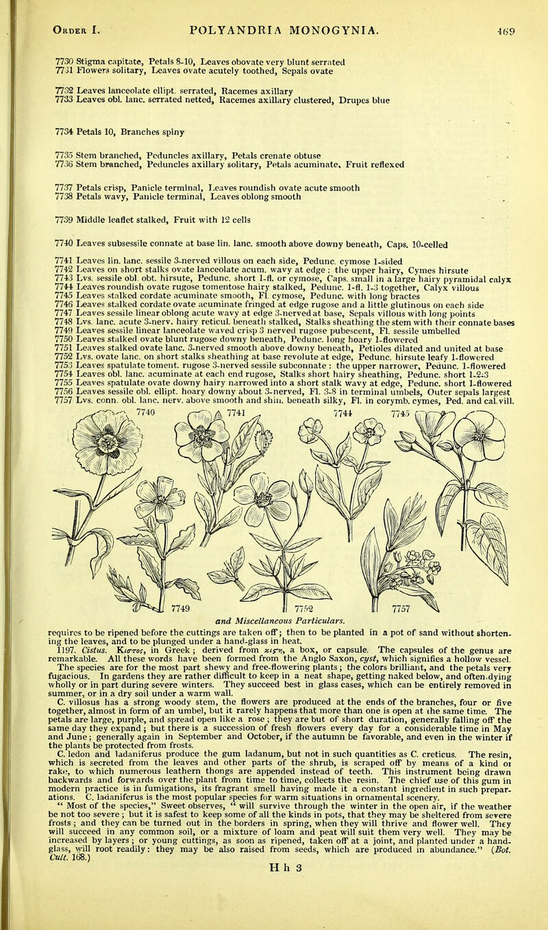 7730 Stigma capitate, Petals 8-10, Leaves obovate very blunt serrnted 7731 Flowers solitary, Leaves ovate acutely toothed, Sepals ovate 7732 Leaves lanceolate ellipt. serrated, Racemes axillary 7733 Leaves obL lane, serrated netted, Racemes axillary clustered, Drupes blue 7734 Petals 10, Branches spiny 7735 Stem branched, Peduncles axillary, Petals crenate obtuse - . 7736 Stem branched, Peduncles axillary solitary, Petals acuminate. Fruit reflexed 7737 Petals crisp, Panicle terminal, Leaves roundish ovate acute smooth 7738 Petals wavy, Panicle terminal, Leaves oblong smooth 7739 Middle leaflet stalked, Fruit with 12 cells 7740 Leaves subsessile connate at base lin. lane, smooth above downy beneath, Caps. 10-celled 7741 Leaves lin. lane, sessile 3-nerved villous on each side, Pedunc. cymose 1-sided 7742 Leaves on short stalks ovate lanceolate acum. wavy at edge : the upper hairy, Cymes hirsute 7743 Lvs. sessile obi. obt. hirsute, Pedunc. short 1-fl. or cymose, Caps, small in a large hairv pyramidal calyx 7744 Leaves roundish ovate rugose tomentose hairy stalked, Pedunc. 1-fl. 1-3 together, Calyx villous 7745 Leaves stalked cordate acuminate smooth, Fl. cymose, Pedunc. with long bractes 7746 leaves stalked cordate ovate acuminate fringed at edge rugose and a little glutinous on each side 7747 Leaves sessile linear oblong acute wavy at edge 3-nerved at base, Sepals villous with long points 7748 Lvs. lane, acute 3-nerv. hairy reticul. beneath stalked, Stalks sheathing the stem with their connate bases 7749 Leaves sessile linear lanceolate waved crisp 3 nerved rugose pubescent, Fl. sessile umbelled 7750 Leaves stalked ovate blunt rugose downy beneath, Pedunc. long hoary 1-flowered 7751 Leaves stalked ovate lane. 3-nerved smooth above downy beneath, Petioles dilated and united at base 7752 Lvs. ovate lane, on short stalks sheathing at base revolute at edge, Pedunc. hirsute leafy 1-flowered 7753 Leaves spatulate foment, rugose 3-nerved sessile subconnate : the upper narrower, Pedunc. 1-flowered 7754 Leaves obi. lane, acuminate at each end rugose, Stalks short hairy sheathing, Pedunc. short l-2;3 7755 Leaves spatulate ovate downy hairy narrowed into a short stalk wavy at edge, Pedunc. short 1-flowered 7756 Leaves sessile obi. ellipt. hoary downy about 3-nerved, Fl. 3-8 in terminal umbels, Outer sepals largest 7757 Lvs. conn. obi. lane. nerv. above smooth and shin, beneath silky, Fl. in corymb, cymes, Ped. and cal.vill. and Miscellaneous Particulars. requires to be ripened before the cuttings are taken off; then to be planted in a pot of sand without shorten- ing the leaves, and to be plunged under a hand-glass in heat. 1197. Cistus. Kirn;, in Greek ; derived from xtfn, a box, or capsule. The capsules of the genus are remarkable. All these words have been formed from the Anglo Saxon, cyst, which signifies a hollow vessel. The species are for the most part shewy and free-flowering plants; the colors brilliant, and the petals very fugacious. In gardens they are rather difficult to keep in a neat shape, getting naked below, and often.dying wholly or in part during severe winters. They succeed best in glass cases, which can be entirely removed in summer, or in a dry soil under a warm wall. C. villosus has a strong woody stem, the flowers are produced at the ends of the branches, four or five together, almost in form of an umbel, but it rarely happens that more than one is open at the same time. The petals are large, purple, and spread open like a rose ; they are but of short duration, generally falling off the same day they expand ; but there is a succession of fresh flowers every day for a considerable time in May and June; generally again in September and October, if the autumn be favorable, and even in the winter if the plants be protected from frosts. C. ledon and ladaniferus produce the gum ladanum, but not in such quantities as C. creticus. The resin, which is secreted from the leaves and other parts of the shrub, is scraped off by means of a kind oi rako, to which numerous leathern thongs are appended instead of teeth. This instrument being drawn backwards and forwards over the plant from time to time, collects the resin. The chief use of this gum in modern practice is in fumigations, its fragrant smell having made it a constant ingredient in such prepar- ations. C. ladaniferus is the most popular species for warm situations in ornamental scenery.  Most of the species, Sweet observes,  will survive through the winter in the open air, if the weather be not too severe ; but it is safest to keep some of all the kinds in pots, that they may be sheltered from severe frosts; and they can be turned out in the borders in spring, when they will thrive and flower well. They will succeed in any common soil, or a mixture of loam and peat will suit them very well. They may be increased by layers ; or young cuttings, as soon as ripened, taken off at a joint, and planted under a hand- glass, will root readily: they may be also raised from seeds, which are produced in abundance. (Bot. Call. 168.)