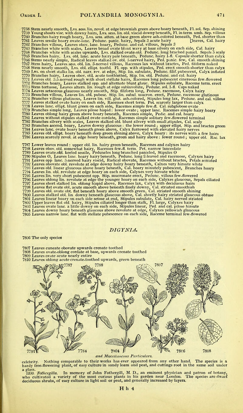 7758 Stem nearly smooth, Lvs. sess. lin. revol. at edge brownish green above hoary beneath, Fl. sol. Sep. shining 7759 Young shoots vise, with downy hairs, Lvs. sess. lin. obi. viscid downy beneath, Fl. in term umb. Sep. villous 7760 Branches hairy rough hoary, Lvs. sess. atten. at base green above ash-colored beneath, Ped. shorter than 7761 Leaves sessile hoary ovate-lanc. Pedunc. panic, hairy, Sepals 3 acute hairy [leaves, Cal. hairy 7762 Branches villous, Leaves obov. lane, hoary, Pedunc. and cal. villous, Sepals 3 7763 Branches white with scales, Leaves broad ovate blunt wavy at base silvery on each side, Cal. hairy 7764 Branches white with scales upwards, Lvs. stalked ovate-obl. Pedunc. long brached panicl. Sepals 5 scaly 7765 Branches hairy, Lvs. obi. lane, acute hairy pale beneath, Pedunc. hairy 1-fl. Capsule shorter than calyx 7766 Stems nearly simple, Radical leaves stalked ov. obi. 3-nerved hairy, Ped. panic, few, Cal. smooth shining 7767 Stem hairy, Leaves sess. obi. lin. 3-nerved villous, Racemes lax without bractes, Ped. filiform naked 7768 Stem nearly smooth, Lvs. obi. ellipt. toothl. Fl. opp. with stipules, Ped. erect smooth shorter than calyx 7769 Lvs. on short stalks lin. obi. narr. rev. at edge, Stip. lin. subulate, Pedunc. filif. pubescent, Calyx inflated 7770 Branches hairy, Leaves obov. obi. acute toothletted, Stip. lin. obi. Pedunc. and cal. hairy 7771 Leaves obi. 3-5-nerved rough with short stellate hairs, Racemes long pubescent cinereous few-flowered 7772 Branches hoary, Leaves stalked opp. and alternate blunt glauc. Stipules subulate, Raceme term, erect 7773 Stem tortuose, Leaves altern. lin. rough at edge subinvolute, Pedunc. sol, 1-fl. Caps naked 7774 Leaves setaceous glaucous nearly smooth, Stip. filiform long, Pedunc. racemose, Calyx hairy 7775 Branches villous, Leaves lin. obi. pubesc. Stip. lin. subul. mucron. erect, Pedunc. racemose glutinous 7776 Branches villous glutinous, Leaves lin. vill. glut, ash-colored, Stipules long lax, Pedunc. and cal. villous 7777 Leaves stalked ovate hairy on each side, Racemes short term. Pet. scarcely larger than calyx 7778 Leaves lane, ellipt. blunt green on each side, Racemes simple few-fl. Cal. subglobose ovate 7779 Branches simple long, Leaves pilose hispid: lower ovate; upper lane. Racemes simple hairy hoary 7780 Leaves oblong hairy green above hoary beneath, Racemes simple, Pedic. and cal. hoary 7781 Leaves without stipules stalked ovate cordate, Racemes simple solitary few-flowered terminal 7782 Branches silvery with scales, Leaves stalked obi. blunt silvery with small stipules, Cal. scaly 7783 Branches ascend, hoary, Leaves downy glaucous : the lower round ; upper ellipt. Stip. and bractes green 7784 Leaves lane, ovate hoary beneath green above, Calyx furrowed with elevated hairy nerves 7785 Leaves obi. ellipt. hoary beneath deep green shining above, Calyx hoary: its nerves with a few hairs 7786 Leaves scarcely revol. at edge hoary beneath, green and hairy above : lower round ; upper obi. Rac. lax 7787 Lower leaves round : upper obi. lin. hairy green beneath, Racemes and calyxes hairy 7788 Leaves obov. obi. somewhat hairy, Racemes few-fl. term. Pet. narrow lanceolate 7789 Leaves ovate-obl. keeled sessile, Peduncles long branched panicled, Stipules O 7790 Stipules O, Leaves lane, hoary hairy beneath, Pedunc. long2-leaved and racemose, Calyxes hairy 7791 Leaves opp lane. 3-nerved hairy viscid, Radical obovate, Racemes without bractes, Petals serrated 7792 Leaves obovate obi. revolute at edge downy hairy hoary beneath, Calxes very hirsute white 7793 Leaves obi. linear glaucous above hoary beneath, Cal. hoary minutely pubescent, Branches hoary 7794 Leaves lin. obi. revolute at edge hoary on each side, Calyxes very hirsute white 7795 Leaves lin. very short pubescent opp. Stip. mucronate erect, Pedunc. villous few-flowered 7796 Leaves oblong lin. revolute at edge the younger hoary on each side, Calyxes glaucous, Sepals ciliated 7797 Leaves short stalked lin. oblong hispid above, Racemes lax, Calyx with deciduous hairs 7798 Leaves flat ovate obi. acute smooth above beneath finely downy, Cal. striated smoothish 7799 Leaves obi. ovate obt. flat beneath hoary above smooth green, Cal. striated smooth shining 7800 Leaves stalked obi. lin downy beneath glaucous above, Cal. shortly hairy striated glaucous obtuse 7801 Leaves linear hoary on each side setose at end, Stipules subulate, Cal. hairy nerved striated 7802 Upper leaves flat obi. hairy, Stipules ciliated longer than stalk, Fl. large, Calyxes hairy 7803 Leaves ovate lane, a little downy on each side, Stipules linear, Ped. and cal. pilose hirsute 7804 Leaves downy hoary beneath glaucous above revolute at edge, Calyxes yellowish glaucous 7805 Leaves narrow lane, flat with stellate pubescence on each side, Raceme terminal few-flnwered DIGYNIA. 7806 The only species 7807 Leaves cuneate obovate upwards crenate toothed 7808 Leaves ovate-oblong cordate at base, upwards crenate toothed 7809 Leaves ovate acute nearly entire 7810 Leaves oblong acute crenate-toothed upwards, green beneath and Miscellaneous Particulars. celebrity. Nothing comparable to their works has ever appeared from any other hand. The species is a hardy free-flowering plant, of easy culture in sandy loam and peat, and cuttings root in the same soil under a glass. 1200. Fothergilla. In memory of John Fothergill, M. D., an eminent physician and patron of botany, who cultivated a variety of the most curious plants in his garden near London. The species are dwarf deciduous shrubs, of easy culture in light soil or peat, and generally increased by layers.