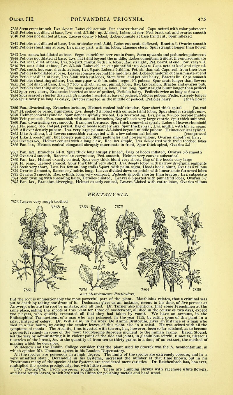 7838 Stem erect branch. Lvs. 5-part. Lobes obi. acumin. Pet. shorter than cal. Caps, netted with color pubescent 7839 Petioles not dilat. at base, Lvs. cord. 5-7-fid : up. 3-lobed, Lobes cut serr. Fed. bract, cal. and ovaries smooth 7810 Petioles not dilated at base, Leaves downy 5-lobed, Lobes cuneate at base trifid cut, Spur indexed 7841 Petioles not dilated at base, Lvs. orbicular cord. 5-fid, Lobes cut acute deflexed, Bractes 3, Ovaries smooth 7842 Petioles sheathing at base, Lvs. many-part, with lin. lobes, Raceme close, Spur straight longer than flower 7843 Lvs. somewhat dilated at base, Segm. cuneiform serr. cut in front, Stem upwards and peduncles pubescent 7844 Petioles not dilated at base, Lvs. flat trifid beyond the middle, Lobes cuneiform trifid at the end acuminate 7845 Pet. scar, dilat. at base, Lvs. 3-5-part. multif. with lin. lobes, Rac. straight, Pet. beard, at end : low. very vill. 7846 Pet. scar, dilat. at base, Lvs. 3-7-lob. Lobes obi. ac. cut pinnatifid: up. 3-part. Caps. nett. at keel and edge cil. 7847 Pet. smth. but scar, sheath, at base, Lvs. 5-par. Lobes 3-5-fid lin. Pet. sh. than cal. Caps. refl. from their base 7848 Petioles not dilated at base, Leaves concave beyond the middle trifid, Lobes cuneiform cut acuminate at end 7849 Petio. not dilat. at base, Lvs. S-lob. with cut lobes, Stem flexu. and petioles hairy, Bractes lin. Caps, smooth 7850 Petioles sheathing at base, Lvs. many-par. with lin. subul. segm. Fl. pubesc. Spur acute longer than flowers 7851 Pet. not dilat. at base, Lvs. 3-7-lob. with obi. ac. cut pinnat. lobes, Rac. lax branch. Bractes and ovaries pub. 7852 Petioles sheathing at base, Lvs. many-parted in lin. lobes, Rac. long, Spur straight blunt longer than pedicel 7853 Spur very short, Bracteoles inserted at base of pedicel, Petioles hairy, Pedicels twice as long as flower 7854 Spur scarcely shorter than cal. Bracteoles inserted at base of pedicel, Petioles pubesc. Pedic. scarcely longer 7855 Spur nearly as long as calyx, Bractes inserted in the middle of pedicel, Petioles hairy [than flower 7856 Pan. divaricating, Branches tortuose, Helmet conical half circular, Spur short thick spiral [at end 7857 Fl. spiked or panic, numerous, Lvs. deeply 3-5-lobed with cuneate trifid lobes, Spur slender straight curv. 7858 Helmet conical cylindric. Spur slender spirally twisted, Lip divaricating, Lvs. palm. 3-5-lob. beyond middle 7859 Veiny smooth, Pan. smoothish with ascend, branches, Bag of hoods very large ventric. Spur thick subinvol. 7860 Pan. divaricating very smooth, Branches tortuose, Spur thick somewhat spiral, Lobes of leaves rhomboid 7861 Fls. panic. Sep. and pet. persist. Bag of hoods scarcely any, Spur thick spiral, Lvs. multif. with lin. ac. segm. 7862 All over densely pubesc. Lvs. very large palmate 3-5-lobed beyond middle pubesc. Helmet conical cylindr. 7863 Like Anthera, but flowers smoothish variegated with alow subconical helmet [compressed 7864 Like Lycoctonum, but flowers panicled, Stem peduncles and flowers villous, Ovaries smooth or hairy 7865 Ovaries 4-5, Helmet conical with a long claw, Rac. lax simple, Lvs. 3-5-parted with trifid toothed lobes 7866 Pan. lax, Helmet conical elongated abruptly mucronate in front, Spur thick spiral, Ovaries 3-5 7867 Pan. lax, Branches 1-4-fl. Spur thick long abruptly kneed, Bags of hoods inflated, Ovaries 3-5 smooth 7868 Ovaries 3 smooth, Raceme lax corymbose, Ped. smooth, Helmet very convex subconical 7869 Pan. lax, Helmet exactly conical, Spur very thick blunt very short, Bag of the hoods very large 7870 Fl. panic. Helmet conical, Spur thick blunt very short. Lvs. deeply lobed with narrow diverging segments 7871 Stem very short, Low. lvs. few on long stalks 5-part. with palm. segm. Hoods hook, blunt, Ovaries 3 villous 7872 Ovaries 3 smooth, Raceme cylindric. long. Leaves divided down to petiole with linear acute furrowed lobes 7873 Ovaries 3 smooth, Rac. cylindr. long very compact, Pedicels smooth shorter than bractes, Lvs. subpedate 7874 Stem twining with spreading hairs, Petioles ciliated, Leaves 3-5-parted with pinnatifid lobes, Ovaries 5-7 7875 Pan. lax, Branches diverging, Helmet exactly conical, Leaves 3-lobed with entire lobes, Ovaries villous PENTAGYNIA. 7876 Leaves very rough toothed and Miscellaneous Particulars. But the root is unquestionably the most powerful part of the plant. Matthiolus relates, that a criminal was put to death by taking one dram of it. Dodonseus gives us an instance, recent in his time, of five persons at Antwerp, who ate the root by mistake, and all died. Dr. Turner also mentions, that some Frenchmen at the same place, eating the shoots of this plant for those of masterwort, all died in the course of two days, except two players, who quickly evacuated all that they had taken by vomit. We have an account, in the Philosophical Transactions, of a man who was poisoned, in the year 1732, by eating some of this plant in a salad, instead of celery. Dr. Willis also, in his work De Anima Brutorum, gives an Instance of a man who died in a few hours, by eating the tender leaves of this plant also in a salad. He was seized with all the symptoms of mania. The Aconite, thus invested with terrors, has, however, been so far subdued, as to become a powerful remedy in some of the most troublesome disorders incident to the human frame. Baron Stoerck led the way by administering it in violent pains of the side and joints, in glandulous scirrhi, tumours, ulcerous tubercles of the breast, &c. to the quantity of from ten to thirty grains in a dose, of an extract, the method of making which he describes. Willdenow and the Dublin College consider that the plant used by Stoerck was the A. neomontanum, in which opinion Mr. Thomson agrees in his London Dispensatory. All the species are poisonous in a high degree. The limits of the species are extremely obscure, and in a very unsettled state; Decandolle in his Systema, increased the number at that time known, but in his Prodromus many of the species of the Systema are considered mere varieties. Dr. Reichenbach has, however, multiplied the species prodigiously, but with little reason. 1206. Trachytella. From T^axvTri;, roughness. These are climbing shrubs with racemose white flowers, and hard rough leaves, which are used in China for polishing metals and hard wood.