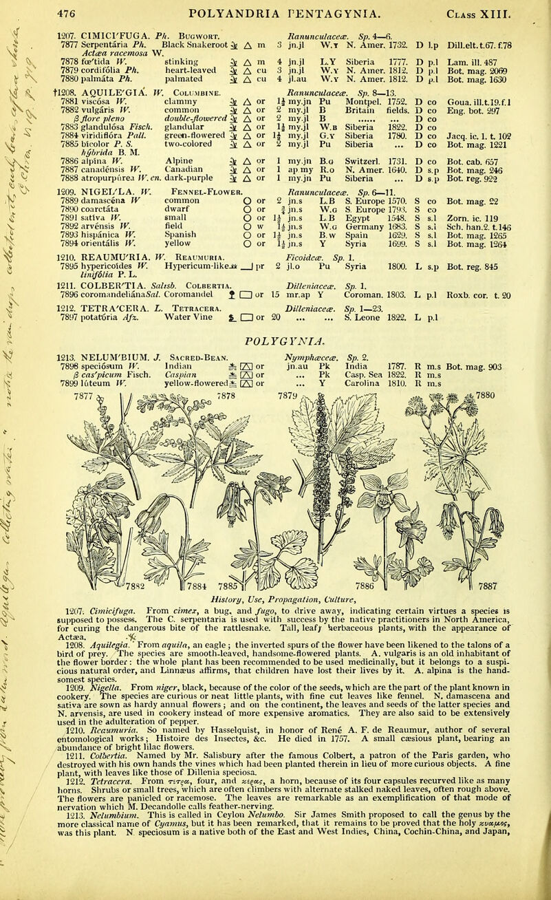 12(17. CIMICI'FUGA. Ph. Bugvvort. 7877 Serpentaria Ph. Black Snakeroot ifc A rn Aetna racemosa W. 7878 fce'tida W. stinking ^ A m 7879 cordifolia Ph. heart-leaved ^ A cu 7880 palmata Ph. palmated ^ A cu tl208. AQUILE'GIA. W. 7881 viscosa W. 7882 vulgaris W. fiflore p/eno 7883 glandulosa Fisch. 7884 viridiflora Pall. 7885 bioolor P. S. hybrida B. M. 7886 alpina W. 7887 canadensis W. 7888 atropurpurea W. en. Columbine. clammy ^ common 3j double-flowered glandular green-flowered ^ two-colored ^ Alpine Canadian dark-purple 1209. NIGEL'LA. W. Fennel-Flower. ) damascena W 7890 coarctata 7891 satlva W. 7892 arvensis W. 7893 hispanica W. 7894 orientalis W. common dwarf small field Spanish yellow A or A or A or A or A or A or A or A or A or O or O or O or O W O or O or 1210. REAUMU'RIA. W. Reaumuria. 7895 hypericoides W. Hypericum-likej* | pr linifdlia P. L. 1211. COLBEK'TIA. Sahsb. Colbertia. 7896 coromandelianaSnA Coromamlel J □ or HanuncuIacecE. Sp. 4—6. 3 jn.jl W.T N. Amer. 1732. 4 jn.jl L.Y Siberia 1777. 3 jn.jl W.Y N. Amer. 1812. 4 jl.au W.Y N. Amer. 1812. Ranunculacea?. Sp. 8—13. 1J my.jn Pu Montpel. 1752. D l.p Dill.elt.t.67.f.78 D p.l Lam. ill. 487 D p.l Bot. mag. 2069 D p.l Bot. mag. 1630 2 my.jl 2 my.jl 1J my.jl H my.jl 2 my.jl Britain fields. B B W.b Siberia G.Y Siberia Pu Siberia 1822. 1780. 1 my.jn B.g Switzerl. 1731. 1 ap my R.o N. Amer. 1640. 1 my.jn Pu Siberia Ranunculacete. Sp. 6—11. 2 jn.s L.B S. Europe 1570. W.g S. Europe 17H<. LB Egypt 1548. f jn.s 1| jn.s 1| jn.s 1| jn.s 1£ jn.s W.u B.w Y Germany 1683. Spain 1629. Syria 1699. Ficoidca?. Sp. 1. 2 jl.o Pu Syria 1800. Dilleitiacece. Sp. 1. 15 mr.ap Y Coroman. 1803. 1212. TETRA'CERA. L. Tetracera. Billeniacece. Sp. 1—23. 7897 potatoria /(/is. Water Vine $_ □ or 20 S. Leone 1822. D co D co D co T> co D co D co Goua. iU.t.l9.f.l Eng. bot. 297 Jacq. ic. 1.1 102 Bot. mag. 1221 D co Bot. cab. 657 D s.p Bot. mag. 246 D s.p Bot. reg. 922 co Bot. mag. 22 Zorn. ic. 119 Sch. han.2. t.145 Bot. mag. 1265 Bot. mag. 1264 L s.p Bot. reg. 845 L p.l Roxb. cor. t. 20 L p.l POLYG YNIA. 1213. NELUM'BIUM. J. Sacreo-Bean. Nymphaicete. Sp. 2. 7898 speciosum W. Indian =fe B3 or jn.au Pk India 1787. (3 cas'pieum Fisch. Caspian =t (23 or ... Pk Casp. Sea 1822. 7899 luteum W. yellow-flowered* 23 or ... Y Carolina 1810. 7878 R m.s Bot. mag. 903 R m.s R m.s j* 7880 History, Use, Propagation, Culture, 1207. Cimicifuga. From cimex, a bug, and fugo, to drive away, indicating certain virtues a specie6 is supposed to possess. The C. serpentaria is used with success by the native practitioners in North America, for curing the dangerous bite of the rattlesnake. Tall, leaf/ herbaceous plants, with the appearance of Aetata. .'ft 1208. Aquilegia.' From aquila, an eagle; the inverted spurs of the flower have been likened to the talons of a bird of prey. The species are smooth-leaved, handsome-flowered plants. A. vulgaris is an old inhabitant of the flower border: the whole plant has been recommended to be used medicinally, but it belongs to a suspi- cious natural order, and Linna?us affirms, that children have lost their lives by it. A. alpina is the hand- somest species. 1209. Nigella. From niger, black, because of the color of the seeds, which are the part of the plant known in cookery. The species are curious or neat little plants, with fine cut leaves like fennel. N. damascena and sativa are sown as hardy annual flowers; and on the continent, the leaves and seeds of the latter species and N. arvensis, are used in cookery instead of more expensive aromatics. They are also said to be extensively used in the adulteration of pepper. 1210. Reaumuria. So named by Hasselquist, in honor of Rene A. F. de Reaumur, author of several entomological works; Histoire des Insectes, &c. He died in 1757. A small carious plant, bearing an abundance of bright lilac flowers. 1211. Colbertia. Named by Mr. Salisbury after the famous Colbert, a patron of the Paris garden, who destroyed with his own hands the vines which had been planted therein in lieu of more curious objects. A fine plant, with leaves like those of Dillenia speciosa. 1212. Tetracera. From nrga, four, and zteeiz, a horn, because of its four capsules recurved like as many horns. Shrubs or small trees, which are often climbers with alternate stalked naked leaves, often rough above. The flowers are panicled or racemose. The leaves are remarkable as an exemplification of that mode of nervation which M. Decandolle calls feather-nerving. 1213. Nelumbium. This is called in Ceylon Nelumbo. Sir James Smith proposed to call the genus by the more classical name of Cyamus, but it has been remarked, that it remains to be proved that the holy xv«.fjMs, was this plant. N speciosum is a native both of the East and West Indies, China, Cochin-China, and Japan,