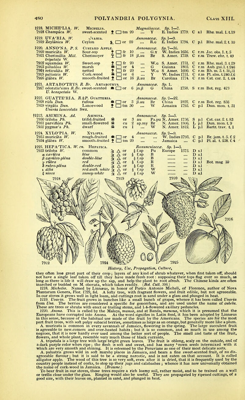 1218. MICHE'LIA. \V. Michelia. 7918 Champaca W. 1219. UVA'RIA. W. 7919 Zeylanica W. 1220. ANNO'NA. P. S. 7920 muricata W. 7921 Cherimolia Mill, tripetala W. 7922 squamosa W. 7923 paludosa W. 7921 reticulata W. 7925 palustris W. 7926 glabra W. 1221. ARTABO'TRYS. R. Br. Artabotrvs. 7927 odoratis'sima R.Br, sweet-scented H CD or V. hexapetala W. sweet-scented f 1—1 tm 20 Y Jvaria. Annonacex. Ceylon SLED or 20 R.0 Custard Apple. Annonacetz. Sour-sop fCDfr 10 G.Y Cherimoyer 1 CD fr 18 jl.au Br Sweet-sop IDft 20 W.G marsh • □or 4 G netted 5 CDfr 20 W.G Cork-wood « □ or 6 Y smooth-fruited 1 dor 16 jl.au Br Annonacete. 6 jn.jl G . Sp. 1—7. E. Indies 1779. Sp. 1—9. E. Indies 1794. Sp. 7—36. W. Indies 1656. S. Amer. 1739. S. Amer. 1731. Guiana 1803. S Amer. 1690. W. Indies 1731. Carolina 1774. Sp. 1. China C s.l Rhe. mal. 1.1.19 C p.l Rhe. mal. 2.1.10 C r.m Jac. obs. 1.1.5 C r.m Trew. ehr. t. 49 C r.m Rhe. maL 3. t.29 C r.m Aub. gui.l. t.246 C r.m Rh. m. 3. t. 30,31 C r.m PI. aim. t.240.f.6 C r.m Cat car. 2. t.64 1758. S r.m Bot reg. 423 1222. GUATTE'RIA. R.SfP. Guatteria 7928 rufa Dun. rufous 7929 virgata Dun. Lancewood Uvaria lanceolata Swz. Annonacece. M □ or 3 jl.au Br J □ tm 30 ... W Sp. 2—22. China 1822. Jamaica 1793. C r.m Bot. reg. 836 C p.l Dun. mon. t. 31 fl223. ASIMINA 7930 triloba Ph. 7931 parvinora Ph. 7932 pygmse'a Ph. Ad. ASIMINA. trifid-fruited Si small-flowered Si dwarf 3fc Annonacete. Sp. 3—5. 3 au Pa.pu N. Amer. 1736. 2 ap.my Br N. Amer. 1S06. 1 ... W N. Amer. 1812. W. 1224. XYLO'PIA. 7933 muricata W. 7934 glabra IV. HEPA'TICA. IV. en. Xylopia. Annonacece. Sp. 2—9. rough-fruited «□ or 4 W. Indies 1793. smooth-fruited { CD tm 20 ... ... Jamaica 1225. 7935 triloba W. a, ctErHlea /3 ceerHleo-plena rrftbra rubro-plena i alba { nivea 7918 Hepatica. common blue double-blue red double-red red-anth. while A snowy-white ^ A ■m ^ W19 w Ranunculacem. Sp. 1—3. Europe s p.l Cat. car. 2. t. 83 L p.l Dun. mon. t. 9 L p.l Bartr. trav. 1.1 C p.l Br. jam. t. 5. f. 2 c p.l PL-d. t. 238. f.4 D S.l D S.1 D s.l D s.1 Bot. mag 10 D s.1 D s.1 1) s.l History, Use, Propagation, Culture, they often lose great part of their crop; layers of any kind of shrub whatever, when first taken off, should not have a single leaf taken off till they have made fresh root: supposing their tops flag ever so much, as long as there is life it will draw up the sap, and help the plant to root afresh. The Chinese kinds are often inarched or budded on M. obovata, which takes readily. (Bot. Cult. 306.) 1218. Michelia. Named by Linnaeus, in honor of Pietro Antonio Micheli, of Florence, author of Nova Plantarum Genera, Flor. 1729, fol. A lofty tree, with fragrant flowers, and fruit edible, but not agreeeable. In our stove6 it grows well in light loam, and cuttings root in sand under a glass and plunged in heat. 1219. Uvaria. The fruit grows in bunches like a small bunch of grapes, whence it has been called Uvaria from Uva. The berries are considered a specific for gonorrhoea, and are used under the name of cubebs. These are trees or shrubs with erect or trailing stems, and 1-4-flowered axillary peduncles. 1220. Anona. This is called by the Malays, manoa, and at Banda, menona, which it is presumed that the Europeans have corrupted into Anona. As the word signifies in Latin food, it has been adopted by Linnaeus in this sense, because of the habitual use made of the fruit by the Americans. The species are for the most part fruit trees, with soft pulpy subacid berries, sometimes as large as an orange, but generally more like a plum. A. muricata is common in every savannah of Jamaica, flowering in the spring. The large succulent fruit is agreeable to new-comers and over-heated habits; but it is so common, and so much in use among the negroes, that it is now hardly ever used among the better sort of people. The smell and taste of the fruit, flowers, and whole plant, resemble very much those of black currants. A. tripetala is a large tree with large bright green leaves. The fruit is oblong, scaly on the outside, and of a dark purple color when ripe ; the flesh is soft and sweet, and has many *-rown seeds intermixed with it which are very smooth and shining. It is esteemed by the Peruvians as one of their most delicate sorts. A. palustris grows wild in soft marshy places in Jamaica, and bears a fine sweet-scented fruit, of no dis- agreeable flavour; but it is said to be a strong narcotic, and is not eaten on that account. It is called alligator apple. The wood of this tree is so very soft, even after it is dried, that it is frequently used by the country people instead of corks, to stop up their jugs and calabashes ; whence it has now universally obtained the name of cork-wood in Jamaica. (Browne.) To bear fruit in our stoves, these trees require a rich loamy soil, rather moist, and to be trained on a wall or trellis close under the glass. Ringing would also be useful. They are propagated by ripened cuttings, of a good size, with their leaves on, planted in sand, and plunged in heat.