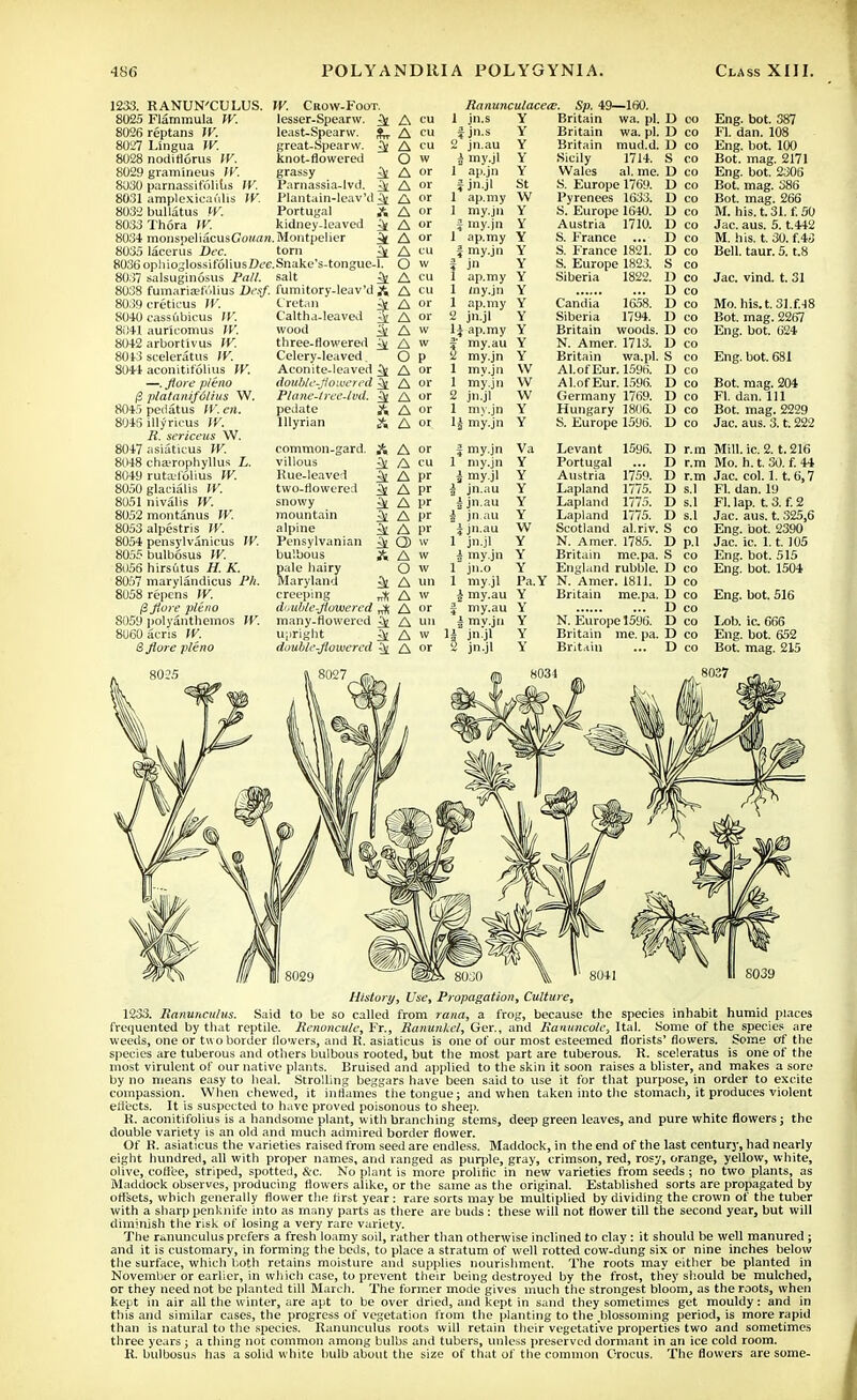 1233. RANUN'CULUS. W. Chow-Foot. Ranunculacete. Sp. 49—160. 8025 Flammula W. lesser-Spearw. 3t A cu 1 jn.s Y Britain wa. pi. D 00 Eng. bot. 387 8026 reptans W. least-Spearw. *, A cu jn.s Y Britain wa. pi. D co Fl. dan. 108 8027 Lingua IV. great-Spearvv. % A cu 2* jn.au Y Britain mud.d. D CO Eng. bot. 100 8028 nodiflorus W. knot-flowered O w j my.jl Y oicny j / it. g CO Bot. mag. 2171 8029 gramineus IV. grassy k A or la ap.jn Y Wales al. me. CO Eng. bot. 2306 8030 parnassifolius IV. Parnassia-lvd. i A or lf jn.jl St S. Europe 1769. 1) CO Bot. mag. 386 8031 amplexicai'dis IV. Plantain-leav'd^ A or ap.my w Pyrenees 1633. 1) CO Bot. mag. 266 8(132 bullatus W. Portugal A A or 1 my.jn Y S. Europe 1640. 1) CO M. ilis. t. 31. f. 50 8033Th6ra IV. kidney-leaved k A or my.jn Y Austria 1710. 1) CO Jac. aus. 5. t.442 8034 monspeliacusGowflfl .Montpelier ^ A or 1* ap.my Y S. France ... D CO M. his. t. 30. f.43 8035 lacerus Dec. torn £V A cu my.jn Y S. France 1821. I) CO Bell. taur. 5. i.8 iWJljopliioilossifoliusOfC.Snakc's-tongucJ. O w 3* jn Y S. Europe 1823. S 8037 salsuginosus Pall. salt 32 A cu 1 ap.my Y Siberia 1822. D en Jac. vind. t. 31 8038 fumariaf.'.lius Desf. fumitory-leav'd Jt A cu 1 my.jn Y I) CO 80.1't cretirus W. Cretan or 1 ap.my Y Candia 1658. 1) CO Mo. his. t. 31.f.J8 S04U CaSSulllCUS II . Caltha-leaved li or s jn.jl Y Siberia 1794. I) CO Bot. mag. 2267 8041 aurlcomus IV. wood k A w 14 ap.my Y Britain woods. D CO Eng. bot. 624 OKffiu tllUUIllvtla »r . three-flowered ± A w a* my.au Y N. Amer. 1713. 1) CO 8013 sceleratus IV. Celery-leaved. o p I my.jn Y Britain wa.pl. S CO Eng. bot. 681 SOil aconitifolius W. Aconite-leaver ^ A or 1 mv.jn W Al.ofEur. 1596. 1) CO —. Jtore p/eno double-flowered 5 A or 1 my.jn w Al.of Eur. 1596. 1) CO Bot. mag. 204 (3 p/atanifotius W. Plane-tree-lvd. k A or 2 jn.jl w Germany 1769. 1) CO Fl. dan. Ill 8045 pedatus IV. en. pedate A A or 1 rriy.jri Y Hungary 1806. 1) CO Bot. mag. 2229 8U46 illyricus If. lllyrian A A or 1| my.jn Y S. Europe 1596. D CO Jac. aus. 3. t. 222 R. sericeus W. 8047 asiaticus W. common-gard. A A or 3 my.jn Va Levant 1596. I) r.m Mill. ic. 2. t. 216 8048 ch&rophyllus i. villous 3£ A cu 1* my.jn Y Portugal ... I) Mo. h. t. 30. f. 44 8049 ruta-lolius IV. Rue-leaved my.jl Y Austria 1759. 1) r'm Jac. col. 1.1. 6,7 8050 glacialis W. two-flowered £ A pr I* jn.au Y Lapland 1775. D s 1 Fl. dan. 19 8051 nivalis W. snowy 3d A pr 3 1 jn.au Y Lapland 1775. D s 1 Fl. lap. t. 3. f. 2 8052 montanus W. mountain k A pr ia jn au Y Lapland 1775. 1) s!i Jac. aus. t. 325,6 8053 alpestris W. alpine iV A l>r 2 i jn.au W Scotland al.riv. S CO Eng. bot. 2390 8054 pensylvanicus IV. Pensylvanian & o> w 1* jn.jl Y N. Amer. 1785. 1) pi Jac. ic. 1.1. 105 8055 bulbosus W. bulbous A A w my.jn Y Britain me.pa. S CO Eng. bot. 515 8056 hirsutus H. K. pale hairy o w l2 jn.o Y England rubble. D CO Eng. bot. 1504 8057 marylandicus Ph. Maryland ^ A un 1 my.jl Pa.Y N. Amer. 1811. 1) CO 8058 repens W. creeping ,* A w A my.au Y Britain me.pa. 1) CO Eng. bot. 516 fifiore plino d^ublc-flowered „* A or my.au Y 1) CO 8059 polyanthemos W. many-flowered 3[ A un my.jn Y N. Europe 1596. D CO Ix>b. ic. 666 8U60acris W. upright iV A w i jnjl Y Britain me. pa. D CO Eng. bot. 652 Sflore p/eno double-flowered ^ A or jn.jl Y Britain D CO Bot. mag. 215 History, Use, Propagation, Culture, 1233. Ranunculus. Said to be so called from rana, a frog, because the species inhabit humid places frequented by that reptile. Rcnoncule, Fr., Ranunkel, Ger., and Ranuncole, Ital. Some of the species are weeds, one or two border flowers, and K. asiaticus is one of our most esteemed florists' flowers. Some of the species are tuberous and others bulbous rooted, but the most part are tuberous. R. sceleratus is one of the most virulent of our native plants. Bruised and applied to the skin it soon raises a blister, and makes a sore by no means easy to heal. Strolling beggars have been said to use it for that purpose, in order to excite compassion. When chewed, it inflames the tongue; and when taken into the stomach, it produces violent effects. It is suspected to have proved poisonous to sheep. R. aconitifolius is a handsome plant, with branching stems, deep green leaves, and pure white flowers; the double variety is an old and much admired border flower. Of R. asiaticus the varieties raised from seed are endless. Maddock, in the end of the last century, had nearly eight hundred, all with proper names, and ranged as purple, gray, crimson, red, rosy, orange, yellow, white, olive, cofiee, striped, spotted, &c. No plant is more prolific in new varieties from seeds ; no two plants, as Maddock observes, producing flowers alike, or the same as the original. Established sorts are propagated by offsets, which generally flower the first year : rare sorts may be multiplied by dividing the crown of the tuber with a sharp penknife into as many parts as there are buds : these will not flower till the second year, but will diminish the risk of losing a very rare variety. Tile ranunculus prefers a fresh loamy soil, rather than otherwise inclined to clay : it should be well manured ; and it is customary, in forming the beds, to place a stratum of well rotted cow-dung six or nine inches below the surface, which both retains moisture and supplies nourishment. The roots may either be planted in November or earlier, in which case, to prevent their being destroyed by the frost, they should be mulched, or they need not be planted till March. The former mode gives much the strongest bloom, as the roots, when kept in air all the winter, are apt to be over dried, and kept in sand they sometimes get mouldy: and in this and similar cases, the progress of vegetation from the planting to the .blossoming period, is more rapid than is natural to the species. Ranunculus roots will retain their vegetative properties two and sometimes three years ; a thing not common among bulbs and tubers, unless preserved dormant in an ice cold room. R. bulbosus has a solid white bulb about the size of that of the common Crocus. The flowers are some-
