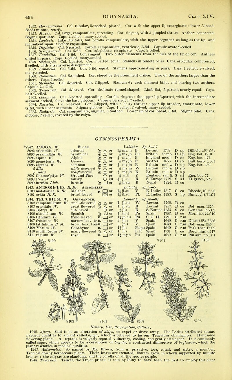 1352. Hornemannia. Cal. tubular, 5-toothed, plaited. Cor. with the upper lip emarginate: lower 3-lobed. Seeds minute, scurfy. 1353. Maxus. Cal. large, campanulate, spreading. Cor. ringent, with a pimpled throat. Anthers connected. Stigma spatulate. Caps. 2-celled, many-seeded. 1354. Isoplcxis. Like Digitalis, but corolla campanulate, with the upper segment as long as the lip, and incumbent upon it before expansion. 1355. Digitalis. Cal. 5-parted. Corolla campanulate, ventricose, 5-fid. Capsule ovate 2-celled. 1356. Scrophularia. Cal. 5-fid. Cor. subglobose, resupinate. Caps. 2-celled. 1357. Vandellia. Cal. 4-fid. Cor. ringent. Two outer filaments trom the disk of the lip of cor. Anthers united in pairs. Caps. 1-celled, many-seeded. 1358. SMhorpia. Cal. 5-parted. Cor. 5-parted, equal. Stamens in remote pairs. Caps, orbicular, compressed, 2-celled, with a transverse dissepiment. 1359. Limosella. CaL 5-fid. Cor. 5-fid, equal. Stamens approximating in pairs. Caps. 1-celled, 2-valved, many-seeded. 1.360. Browallia. Cal. 5-toothed. Cor. closed by the prominent orifice. Two of the anthers larger than the others. Caps. 1-celled. 1361. Stemodia. Cal. 5-parted. Cor. 2-lipped. Stamens 4 : each filament bifid, and bearing two anthers. Capsule 2-celled. 1362. Treuirana. Cal. 5-leavcd. Cor. declinate funnel-shaped. Limb flat, 5-parted, nearly equal. Caps, half 2-celled. 1363. Columned. Cal. 5-parted, spreading. Corolla ringent: the upper lip 3-parted, with the intermediate segment arched, above the base gibbous. Capsule berried, 1-2-celled. 1364. Russelia. Cal. 5-leaved. Cor. 2-lipped, with a hairy throat: upper lip broader, emarginate, lower trifid, with linear segments. Stigma globose Caps. 1-celled, 2-valved, many seeded. 1365. Dodartia. Cal. campanulate, angular, 5-toothed. Lower lip of cor. broad, 3-fid. Stigma bifid. Caps, globose, 2-celled, covered by the calyx. G YMNOSPE R MIA. ti242. 8092 8093 81)94 8095 8096 V 8097 8098 8099 1243. 8100 8101 1244. 8102 8103 8104 8105 8106 8107 8108 8109 8110 8111 A'JUGA. W. orientalis IV. pyramidalis TV. alpina IV. genevensis TV. reptans IV. alba rubra Chamse'pitys TV. 1'va IV. furcata Link. ANISOME'LES. R malabarica R. Br. ovata //. K. TEU'CRIUM. TV. campanulatum TV. orientale JV. Botrys W. nissolianum TV. trifidum TV. fruticans TV. latifolium B. M. Marum TV. multiflorum TV. regium IV. Bugle. oriental pyramidal Alpine Geneva common wh ite-Ji owered red-Jiowcred Ground Pine musky furcate :. Br. Anisomelf.s. A or A or A or A or A or A or A or O pr O cu _|or Malabar broad-leaved Germander. small-flowered great-flowered cut-leaved Spanish trifid-leaved narrow-leav. tr.c i | or broad-leav. treett- i I or Cat-thyme many-flowered ^ A or royal 12- J or £ CD or rm or k A or 4Aor O or ^ _AJ or «-1 I or Labiate. my.jn B my.jn my.jl my.jn my.jn my.jn my jn ap.jl jl.au jl.au Labiata?. jl.au V jl.au Pk Labiattz. jl.au W jl.au B jl.s R jn.jl Pu jn.au Pu jn.s jn.s Jl.s jls my.o Sp. 8—17. Levant 1732. Britain sc.mo. England moun. Switzerl. 1656. Britain moi.w. Britain moi.w. Britain moi.w. England san.fi. S. Europe 1759. Nepal 1824. Sp. 2—5. E. Indies 1817. E. Indies 1783. Sp. 44—87. Levant 1728. Levant 1752. S. Europe 1633. D sp D sp D co D co D s.p D s.p D s.p S s.l S s.l D co Dill.elt. t.53. f.61 Eng. bot. 1270 Eng. bot. 477 Bull. herb. t. 361 Eng. bot. 4«9 Eng. bot. 77 El. graxa, 525 :o Rheede, 10. t. 93 .p Bur.zeyl.t.71.f.l Spain C. G. H. Spain Spain 175C 1791. 1640. 1640. 16+0. 1731. 1699. D co D co Bot. mag. 1279 S co Ger.ema. 525.f.2 D co Mor.his.t.22.f.l9 C r.m C r.m Dil.el.t.284.f.366 C r.m Bot. mag. 245 C r.m Park.thea.l7.f.2 C co Bocc. mus. 1.117 C r.m Plu.alm. t.65. f.l 8105 8101 8107 History, Use, Propagation, Culture, 1242. Ajuga. Said to be an alteration of abigo, to expel or drive away. The Latins attributed emme- nagogue qualities to a plant called ajuga, which is believed to be our Teucrium chainaspitys. Handsome flowering plants. A. reptans is vulgarly reputed vulnerary, cooling, and gently astringent. It is commonly called bugle, which appears to be a corruption of bugula, a contracted diminutive of buglossam, which the plant resembles in medical qualities. 1243. Anisomeles. So named by Mr. Brown, from a., privative, Itroi, equal, and fuXof, a member. Tropical downy herbaceous plants. Their leaves are crenated, flowers grow in whorls supported by minute bractem; the calyxes are glandular, and the corolla of all the species purple. 1244. Teucrium. Teucer, the Trojan prince, is said by Pliny to have been the first to employ this plant