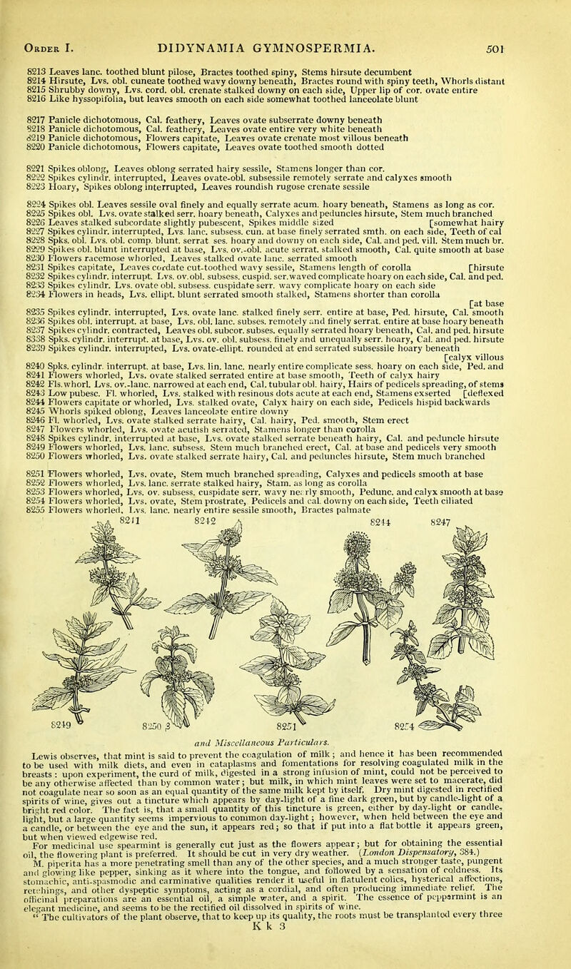 5213 Leaves lane, toothed blunt pilose, Bractes toothed 6piny, Stems hirsute decumbent 8214 Hirsute, Lvs. obi. cuneate toothed wavy downy beneath, Bractes round with spiny teeth, Whorls distant 8215 Shrubby downy, Lvs. cord. obi. crenate stalked downy on each side, Upper lip of cor. ovate entire 8216 Like hyssopifolia, but leaves smooth on each side somewhat toothed lanceolate blunt 8217 Panicle dichotomous, Cal. feathery, Leaves ovate subserrate downy beneath 3218 Panicle dichotomous, Cal. feathery, Leaves ovale entire very white beneath 8219 Panicle dichotomous, Flowers capitate, Leaves ovate crenate most villous beneath 8220 Panicle dichotomous, Flowers capitate, Leaves ovate toothed smooth dotted 8221 Spikes oblong, Leaves oblong serrated hairy sessile, Stamens longer than cor. 8222 Spikes cylindr. interrupted, Leaves ovate-obl. subsessile remotely serrate and calyxes smooth 8223 Hoary, Spikes oblong interrupted, Leaves roundish rugose crenate sessile 8224 Spikes obi. Leaves sessile oval finely and equally serrate acum. hoary beneath, Stamens as long as cor. 8225 Spikes obi. Lvs. ovate stalked serr. hoary beneath, Calyxes and peduncles hirsute, Stem much branched 8226 Leaves stalked subcordate slightly pubescent, Spikes middle sized [somewhat hairy 8227 Spikes cylindr. interrupted, Lvs. Ianc. subsess, cun. at base finely serrated smth. on each side, Teeth of cal 8228 Spks. obi. Lvs. obi. comp. blunt, serrat ses. hoary and downy on each side, Cal. and ped. vill. Stem much br. 8229 Spikes obi. blunt interrupted at base, Lvs. ov.-obl. acute serrat. stalked smooth, Cal. quite smooth at base 8230 Flowers racemose whorled. Leaves stalked ovate lane, serrated smooth 8231 Spikes capitate, Leaves cordate cut-toothed wavy sessile, Stamens length of corolla [hirsute 8232 Spikes cylindr. interrupt. Lvs. ov.obl. subsess. cuspid, ser. waved complicate hoary on each side, Cal. and ped. 8233 Spikes cylindr. Lvs. ovate obi, subsess. cuspidate serr. wavy complicate hoary on each side 8234 Flowers in heads, Lvs. ellipt. blunt serrated smootli stalked, Stamens shorter than corolla [at base 8235 Spikes cylindr. interrupted, Lvs. ovate lane, stalked finely serr. entire at base, Ped. hirsute, Cal. smootli 82.30 Spikes obi. interrupt, at base, Lvs. obi. lane, subses. remotely and finely serrat. entire at base hoary beneath 8237 Spikes cylindr. contracted, Leaves obi. subcor. subses. equally serrated hoary beneath, Cal. and ped. hirsute 8338 Spks. cylindr. interrupt, at base, Lvs. ov. obi. subsess. finely and unequally serr. hoary, Cal. and ped. hirsute 8239 Spikes cylindr. interrupted, Lvs. ovate-ellipt. rounded at end serrated subsessile hoary beneath [calyx villous 8240 Spks. cylindr. interrupt, at base, Lvs. I'm. lane, nearly entire complicate sess. hoary on each side, Ped. and 8241 Flowers whorled, Lvs. ovate stalked serrated entire at base smooth, Teeth of calyx hairy 8242 Fls.whorl. Lvs. ov.-lanc. narrowed at each end, Cal. tubularobl. hairy, Hairs of pedicels spreading, of stems 8243 Low pubesc. Fl. whorled, Lvs. stalked with resinous dots acute at each end, Stamens exserted [deflexed 8244 Flowers capitate or whorled, Lvs. stalked ovate, Calyx hairy on each side, Pedicels hispid backwards 8245 Whorls spiked oblong, Leaves lanceolate entire downy 8246 Fl. whorled, Lvs. ovate stalked serrate hairy, Cal. hairy, Ped. smooth, Stem erect 8247 Flowers whorled, Lvs. ovate acutish seriated, Stamens longer than corolla 8248 Spikes cylindr. interrupted at base, Lvs. ovate stalked serrate beneath hairy, Cal. and peduncle hirsute 8249 Flowers whorled, Lvs. lane, subsess. Stem much branched erect, Cal. at base and pedicels very smooth 8250 Flowers whorled, Lvs. ovate stalked serrate hairy, Cal. and peduncles hirsute, Stem much branched 8251 Flowers whorled, Lvs. ovate, Stem much branched spreading, Calyxes and pedicels smooth at base 8252 Flowers whorled, Lvs. lane, serrate stalked hairy, Stam. as long as corolla 8253 Flowers whorled, Lvs. ov. subsess. cuspidate serr. wavy nearly smooth, Pedunc. and calyx smooth at base 8254 Flowers whorled, Lvs. ovate, Stem prostrate, Pedicels and cal. downy on each side, Teeth ciliated 8255 Flowers whorled. Lvs. lane, nearly entire sessile smooth, Bractes palmate and Miscellaneous Particulars. Lewis observes, that mint is said to prevent the coagulation of milk ; and hence it has been recommended to be used with milk diets, and even in cataplasms and fomentations for resolving coagulated milk in the breasts : upon experiment, the curd of milk, digested in a strong infusion of mint, could not be perceived to be any otherwise affected than by common water; but milk, in which mint leaves were set to macerate, did not coagulate near so soon as an equal quantity of the same milk kept by itself. Dry mint digested in rectified spirits of wine, gives out a tincture which appears by day-light of a fine dark green, but by candle-light of a bright red color. The fact is, that a small quantity of this tincture is green, either by day-light or candle- light, but a large quantity seems impervious to common day-light; however, when held between the eye and a candle, or between the eye and the sun, it appears red; so that if put into a flat bottle it appears green, but when viewed edgewise red. .... , .. , For medicinal use spearmint is generally cut just as the flowers appear; but for obtaining the essential oil, the flowering plant is preferred. It should be cut in very dry weather. (London Dispcnsatori/, 384.) M. piperita has a more penetrating smell than any of the other species, and a much stronger taste, pungent and glowing like pepper, sinking as it where into the tongue, and followed by a sensation of coldness. Its stomachic, anti-spasmodic and carminative qualities render it useful in flatulent colics, hysterical affections, retchings, and other dvspeptic symptoms, acting as a cordial, and often producing immediate relict. The officinal preparations are an essential oil, a simple water, and a spirit. The essence of pepparmint is an elegant medicine, and seems to be the rectified oil dissolved in spirits of wine.  The cultivators of the plant observe, that to keep up its quality, the roots must be transplanted every three K k 3