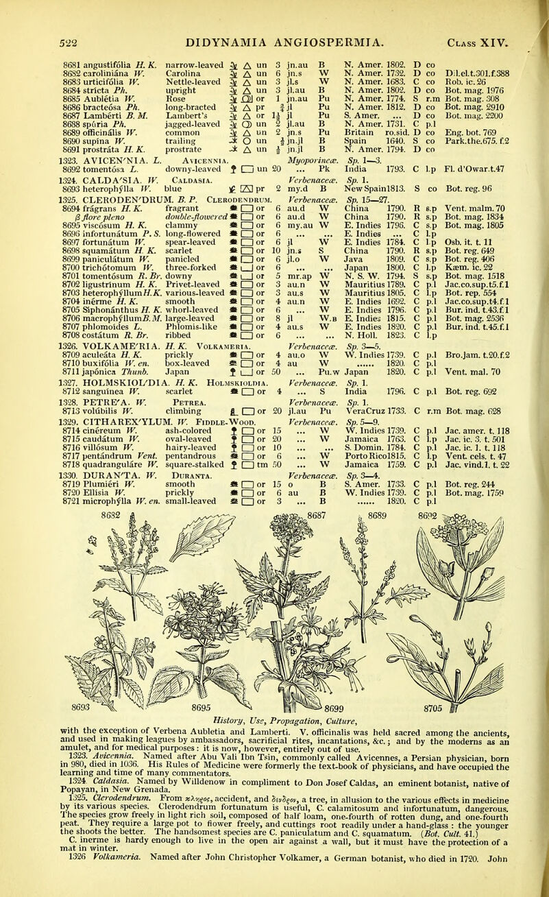 8681 angustifolia H. K. 86S2 caroliniana W. 8683 urticifolia W. 8684 strlcta Ph. 8685 Aubletia W. 8686 bracteosa Ph. 8687 Lamberti B. M. 8688 spuria Ph. 8689 officinalis W. 8690 sup'ma W. 8691 prostrata H. K. 1323. AVICEN'NIA. L. 8692 tomentosa i. 1324. CALDA'SIA. W. 8693 heterophylla W. narrow-leaved 3l A un Carolina ^ A un Nettle-leaved ^! i un upright ^ A »» Rose ^ £21 or long-bracted 3t A pr Lambert's ^ A or jagged-leaved ^ Q) un common ^ A un trailing -* O un prostrate -* A un Avicennia. downy-leaved J □ un Caldasia. blue )£ El pr 1325. CLERODEN'DRUM. B. P. Cleuodendrum. 8694 fragrans H. K. fragrant * □ or /S fiore pleno double-flowered * □ or 8695 viscosum H. K. clammy * □ or 8696 infortunatum P. S. long-flowered fll □ or 8697 fortunatum IV. spear-leaved * □ or 8698 squamatum H. K. scarlet * □ or 8699 paniculatum W. panicled * O or 8700 trichotomum W. three-forked * I | or 8701 tomentosum R. Br. downy * i | or 8702 ligustrlnum H. K. Privet-leaved ml I or 8703 heterophyllum//..K. various-leaved » O or 8704 inerme H. K. smooth « □ or 8705 Slphonanthus H. K. whorl-leaved ai □ or 8706 macroph yllum5.il/. large-leaved * □ or 8707 phlomo'ides L. Phlomis-like * □ or 8708 costatum R. Br. ribbed at □ or 1326. VOLKAME'RIA 8709aculeata H. K. 8710 buxifolia W. en. 8711 japonica Thunb. 1327. HOLMSKIOL'DI A. H. K. 8712 sanguinea W. scarlet H. K. VOLKAMERIA. prickly * □ or box-leaved as □ or Japan J i | or HOLMSKIOLDIA. * □ or 1328. PETRE'A. W. Petrea. 8713 vollibilis W. climbing fl I I or 1329. CITHAREX'YLTJM. W. Fiddle-Wood. 8714 cinereum W. ash-colored J □ or 8715 caudatum W. oval-leaved T O or 8716 villosum W. hairy-leaved J □ or 8717 pentandrum Vent, pentandrous *l □ or 8718 quadrangulare W. square-stalked J □ tm 1330. DURAN'TA. W. DtJRANTA. 8719 Plumieri W. smooth * I—I or 8720 Ellisia W. prickly ail—I or 8721 microphjlla W. en. small-leaved St □ or jn.au jn.s jls jl.au jn.au jl jl jl.au jn.s jn.jl jn.jl Myoporinece. ... Pk Verbenacece. my.d B Verbenacece. au.d W au.d W my.au W B W w B Pu Pu Pu B Pu B B N. Amer. N. Amer. N. Amer. N. Amer. N. Amer. N. Amer. S. Amer. N. Amer. Britain Spain N. Amer. Sp. 1—3. India 1802. 1732. 1683. 1802. 1774. 1812. 1731. ro.sid. 1640. 1794. D co D co Dil.el.t.301.f.388 C co Rob. ic. 26 D co Bot. mag. 1976 S r.m Bot. mag. 308 D co Bot. mag. 2910 D CO Bot. mag. 2200 C p.l D co S co D co Eng. bot. 769 Park.the.675. f.2 1793. C l.p PL d'Owar.t.47 jl jn.s jl.o W s w mr.ap W au.n W W W W W.B W au.s au.n Jl au.s Sp. 1. NewSpainl813. Sp. 15—27. China 1790. China 1790. E.Indies 1796. E. Indies E. Indies 1784. China 1790. Java 1809. Japan 1800. N. S. W. 1794. Mauritius 1789. Mauritius 1805. E. Indies 1692. E. Indies E. Indies E. Indies N. Holl. S co Bot. reg. 96 R sp R s.p C s.p C l.p C l.p R s.p C s.p 1796. 1815. 1820. 1823. Vent. malm. 70 Bot. mag. 1834 Bot. mag. 1805 Osb. it. 111 Bot. reg. 649 Bot. res. 406 Ka;m. ic. 22 Bot. mag. 1518 Jac.co.sup.t5.f.l Bot. rep. 554 Jac.co.sup.t4.f.l Bur. ind. t.43.f.l Bot. mag. 2536 Bur. ind. t.45.f.l Verbenacece. au.o W au W Pu.w Verbenacece. ... S Verbenacece. jl.au Pu Verbenacece. ... W ... w w ... w Verbenacece. o B au B ... B Sp. 3—5. W. Indies 1739. 1820. Japan 1820. Sp. 1. India 1796. Sp. 1. VeraCruz 1733. Sp. 5—9. W. Indies 1739. Jamaica 1763. S. Domin. 1784. Porto Ricol815. Jamaica 1759. Sp. 3—4. S. Amer. 1733. W. Indies 1739. 1820. C p.l Bro.jam. t.20.f.2 C p.l C p.l Vent mal. 70 C p.l Bot. reg. 692 C r.m Bot. mag. 628 Jac. amer. 1.118 Jac. ic. 3. t. 501 Jac. ic. 1. 1.118 Vent eels. t. 47 Jac. vind.l. t. 22 C p.l Bot reg. 244 C p.l Bot. mag. 1759 C p.l 8695 ^ 1| 8699 History, Use, Propagation, Culture, with the exception of Verbena Aubletia and Lamberti. V. officinalis was held sacred among the ancients, and used in making leagues by ambassadors, sacrificial rites, incantations, &c.; and by the moderns as an amulet, and for medical purposes : it is now, however, entirely out of use. 1323. Avicennia. Named after Abu Vali Ibn Tsin, commonly called Avicennes, a Persian physician, born in 980, died in 1036. His Rules of Medicine were formerly the text-book of physicians, and have occupied the learning and time of many commentators. 1324 Caldasia. Named by Willdenow in compliment to Don Josef Caldas, an eminent botanist, native of Popayan, in New Grenada. 1325. Clerodendrum. From xX-cieof, accident, and Suieov, a tree, in allusion to the various effects in medicine by its various species. Clerodendrum fortunatum is useful, C. calamitosum and infortunatum, dangerous. The species grow freely in light rich soil, composed of half loam, one-fourth of rotten dung, and one-fourth peat. They require a large pot to flower freely, and cuttings root readily under a hand-glass : the younger the shoots the better. The handsomest species are C. paniculatum and C. squamatum. {Bot. Cult 41) C. inerme is hardy enough to live in the open air against a wall, but it must have the protection of a mat in winter. 1326 Volkameria. Named after John Christopher Volkamer, a German botanist, who died in 1720. John