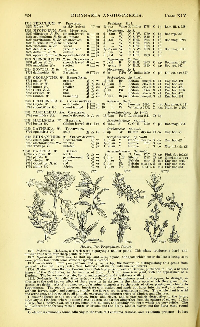 1331. PEDA'LIUM. IV. Pedalium. 8722 Murex W. prickly-fruited cu 1332. MYOPO'RUM. Forst. Mvoporum. 8723 ellipticum R. Br. smooth-leaved «i , | or 8724 acuminatum R. Br. acuminate ** i ) pr 8725 parvif61ium R. Br. small-leaved *t \ I pr 8726 tuberculatum R.Br, tubercled « i I pr 8727 viscosum R. Br viscid * i I pr 8728 debile R. Br. procumbent «s i | pr 8729 diffusum R. Br. diffuse « i I pr 8730 oppositifolium R ifr.opposite-leav'd * i | pr 1333. STENOCHI'I US. R.Br. Stenochilus. 8731 glaber R. Br. 8732 maculatus Kei 1334. BON'TIA. R. Bu 8733 daphnoides IV. smooth-leaved spotted Bontia. Barbadoes I or □ or 6 jn Pedalince. Sp. 1 1| au.s W.pu E. Myoporince. 2 ja.mr W 3 ... W 3 ja.d W 3 ... W 3 ... W \ \ iny.au W 3 f.au W 3 ja.d W Myoporince. 2 ja.d R 3 ap.my S Myoporince. Sp. N. N. N. N. N. N. N. N. Sp. N. N. Sp. Indies 1778. C l.p S. W. S. W. Holl. Holl. Holl. S. W. Holl. Holl. 2—3. Holl. Holl. 1 Indies 17S9. C 1812. C 1803. C 1803. C 1803. C 1793. C ... C 1803. C 1803. 1820. Lam. 111. t. 538 Bot. rep. 283 Bot. mag. 1693 Bot. mag. 1830 Bot. mag. 1942 Bot. reg. 647 uue. ap. l. Y.Pu W. Indies 1690. C p.l Dill.elt. t.49.f.57 1335. OROBAN'CHE. W. Broom-Rape. 8734 major W. 8735 elatior W. 8736 minor JV. 8737 r6bra E. B. 8738 ca?rulea W. 8739ram6sa W. greater taller smaller red blue branching £ A w £ A cu £ A cu £ A cu £ A cu £ A cu Orobanchece. IJjnjl Br 11 jl.au i jlan r JI au.s Y Y.w Pu V Sp. 6—20. Britain unc.pl. S Britain Britain Britain Britain clov.fi. S clov.fi. S ir.roc. S sea co. S 1336. CRESCEN'TI A. W. Calabash-Tree. 8740 Cujete W. oval-fruited J O cu 8741 cucurbitlna IV. round-fruited J □ cu 1337. CASTILLE'JA. Sm. Castilleja. 8742 sessiliflora Ph. sessile-flowered ^ A or 1338. HALLE'RIA. W. Halleria. 8743 lucida IV. shining-leaved it i | or 1339. LATHR^'A. W. Toothwort. 8744 squamaria IV. scaly £ A cu Br.pu Britain hempfi. S Solanece. Sp. 2. 10 ... W Jamaica 1690. C 10 ... W W. Indies 1733. C Scrophularinece. Sp. 1—10. ljjl.au Pa.Y Louisiana 1811. Eng. bot. 421 Eng. bot. 568 Eng. bot. 422 Eng. bot. 1786 Eng. bot. 423 Eng. bot. 184 r.m Jac. amer. till r.m Plum. ic. 1.109 D l.p C p.l Scrophularinece. Sp. 1—2. jn.au S C. G. H. 1752. Orobanchece. Sp. 1—3. ap Gr Britain dry wo. D co W. 1340. RHINAN'THUS. 8745 crista-galli IV. Cock's-comb 8746 alectorolophus Poll, wattled Yellow-Rattle. O w 8747 Trixago L. n: *1341. BART'SI A. §8748 coccinea W. 8749 pallida W. 8750 viscosa IV. 8751 Odontites H. K. 8752 alpina W. 8722 ^ ifc-s,, inflated Bartsia. scarlet pale-flowered yellow red Alpine O pr O l>r A or A or O or O or O or 8723 Scrophularinece. Sp. 3—10. 1 jn.au Y Britain mea.pa. S co 1| jn.au Y Europe 1820. S co 1 jn.au Y Europe ... S co Scrophularinece. Sp. 5—10. Bot. mag. 1744 Eng. bot. 50 Eng. bot. 6ff Mor.h.3. t.24. f.8 i jn.s i jl-au i jl.s a jl.au R.y N. Amer. 1787. D s.p Pluk.al. t.l02.f.5 L.P Siberia 1782. D s.p Gmel. sib.3. t. 24 Y Britain mar. S m.s Eng. bot. 1045 Pk Britain mea.pa. S co Eng. bot 1415 Pu Britain alp.riv. S m.s Eng. bot. 361 8725 8728 History, Use, Propagation, Culture, 1331. Pedalium. n^SaXiov, a Greek word signifying a nail or point. This plant produces a hard and nut-like fruit with four sharp points or horns. 1332. Myoporum. From (moi, to shut up, and m^o;, a pore; the spots which cover the leaves being, as it were, pores closed with some semi-transparent substance. 1333. Stenochilus. From rm>s, narrow, and %iikos, a lip; the narrow lip distinguishing this genus from some of its kindred. Very pretty New Holland small shrubs, with fine red flowers. 1334. Bontia. James Bont or Bontius was a Dutch physician, born at Batavia, published in 1658, a natural history of the East Indies, in the manner of Piso. A South American plant, with the appearance of a Daphne. The leaves are alternate, fleshy, and crenated, and the flowers axillary. 1335. Orobanche. So called from oecZos, a vetch, or other leguminous plant, and aj-re/i', to strangle, in allusion to the well known effect of these parasites in destroying the plants upon which they grow. The species are fleshy herbs of a russet color, fastening themselves to the roots of other plants, and chiefly to Leguminosa?. The root is tuberous, imbricate with scales, and sends out fibres into the soil; the stem is without leaves, scaly, and generally simple : the flowers are in terminating spikes. The whole plant is acrid and astringent, and rejected by all animals, excepting the minuter tribes of Cimices and Thripses. O. major adheres to the root of broom, furze, and clover, and is particularly destructive to the latter, especially in Flanders, where in some places it deters the farmer altogether from the culture of clover. It has a large, thick, fleshy, oval, scaly root, sometimes bulbous, and sending out fibres which are very brittle. The bulb adheres to the woody roots of furze or broom, and the fleshy root of clover, and the fibres clasp round them. O. elatior is commonly found adhering to the roots of Centaurea scabiosa and Trifolium pratense. It does