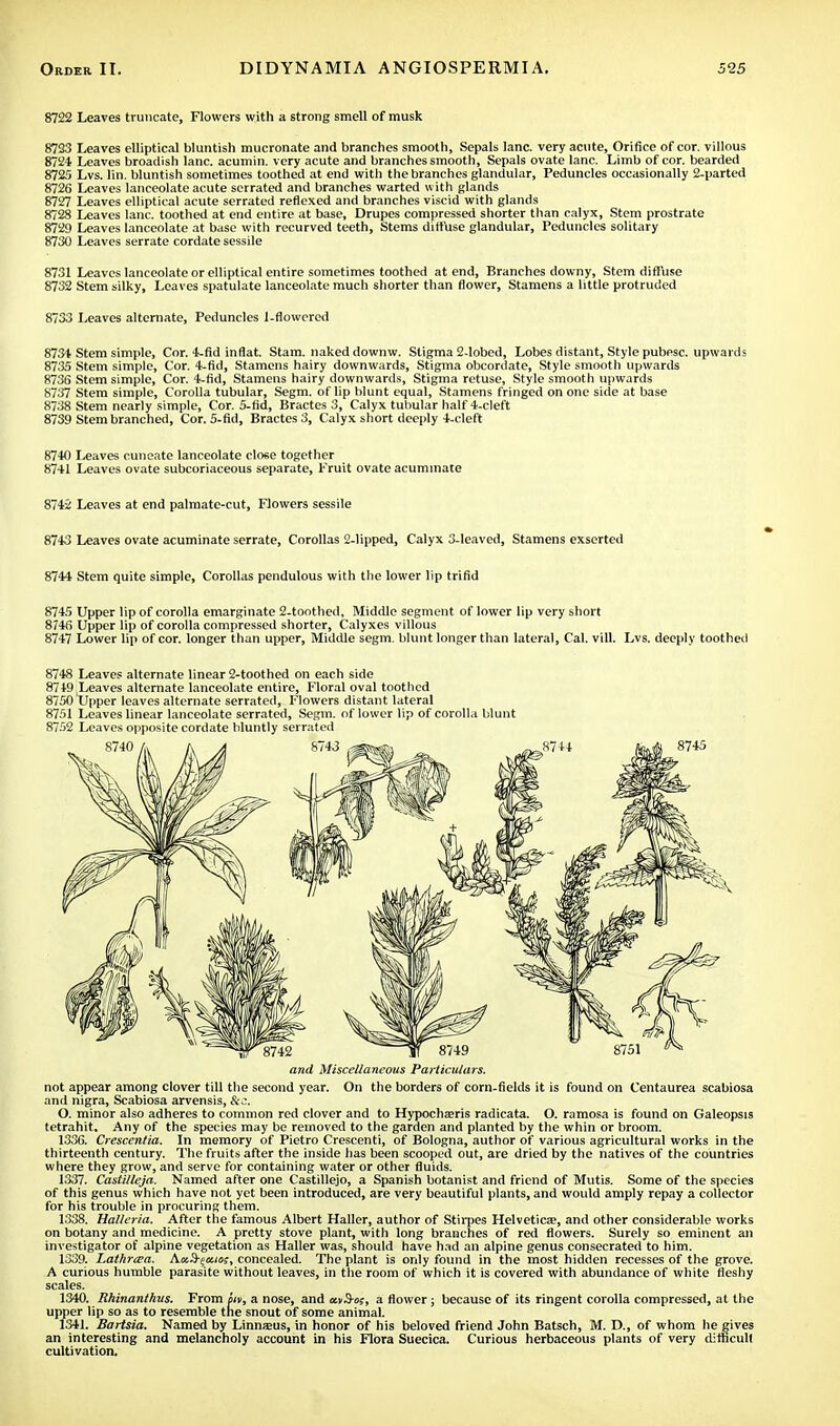 8722 Leaves truncate, Flowers with a strong smell of musk 8733 Leaves elliptical bluntish mucronate and branches smooth, Sepals lane, very acute, Orifice of cor. villous 8724 Leaves broadish lane, acumin. very acute and branches smooth, Sepals ovate lane. Limb of cor. bearded 8725 Lvs. I'm. bluntish sometimes toothed at end with the branches glandular, Peduncles occasionally 2-parted 8726 Leaves lanceolate acute serrated and branches warted with glands 8727 Leaves elliptical acute serrated reflexed and branches viscid with glands 8728 Leaves lane, toothed at end entire at base, Drupes compressed shorter than calyx, Stem prostrate 8729 Leaves lanceolate at base with recurved teeth, Stems diffuse glandular, Peduncles solitary 8730 Leaves serrate cordate sessile 8731 Leaves lanceolate or elliptical entire sometimes toothed at end, Branches downy, Stem diffuse 8732 Stem silky, Leaves spatulate lanceolate much shorter than flower, Stamens a little protruded 8733 Leaves alternate, Peduncles 1-flowcred 8734 Stem simple, Cor. 4-fid inflat. Stam. naked downw. Stigma 2-lobed, Lobes distant, Style pubesc. upwards 8735 Stem simple, Cor. 4-fid, Stamens hairy downwards, Stigma obcordate, Style smooth upwards R73B Stem simple, Cor. 4-fid, Stamens hairy downwards, Stigma retuse, Style smooth upwards 8737 Stem simple, Corolla tubular, Segm. of lip blunt equal, Stamens fringed on one side at base 8738 Stem nearly simple, Cor. 5-fid, Bractes 3, Calyx tubular half 4-cleft 8739 Stem branched, Cor. 5-fid, Bractes 3, Calyx short deeply 4-cleft 8740 Leaves cuneate lanceolate cle*e together 8741 Leaves ovate subcoriaceous separate, Fruit ovate acuminate 8742 Leaves at end palmate-cut, Flowers sessile 8743 Leaves ovate acuminate serrate, Corollas 2-lipped, Calyx 3-lcaved, Stamens exserted 8744 Stem quite simple, Corollas pendulous with the lower lip trifid 8745 Upper lip of corolla emarginate 2-toothed, Middle segment of lower lip very short 874li Upper lip of corolla compressed shorter, Calyxes villous 8747 Lower lip of cor. longer than upper, Middle segm. blunt longer than lateral, Cal. vill. Lvs. deeply toothed 8748 Leaves alternate linear 2-toothed on each side 8749 Leaves alternate lanceolate entire, Floral oval toothed 8750 Upper leaves alternate serrated, Flowers distant lateral 8751 Leaves linear lanceolate serrated, Segm. of lower lip of corolla blunt 8752 Leaves opposite cordate bluntly serrated and Miscellaneous Particulars. not appear among clover till the second year. On the borders of corn-fields it is found on Centaurea scabiosa and nigra, Scabiosa arvensis, &o. O. minor also adheres to common red clover and to Hypochasris radicata. O. ramosa is found on Galeopsis tetrahit. Any of the species may be removed to the garden and planted by the whin or broom. 133G. Crescentia. In memory of Pietro Crescenti, of Bologna, author of various agricultural works in the thirteenth century. The fruits after the inside has been scooped out, are dried by the natives of the countries where they grow, and serve for containing water or other fluids. 1337. Castilleja. Named after one Castillejo, a Spanish botanist and friend of Mutis. Some of the species of this genus which have not yet been introduced, are very beautiful plants, and would amply repay a collector for his trouble in procuring them. 1338. Halleria. After the famous Albert Haller, author of Stirpes Helvetica?, and other considerable works on botany and medicine. A pretty stove plant, with long branches of red flowers. Surely so eminent an investigator of alpine vegetation as Haller was, should have had an alpine genus consecrated to him. 1339. Lathraa. AxS-^aio;, concealed. The plant is only found in the most hidden recesses of the grove. A curious humble parasite without leaves, in the room of which it is covered with abundance of white fleshy scales. 1340. Rhinanthus. From »«, a nose, and xv&o;, a flower; because of its ringent corolla compressed, at the upper lip so as to resemble the snout of some animal. 1341. Bartsia. Named by Linnaeus, in honor of his beloved friend John Batsch, M. D., of whom he gives an interesting and melancholy account in his Flora Suecica. Curious herbaceous plants of very difficult cultivation.