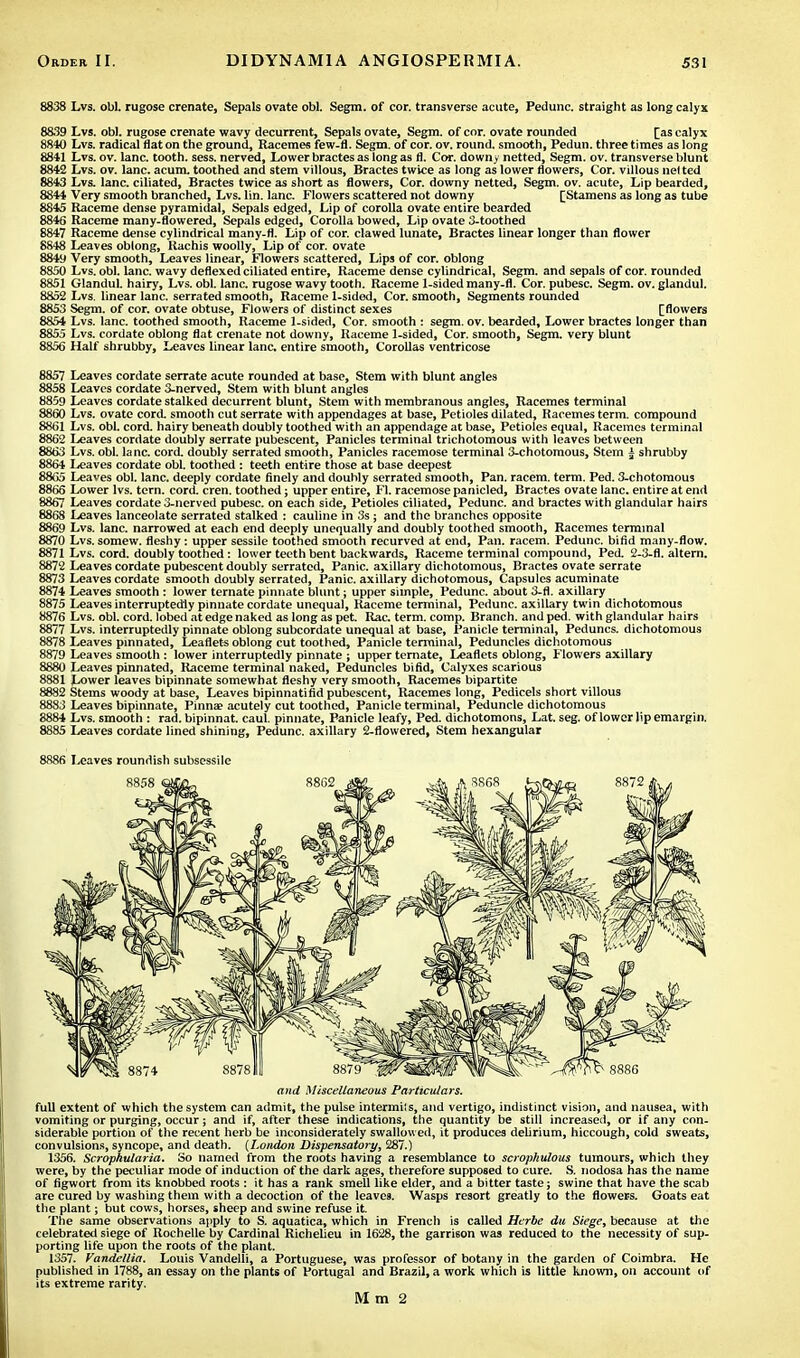 8838 Lvs. obi. rugose crenate, Sepals ovate obi. Segm. of cor. transverse acute, Pedunc. straight as long calyx 8839 Lvs. obi. rugose crenate wavy decurrent, Sepals ovate, Segm. of cor. ovate rounded [as calyx 8810 Lvs. radical flat on the ground, Racemes few-fl. Segm. of cor. ov. round, smooth, Pedun. three times as long 8841 Lvs. ov. lane, tooth, sess. nerved, Lower bractes as long as fl. Cor. downy netted, Segm. ov. transverse blunt 8842 Lvs. ov. lane. acum. toothed and stem villous, Bractes twice as long as lower flowers, Cor. villous nel ted 8843 Lvs. lane, ciliated, Bractes twice as short as flowers, Cor. downy netted, Segm. ov. acute, Lip bearded, 8844 Very smooth branched, Lvs. lin. lane. Flowers scattered not downy [Stamens as long as tube 8845 Raceme dense pyramidal, Sepals edged, Lip of corolla ovate entire bearded 8846 Raceme many-flowered, Sepals edged, Corolla bowed, Lip ovate 3-toothed 8847 Raceme dense cylindrical many.fl. Lip of cor. clawed lunate, Bractes linear longer than flower 8848 Leaves oblong, Rachis woolly, Lip of cor. ovate 8849 Very smooth, Leaves linear, Flowers scattered, Lips of cor. oblong 8850 Lvs. obi. lane, wavy deflexed ciliated entire, Raceme dense cylindrical, Segm. and sepals of cor. rounded 8851 Glandul. hairy, Lvs. obi. lane, rugose wavy tooth. Raceme 1-sided many-fl. Cor. pubesc. Segm. ov. glandul. 8852 Lvs. linear lane, serrated smooth, Raceme 1-sided, Cor. smooth, Segments rounded 8853 Segm. of cor. ovate obtuse, Flowers of distinct sexes [flowers 8854 Lvs. lane, toothed smooth, Raceme 1-sided, Cor. smooth : segm. ov. bearded. Lower bractes longer than 8855 Lvs. cordate oblong flat crenate not downy, Raceme 1-sided, Cor. smooth, Segm. very blunt 8856 Half shrubby, Leaves linear lane, entire smooth, Corollas ventricose 8857 Leaves cordate serrate acute rounded at base, Stem with blunt angles 8858 Leaves cordate 3-nerved, Stem with blunt angles 8859 Leaves cordate stalked decurrent blunt, Stem with membranous angles, Racemes terminal 8860 Lvs. ovate cord, smooth cut serrate with appendages at base, Petioles dilated, Racemes term, compound 8861 Lvs. obi. cord, hairy beneath doubly toothed with an appendage at base, Petioles equal, Racemes terminal 8862 Leaves cordate doubly serrate pubescent, Panicles terminal trichotomous with leaves between 8863 Lvs. obi. lane. cord, doubly serrated smooth, Panicles racemose terminal 3-chotomous, Stem £ shrubby 8864 Leaves cordate obi. toothed : teeth entire those at base deepest 8865 Leaves obi. lane, deeply cordate finely and doubly serrated smooth, Pan. racem. term. Ped. 3-chotomous 8866 Lower lvs. tern. cord. cren. toothed; upper entire, Fl. racemose panicled, Bractes ovate lane, entire at end 8867 Leaves cordate 3-ncrved pubesc. on each side, Petioles ciliated, Pedunc. and bractes with glandular hairs 8868 Leaves lanceolate serrated stalked : cauline in 3s ; and the branches opposite 8869 Lvs. lane, narrowed at each end deeply unequally and doubly toothed smooth, Racemes terminal 8870 Lvs. somew. fleshy: upper sessile toothed smooth recurved at end, Pan. racem. Pedunc. bifid many-flow. 8871 Lvs. cord, doubly toothed : lower teeth bent backwards, Raceme terminal compound, Ped. 2-3-fl. altern. 8872 Leaves cordate pubescent doubly serrated, Panic, axillary dichotomous, Bractes ovate serrate 8873 Leaves cordate smooth doubly serrated, Panic, axillary dichotomous, Capsules acuminate 8874 Leaves smooth : lower ternate pinnate blunt; upper simple, Pedunc. about 3-fl. axillary 8875 Leaves interruptedly pinnate cordate unequal, Raceme terminal, Pedunc. axillary twin dichotomous 8876 Lvs. obi. cord, lobed at edge naked as long as pet. Rac. term. comp. Branch, and ped. with glandular hairs 8877 Lvs. interruptedly pinnate oblong subcordate unequal at base, Panicle terminal, Peduncs. dichotomous 8878 Leaves pinnated, Leaflets oblong cut toothed, Panicle terminal, Peduncles dichotomous 8879 Leaves smooth: lower interruptedly pinnate ; upper ternate, Leaflets oblong, Flowers axillary 8880 Leaves pinnated, Raceme terminal naked, Peduncles bifid, Calyxes scarious 8881 Lower leaves bipinnate somewhat fleshy very smooth, Racemes bipartite 8882 Stems woody at base, Leaves bipinnatifid pubescent, Racemes long, Pedicels short villous 8883 Leaves bipinnate, Pinnae acutely cut toothed, Panicle terminal, Peduncle dichotomous 8884 Lvs. smooth : rad. bipinnat. caul, pinnate, Panicle leafy, Ped. dichotomons, Lat. seg. of lower lip emargin. 8885 Leaves cordate lined shining, Pedunc. axillary 2-flowered, Stem hexangular 8886 Leaves roundish subsessile and Miscellaneous Particulars. full extent of which the system can admit, the pulse intermiis, and vertigo, indistinct vision, and nausea, with vomiting or purging, occur; and if, after these indications, the quantity be still increased, or if any con- siderable portion of the recent herb be inconsiderately swallowed, it produces delirium, hiccough, cold sweats, convulsions, syncope, and death. (London Dispensatory, 287.) 1356. Scrophularia. So named from the roots having a resemblance to scrophulous tumours, which they were, by the peculiar mode of induction of the dark ages, therefore supposed to cure. S. nodosa has the name of figwort from its knobbed roots : it has a rank smell like elder, and a bitter taste; swine that have the scab are cured by washing them with a decoction of the leaves. Wasps resort greatly to the flowers. Goats eat the plant; but cows, horses, sheep and swine refuse it. The same observations apply to S. aquatica, which in French is called Herbe du Siege, because at the celebrated siege of Rochelle by Cardinal Richelieu in 1628, the garrison was reduced to the necessity of sup- porting life upon the roots of the plant. 1357. Vandellia. Louis Vandelli, a Portuguese, was professor of botany in the garden of Coimbra. He published in 1788, an essay on the plants of Portugal and Brazil, a work which is little known, on account of its extreme rarity.