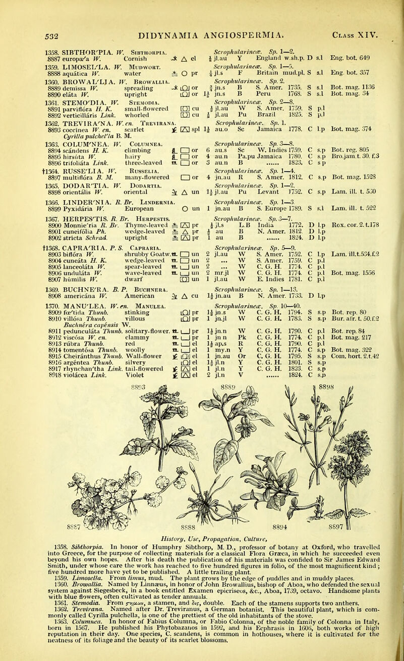1358. 8887 1359. 8888 1360. 8889 8890 1361. 8891 8892 1362. SIBTHOR'PIA. W. Sibthorpia. europaKa W. Cornish J: HMOSEL'LA. W. Mudwobt. aquatica W. water =fc BROWAL'LJA. IV. Browallia. demissa W. spreading -* elata W. upright STEMO'DI A. W. Stemodia. parviflora H. K. small-flowered A el O pr Scrophularinece. Sp. 1—2. tjl.au Y England w sh.p. D s.l Eng. bot. 649 1363. 8894 8895 8896 tl364. 8897 1365. verticillaris Link, whorled TREV1R A'NA. 1V.cn. Trevirana cocc'mea W. en. scarlet Cyrillapulchel'la B. M. COLUM'NEA. W. Columnea. scandens H. K. climbing ScrophularinetE. Sp. 1—5. jl.s F Britain mud.pl. S s.l Eng. bot. 357 Scrophularinece. Sp. 2. jn.s B S. Amer. 1735. S s.l Bot. mag. 1136 jn.s B Peru 1768. S s.l Bot. mag. 34 Scrophularinece. Sp. 2—8. jl.au W S. Amer. 1759. S p.l jl.au Pu Brazil 1825. S p.l Scrophidarinece. Sp. 1. £ CZS spl 1J au.o Sc Jamaica 1778. C l.p bot. mag. 374 iQl or lO or O cu K3 cu hirsuta W. trifoliata Link. RUSSE'LIA. W. multi flora B. M. DODAR'TIA. W. orientalis TV. hairy three-leaved Russelia. many-flowered Dodartia. oriental £fc □ or □ or □ or I | or A un O un G3 pr A pr CZ3l>r O un a. □ un tt. | | un n. i | un rm un 1369. BUCHNE'R A. B. P. Buchnera. 8908 americana W. American ^ A cu 1366. LINDER'NIA. R.Br. Linoernia. 8899 Pyxidaria W. European 1367. HERPES'TIS. R. Br. Herpestis. 8900 Monnie'ria R. Br. Thyme-leaved i 8901 cuneifolia Ph. wedge-leaved i 8902 strlcta Schrad. upright * tl368. CAPRA'RI A. P. S. Capraria. 8903 biflora W. shrul)by Goatw.a. 8904 cuneata H. K. v> edge-leaved n. 8905 lanceolata W. spear-leaved tt 8906 undulata W. wave-leaved tt- 8907 humilis W. dwarf Scrophularinece. Sp. 3—8. 6 au.s Sc W. Indies 1759. 4 au.n Pa.pu Jamaica 1780. 3 au.n B 1823. Scrophularinece. Sp. 1—4. 4 jn.au R S. Amer. 1812. Scrophularinece. Sp. 1—2. 1^ jl.au Pu Levant 1752. Scrophularinece. Sp. 1—3. 1 jn.au B S. Europe 1789. Scrophularinece. Sp.3—7. J jl.s L.B India 1772. i au B N. Amer. 1812. 1 au B 1824. Scrophularinece. Sp. 5—9. jl.au W S. Amer. 1752. ... W S. Amer. 1759. ... W C. G. H. 1774. mr.jl W C. G. H. 1774. jl.au W E. Indies 1781. 1370. 8909 8910 8911 8912 8913 8914 8915 8916 8917 8918 MANU'LEA. IV. en. Manulea. fce'tida Thunb. stinking villosa Thunb. villous Buchnera capensis W. pedunculata Thunb. solitary-flower, viscosa W. en. clammy rubra Thunb. red tomentosa Thunb. woolly Cheiranthus Thunb. Wall-flower argentea Thunb. silvery rhynchan'tha Link, tail-flowered violacea Link. Violet lOJpr tt-l_Jpr tt-L_Jpr I el a-1 | el £ cm el uQJel £ EJel f 1A1 el Scrophularinece. Sp. 1—13. \\ jn.au B N. Amer. 1733. Scrophularinece. Sp. 10—40. ljjn.s W 1 jn.jl W 1794. 1783 C s.p Bot. reg. 805 C s.p Bro.jam.t. 30. f.3 C s.p C s.p Bot. mng. 152S C s.p Lam. ill. t. 530 S s.l Lam. ill. t. 522 D l.p Rox. cor. 2. t.178 D l.p D l.p C l.p Lam. ill.t.534.f.2 C p.l C p.l C p.l Bot. mag. 1556 C p.l D Lp S s.p Bot. rep. 80 S s.p Bur. air. t. 50.T.2 p.l Bot. rep. 84 p.l Bot. mag. 217 p.l s.p Bot. mag. 322 s.p Com. hort. 2.t.42 s.p s.p s.p 8887 ' History^ Use, Propagation, Culture, 1358. Sibthorpia. In honor of Humphry Sibthorp, M. D., professor of botany at Oxford, who travelled into Greece, for the purpose of collecting materials for a classical Flora Graeca, in which he succeeded even beyond his own hopes. After his death the publication of his materials was confided to Sir James Edward Smith, under whose care the work has reached to five hundred figures in folio, of the most magnificent kind ; five hundred more have yet to be published. A little trailing plant. 1359. Limosella. From limus, mud. The plant grows by the edge of puddles and in muddy places. 1360. Browallia. Named by Linnaeus, in honor of John Browallius, bishop of Aboa, who defended the sexual system against Siegesbeck, in a book entitled Examen epicriseos, &c, Aboa, 1739, octavo. Handsome plants with blue flowers, often cultivated as tender annuals. 1361. Siemodia. From rvfiuv, a stamen, and Sis, double. Each of the stamens supports two anthers. 1362. Trevirana. Named after Dr. Treviranus, a German botanist. This beautiful plant, which is com- monly called Cyrilla pulchella, is one of the prettiest of the old inhabitants of the stove. 1363. Columnea. In honor of Fabius Columna, or Fabio Colonna, of the noble family of Colonna in Italy, born in 1567. He published his Phytobazanos in 1592, and his Ecphrasis in 1606, both works of high reputation in their day. One species, C. scandens, is common in hothouses, where it is cultivated for the neatness of its foliage and the beauty of its scarlet blossoms.