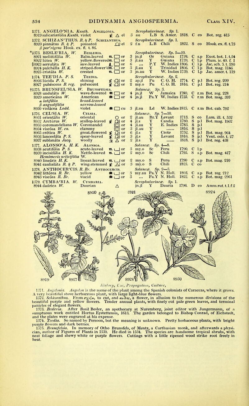 1371. ANGELO'NIA. Kunth. Angelonia. 8919salicariaefolia Kunth. violet £ A el 1372. SCHIZAN'THUS. R.tyP. Schizanthus. 8920 pinnatus R. & P. pinnated r}J el (Z por'rigens Hook. ex. fl. t. 86. *1373. BESLE'RIA. W. Besleria. 8921 melittifolia W. Balm-leaved a. □ or 89221iitea W. yellow-floweredtt. □ or Scrophularinece. Sp. 1. 3 au L.B S. Amer. 1818. C co Scrophularinece. Sp. 1. 2 f.n L.B Chili 1822. S co t serrulata W. 8924 pulchella H. K. 8925 cristata W. 1374. TEE'DIA. P. S. 8926 lficida P. S. 8927 pubescens B. reg. saw-leaved CD or striped-flower'da. □ or crested «. □ or Teedia. shining ]£ QJ or pubescent )f OJ or 11375. BRUNSFEI/SIA. W. Brunsfelsia. 8928 undulata W. wave-flowered <* □ or 8929 americana W. American *s □ or a, latifdlia broad-leaved (Z angustifolia narrow-leaved 8930 violacea Lodd. violet # O cu 1376. CEL'SIA. W. Celsia. 8931 orientalis W. oriental O or 8932 Arcturus W. scallop-leaved ]£ £21 or 8933 coromandeliana W. Coromandel [O or 8934 viscosa W. en. clammy O or 8935 cretica W. great-flowered OM or 8936 lanceolata P. S. spear-leaved )C G)\ or 8937 sublanata Jacq. woolly 3e A or 1377. ALONSO'A. H. K. Alonsoa. 8938 acutifolia P. S. acute-leaved tt. i | or 8939 incisifolia H. K. Nettle-leaved a. i | or Hemimcris urlicifdlia W. 8940 linearis H. K. linear-leaved tt. i_J or 8941 caulialata R. If P. wing-stemmed )g or 1378. ANTHOCER'CIS. R.Br. Anthocercis. 8942 littorea R. Br. yellow *i | or 8943 viscosa R. Br. viscid M \ | or 1379. CYMBA'RIA. IV. Cyjibaria. 8944 daurica W. Daurian A Scrophularinete. Sp. 5—10. jn.jl Or Guiana 1739. jl.au Y Guiana 1739. ... P.Y W. Indies 1806. jl.au Y Trinidad 1806. jn.au Y W. Indies 1739. Scrophularinece. Sp. 2. ap.jl Pu C. G. H. 1774. my.o Pu C. G. H. 1816. Solanece. Sp. 3. jn.jl W Jamaica 1780. jn.jl Pa.Y W. Indies 1735. Bot. reg. 415 Hook. ex. fl. t.73 Exot. bot. l.t.54 Plum. ic. 49. f. 1 Jac. sch. 3. t. 290 Bot. mag. 1146 Jac. amer. 1.119 3 jl.au Lc W. Indies 1815. C Solanete. Sp. 7—10. 3 jl.au jl.s Br.Y Levant 1713. s 4 Y Candia 1780. s 4 jl.au Y E. Indies 1783. s 3 jl.au Y 1816. s 6 jl.s Y Crete 1752. s 3 jLs Y Levant 1816. s 2 jl.s Y 1818. s Solanea:. Sp. 4—8. 3 my.o Sc Peru 1790. c 3 my.o Sc Chili 1795. s 2 my.o S Peru 1790 c 3 my.o s Chili 1823. c C p.l Bot. reg. 209 C p.l Bot. reg. 214 C r.m Bot. reg. 228 C r.m Bot. mag. 393 C r.m Bot. cab. 792 Lam. ill. t. 532 Bot. mag. 1962 Bot. mag. 964 Vent. eels. t. 27 Bot. reg. 438 Bot. mag. 417 Bot. mag. 210 Solancce. Sp. 2—3. my.au Pa.Y N. Holl. ... Pa.Y N. Holl. Scrophularinece. Sp. 1. jn.jl Y Dauria 1803. 1822. 1796. C s.p Bot. reg. 212 C s.p Bot. mag. 2961 D co Amm.rut,t.l.f.2 8924 History^ Lie, Propagation) Culture, 1371. Angclonia. Angelon is the name of the plant among the Spanish colonists of Caraccas, where it grows. A very beautiful stove herbaceous plant, with large light-blue flowers. 1372. Schixanthus. From 0x'i<*> to cut, and uy^os, a flower, in allusion to the numerous divisions of the beautiful purple and yellow flowers. Tender annual plants, with finely cut pale green leaves, and terminal panicles of elegant flowers. 1373. Besleria. After Basil Besler, an apothecary at Nuremberg, joint editor with Jungermann, of a sumptuous work entitled Hortus Eystettensis, 1613. The garden belonged to Bishop Conrad, of Eichstedt, and the plates were engraved at his expense. 1374. Teedia. So named by Persoon, but the meaning is unknown. Pretty herbaceous plants, with bright purple flowers and dark berries. 1375. Brunsfelsia. In memory of Otho Brunsfels, of Mentz, a Carthusian monk, and afterwards a physi- cian, author of Figures of Plants in 1530. He died in 1534. The species are handsome tropical shrubs, with neat foliage and shewy white or purple flowers. Cuttings with a little ripened wood strike root freely in heat.