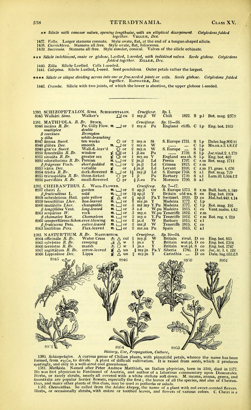 ** Silicle ivi/h concave valves, opening lengthwise, with an elliptical dissepiment. Cotyledons folded together. VellejE, Dec. 1437. Fella. Larger stamens connate. Style ovate, flat, at the end of a tongue-shaped silicle. 1438. Carrichtera. Stamens all free. Style ovate, flat, foliaceous. 1439. Succowia. Stamens all free. Style slender, conical. Valves of the silicle eehinate. *** Silicle indehiscent, ovate or globose, 1-celled, l-seeded, with indistinct valves. Seeds globose. Cotyledons folded together. ZillEjE, Dec. 1440. Zilla. Silicle 2-celled. Cells l-seeded. 1441. Calepina. Silicle 1-celled, 1-seed. Seed pendulous. Outer petals rather the largest. **** Silicle or silique dividing across into one or few-seeded joints or cells. Seeds globose. Cotyledons folded together. Raphane^, Dec. 1442. Crambe. Silicle with two joints, of which the lower is abortive, the upper globose l-seeded. 1380. SCHIZOPE'TALON. Sims. Schizopetalon. Cruciferce. 8945 Walkeri Sims. Walker's £11 cu 2 my.jl W 1381. MATHI'OLA. R, 8946 in'cana R. Br. multiplex $ coccinea y alba 8947 annua Sweet. 8948 glabra Dec. 8949 graj'ca Sweet. 8950 fenestralis R. Br. 8951 sinuata R. Br. 8952 odoratissima R. Br. fSfragrdns Fisch. 8953 varia Dec. 8954 tristis R. Br. 8955 tricuspidata R. Br. 8956parviflora R.Br. Br. Stock. Pu. Gilly Flow. ! double Brompton white-branching ten weeks smooth WaU-fl.-leav'd window freater sea 'ersian short-podded variable dark-flowered three-forked small-flowered Crucifera. 2 my.n Pu Sp. 1. Chili 1822. S p.l Bot. mag. 2S79 11—26. gland cliffs. C Lp Eng. bot. 1935 Sp. 11—26. En: O or £L | or O or Ql or Q> or 1 1 or tt. i | or £ or tt. L_J or O pr O pr 2 my.n 2 my.n 2 my.n 1 jl.au 1 my.au 2 jn.jl 2 jn.jl I jn.jl 1§ my.jl 1 jl ljl.au St W W Pu V Ld Ld Ld Ld Pu Pu S. Europe 1731. S C S. Europe ... S 1759. S England seash. S Persia 1797. C Crimea 1823. C Levant 1820. C S. Europe 1768. S Barbary 1739. S Morocco 1799. S Dalec.lug.802.tl Mo.ox.s.3. t8.f.2 1382. CHEIRAN'THUS. 8957 cheiri L. 0 fruticulosus L. 8958 ochroleficus Hall. 8959 tenuifolius Lher. 8960 mutabilis Lher. longifolius Vent. 8961 scoparius W. 0 chamteleo Ker. 8962 semperflorens Schon. fifrutescens Pers. 8963 linifolius Pers. L. Wall-Fi.ower. garden n. i_J or wild tt. i | or pale yellow ]£ A or fine-leaved it. i | or changeable tt. i | or long-leaved tt- \ | or rock tt. i | or Ckamteleon tt. i | or ever-blowing entire-leaved Flax-leaved Crucifera;. 2 ap.jl Or li ap.jl Y ap.jl my.jn tt-1 I or tt. i | or Sp. 7—17. S. Europe 1573. Britain old wa. Pa.Y Switzerl. 1820. Y Madeira 1777. mr.my Y.Pu Madeira s.d my.o my.o ja.d mr.jl mr.au Pu Spain 1777. W.pu Madeira 1815. W.pu Teneriffe 1812. Y.Pu Teneriffe 1812. W Barbary 1815. W Teneriffe 1815. 1815. l.p Jac.vind.2. t.179 l.p Eng. bot. 462 r.m Bot. mag. 1711 r.m r.m Fl. grax:. t. 636 s.l Bot. mag. 729 s.l Lam.ilL t:564.f.2 1.1 r.m Bull. herb. t. 349 co Eng. bot. 1934 co HaLheL449. t.14 1-P l.p Bot mag. 195 co Vent. malm, t.83 r.m r.m Bot. reg. t. 219 s.l co s.1 1383. NASTURTIUM. R. Br. Nasturtium. 8964 officinale R. Br. 8965 sylvestrc R. Br. 8966 terrestre R. Br. 8967 sagittatum R. Br. 8968 Lippizense Dec. 8945 Water Cress =fe A cul creeping ^ A w marsh i O w arrow-leaved j£ A n Lippa £ A un 8946 Cruciferce. 1 my.jl W 1 jn.s 1 jn.s 1 my.jn 7 my.jn Sp. 10—24. Britain rivul. D co Y Britain wat.pl. D co Y Britain wat.pl. S co Pa.Y Siberia 1780. D co Y Carinthia ... D co 8950 Eng. bot. 855 Eng. bot. 2324 Eng. bot. 1747 Jac. ic. 1. t. 122 Dale. lug.653.f.3 8951 8954 ^MC 8955, History, Use, Propagation, Culture, 1380. Schizopetalon. A curious genus of Chilian plants, with pinnatifid petals, whence the name has been formed, from trxii<*, to divide. A plant of difficult cultivation. It is raised from seeds, which it produces sparingly, and only in a well-aired cool greenhouse. 1381. Mathiola. Named after Peter Andrew Matthioli, an Italian physician, born in 1500, died in 1577 He was first physician to Ferdinand of Austria, and author of a laborious commentary upon Dioscondes Herbs, or rarely shrubs, nearly all covered with a white stellate soft down. M. incana, annua, graica and fenestralis are popular border flowers, especially the first; the leaves of all the species, and also of Cheiran- thus, and many other plants of this class, may be used as potherbs or salads. 1382. Cheira'nthus. So called from the Arabic kheyry, the name of a plant with red sweet-scented flowers Herbs, or occasionally shrubs, with entire or toothed leaves, and flowers of variouG colors. C. Cheiri is a