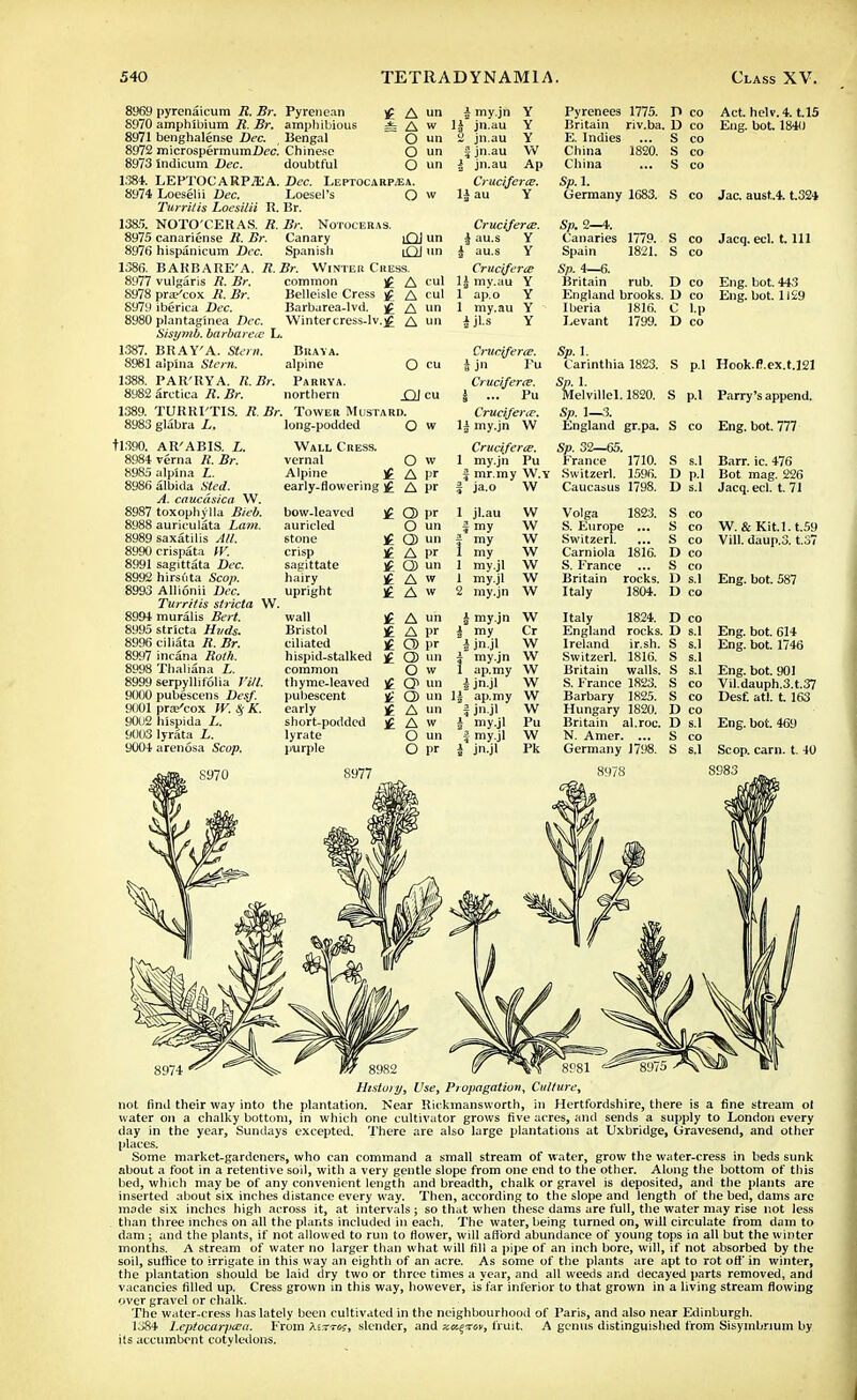8969 8970 8971 8972 8973 1384. 8974 1385. 8975 8976 1386. 8977 8978 8979 pyrenaicum R. Br. Pyrenean £ A un amphibium R. Br. amphibious ± A w benghalense Dec. Bengal O un microspermumDeci Chinese O un indieum Dec. doubtful O un 1387. LEPTOC ARP.SSA. Dec. Leptocarp^ea. Loeselii Dec. Loesel's O w Turritis Loesilii R. Br. NOTO'CERAS. R. Br. Notoceras. canariense R. Br. Canary |QJ un hispanicum Dec. Spanish iQJ un BARBARE'A. R.Br. Winter C it ess. vulgaris R. Br. common ]£ A Ctil praj'cox R. Br. Belleisle Cress £ A Qui iberica Dec. Barbarea-lvd. £ A un plantaginea Dec. Wintercress-lv.£ A un Sisymb. barbarece L. BRAY'A. Stern. Brava. alpma Stern. alpine O cu PAH'RYA. R.Br. Parrya. arctica R. Br. northern jQl cu TURRI'TIS. R. Br. Tower Mustard. 4 my.jn 1| jn.au 2 jn.au i jn.au i jn.au Crucifcrtu. U au Y Y Y Y W Ap Pyrenees 1775. D co Britain riv.ba. D co E. Indies China 1820. China Sp.l. Germany 1683. Act helv.4. t.15 Eng. bot. 1840 S co Jac. aust.4. t.324 1388. 8982 1389. 8983 glabra L long-podded O w tl390. 8990 8991 8992 8993 8994 8995 8996 8997 8998 8999 9000 9001 9002 9003 9004 AR'ABIS. L. verna R. Br. alpina L. albida Sted. A. caucasica W. toxophylla Bieb. auriculata Lam. saxatilis All. crispata W. sagittata Dec. hirsuta Scop. Allionii Dec. Turritis stricta W. muralis Bert. stricta Hvds. ciliata R. Br. incana Roth. Thaliana L. serpyllifolia Fill. pubescens Desf. pra/cox W. % K. hispida L. lyrata L. arenosa Scop. S970 Wall Cress. vernal O w Alpine }£ A VT early-flowering £ A pr Crucifercc. } au.s Y 4 au.s Y Cructferce 1| mv.au Y 1 ap'.o Y 1 my.au Y 4 j's Y Cruciferie. k J Yu Cruciferce. 1 ... Pu Crueijerce. \\ my.jn W Cruciferce. 1 my.jn Pu | mr.my W.y § ja.o W Sp. 2—4. Canaries 1779. Spain 1821. Sp. 4—6. Britain rub. England brooks. D co Iberia 1816. C l.p Levant 1799. D co D co Jacq. eel. t. Ill Eng. bot. 443 Eng. bot. 1129 Sp. 1. Carinthia 1823. Sp. 1. Melvillel. 1820. Sp. 1—3. England gr.pa. Sp. 32—65. France 1710. Switzerl. 1596. Caucasus 1798. Hook.fl.ex.t.121 Parry's append. S co Eng. bot. 777 Pi p.l S s.l D p.l D s.l bow-leaved auricled stone crisp sagittate hairy upright wall Bristol ciliated hispid-stalked common thyme-leaved pubescent early short-podded lyrate purple 8977 £ O) I>r O un ]£ Q) un £ A l>r If Q) un £ A w £ A w 1 jl.au I my f my 1 my 1 my.jl 1 my.jl W w w w w w A un A l>r CD l>r CD un O w Q> un CD un A un A w O un O pr 2 my.jn W £ my.jn W i my Cr I jn.jl W | my.jn W 1 ap.my W 4 jn.jl - 1| ap.my 1 jn jl 4 my.jl f my.jl 4 jn-jl Volga 1823. S. Europe ... Switzerl. Carniola 1816. S. France Britain rocks. D s.l Italy 1804. D co S co S co S co D co S co Barr. ic. 476 Bot mag. 226 Jacq. eel. t. 71 W. &Kit.l.t.59 Vill. daup.3. t.37 Eng. bot. 587 W W w I'll w Pk Italy 1824. England rocks. Ireland ir.sh. Switzerl. 1816. Britain walls. S. France 1823. Barbary 1825. Hungary 1820. Britain al.roc. N. Amer. ... Germany 1798. 8978 D co D s.l S s.l S S s.l S co S co D co D s.l S co S s.l Eng. bot. 614 Eng. bot. 1746 Eng. bot. 901 Vil.dauph.3.t.37 Desf. atl. 1163 Eng. bot. 469 Scop. cam. t. 40 8983 8982 W VJ 8981 History, Use, Propagation, Culture, not find their way into the plantation. Near Rickmansvvorth, in Hertfordshire, there is a fine stream ol water on a chalky bottom, in which one cultivator grows five acres, and sends a supply to London every day in the year, Sundays excepted. There are also large plantations at Uxbridge, Gravesend, and other places. Some market-gardeners, who can command a small stream of water, grow the water-cress in beds sunk about a foot in a retentive soil, with a very gentle slope from one end to the other. Along the bottom of this bed, which may be of any convenient length and breadth, chalk or gravel is deposited, and the plants are inserted about six inches distance every way. Then, according to the slope and length of the bed, dams are mode six inches high across it, at intervals ; so that when these dams are full, the water may rise not less than three inches on all the plants included in each. The water, being turned on, will circulate from dam to dam ; and the plants, if not allowed to run to flower, will afford abundance of young tops in all but the winter months. A stream of water no larger than what will fill a pipe of an inch bore, will, if not absorbed by the soil, suffice to irrigate in this way an eighth of an acre. As some of the plants are apt to rot off in winter, the plantation should be laid dry two or three times a year, and all weeds and decayed parts removed, and vacancies filled up. Cress grown in this way, however, is far inferior to that grown in a living stream flowing over gravel or chalk. The water-cress has lately been cultivated in the neighbourhood of Paris, and also near Edinburgh. 1384 l.eptocarpcea. From terras, slender, and fruit. A genus distinguished from Sisymbrium by ils accumbent cotyledons.