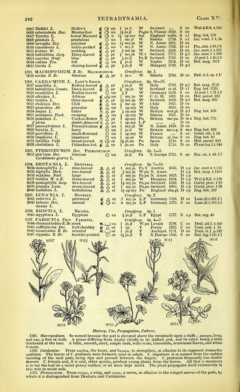 9005 Halleri L. 9006 cebennensis Dec. 9007 Turrita L. 9008 pendula L. 9009 laevigata Dec. 9010 canadensis L. 9011 nutans W. • 9012 bellidifolia Jacq. 9013 cajrulea Wulf. 9014colllna Ten. 9015 lficida L. Haller's £ Montpellier ]£ tower Mustard ]£ pendulous polished sickle-podded nodding Daisy-leaved blue hill shining-leaved j£ O un Q) un Q) w O un A un A un A pr A pr A pr A u A I>r jn.il jn.jl ap.my my.jl my.jn my.jl mr.ap my.jn jn.jl jn.jl jn.jl W Switzerl. ... Pa,pu & France 1820. Sul England walls. Siberia 1759. N. Amer. 1821. N. Amer. 1768. Switzerl. 1658. Switzerl. 1773. Pa.B Switzerl. 1793. W Naples 1824. W Hungary 1790. W W w w W.v S co S co S s.l S s.l D co D s.l D co D p.l D co D co D p.l Wal.&Kit. t.120 Eng. bot. 178 Jac. vind.3. t.34 Plu.alm.t.86.f.8 Jac. aust.3. t.281 Jac. aust.3. t.280 Al.ped.l. t.40.f.2 Bot. mag. 3021 1391. MACROPO'DIUM. R. Br. Macropodium. 9016 nivale R. Br. Siberian £ A P' 1392. CARDA'MINE. L. 9017 asarifolia L. 9018 bellidifolia Crantz. 9019 resedifolia L. 9020 africana L. 9021 trifolia L. 9022 chilensis Dec. 9023 granulosa All. 9024 amara L. 9025 prorepens Fisch. 9026 pratensis L. /3 plena 9027 pennsylvanica L. 9028 hirsuta L. 9029 parviflora L. 9030 impatiens L. 9031 latifolia Vahl. 9032 chelidonia L. Lady's Smock. Kidney-leaved Daisy-leaved Rocket-leaved African three-leaved Chili granular bitter * creeping jg Cuckoo-flower ^= double-flowered =t Pennsylvanian )£ hairy small-flowered impatient broad-leaved * Celandine-lvd. ]g A pr A pr 0 un 1 A| un A pr W W w A un O un O un O un Q> or A or 1393. PTERONEU'RON. Dec. Pteroneuron. 9033 graj'cum Dec. Grecian O un Cardamine grce'ca L. 1394. DENTA'RIA. L. Dentaria. 9034 enneaphylla Z. nine-leaved A 9035 diph^lla Mich. two-leaved A 9036 maxima Nutt. large & 9037 trifolia W. % K. three-leaved A 9038 pentaphylla Scop, five-leaved A 9039 pinnata Lam. seven-leaved & 9040 bulbifera L. bulbiferous A 1395. LUNA'RIA. L. Honesty. 9041 rediviva L. perennial j£ 9042 biennis Dec. annual £ annua L. 1396. RICO'TIA. L. Ricotia. 9043 Eegyptlaca L. Egyptian 1397. FARSE'TI A. Turr. Farsetia. 9044 cheiranthoSdesTJ.^r.stock «. 9045 suffrutici'jsa Dec. half-shrubby ^ 9046 lunarioides R. Br. oriental a. 9047 clypeata R. Br. buckler-podded Crucijerte. 1 jn.s W Crucijerte. i jn.jl W i apjn 4 ji 1 my.jn H mr.ap W 4 mr ap W 1 ap.my W \ ap.my W h ap.my W 1 ap.my Pu 1 ap.my L.P 1 my.jn W 1 ja.d W 1 ap.my \V 1 ap.jn W lijn.au Pu 1 jn.au Pu Cruciferte. jnjl Pa Sp. 1. Siberia 1796. Deo Pall. it.2.ap. t.U Sp. 16—55. Italy 1710. Scotland seal. Germany 1658. C. G. H. 1691. Switzerl. 1629. Chile 1825. Italy 1820. Britain wat.pl Siberia Britain 1821. me. pa. N. Amer. 1818. Britain mo.s.p. France Britain Spain Italy al. roc 1710. 1739. D p.l D s.l S co D co D p.l D co D co D p.l D co D m.s I) co D co S m.s S co S co S co D co Bot. mag. 1735 Eng. bot. 2355 Al.ped.l. t.57.f.2 Her. parad. 202 Bot. mag. 452 Eng. bot. 100 Eng. bot. 776 Eng. bot. 492 Gmel. sib. t. 04 Eng. bot. 80 Her. parad. 203 Pl.rar.hu.2.t.l40 Sp. 1—2. S. Europe 1710. S co Boc. sic. t. 44. f.2 A el A el A el A el A el A el A el A or Q) or O cu A or 1 I or O or Cruciferce. Sp. 7—16. 1 my.jn Pa.Y Austria 1656. D s.p Jac. aust.4. t.316 f my.jn W.pu N. Amer. D s.p Bot. mag. t.1465 2 my.jn Pa.pu N. Amer. 1823. D s.p 1 my.jn W Hungary 1824. D s.p Wal.&Kit. t.139 lj my.jn Pa.pu Switzerl. 1656. D s.p Garid. prov. t.29 1 my.jn Pa.pu Switzerl. 1683. D s.p Garid. prov. t.28 1| ap.my Pu England sha.pl. D s.p Eng. bot. 309 Cruciferce. Sp. 2. 3 my.jn L.P Germany 1596. D co Lam.ill.t561.f.l 4 my.jn L.P Germany 1570. S co Lam.ill.t.561.f.2 Cruciferce. Sp. 1. i jn.jl L.P Egypt Cruciferce. Sp. 4—7. 1 jn.jl W.pu Levant V Y Y 1757. S s.p Bot. reg. 49 1 ap 1 jn.jl 14 jn.jl 1788. Persia 1823. Archipel. 1731. S. Europe 1596. 9011 C co C co D co S co Desf. atl.2.1.160 Vent. eels. t. 19 Tour. it.l. p.242 Dal. lug.1141.fl 90i6 9018 History, Use, Propagation, Culture, 1391. Macropodium. So named because the pod is elevated above the receptacle upon a stalk ; /junxeos, long, and trm, a foot or stalk. A genus differing from Arabis chiefly in its stalked pod, and its calyx being a little I hickened at the base. A little, smooth, erect, simple herb, with ovate, lanceolate, acuminate leaves, and white flowers. 1392. Cardamine. From xatSm, the heart, and Ictfjutui, to strengthen, in allusion to its supposed stomachic qualities. The leaves of C. pratensis were formerly used in salads. C. impatiens is so named from the sudden (Hirsting of the seed pods, being ripe and pressed between the fingers. C. pratensis frequently has double flowers. C. hirsuta and, it is said, other species, produce young plants from the leaves. All that is necessary is to lay the leaf on a moist grassy surface, or on moss kept moist. The plant propagates itself extensively in this way in moist soils. 1393. Pteroneuron. From ■xnim, a wing, and vaien, a nerve, in allusion to the winged nerves of the pods, by which it is distinguished from Dentaria and Cardamine.