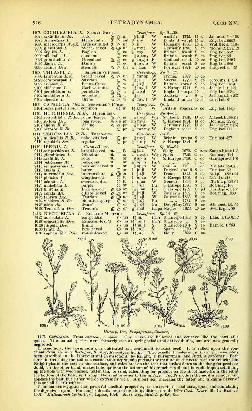 1407. COCHLEA'RIA. L. Scurvy Grass. saxatilis R. Br. rock Armoracia L. Horse-radish macrocarpa IV.SfK. large-capsuled glastifolia L. anglica L. officinalis L. gronlandica L. danica L. acaulis Desf. THLASPI. L. latifolium Bieb. ceratocarpon L. arvense L. alliaceum L. perfoliatum L. montanura L. alpestre L. 3i A un * A cul * A un iii Q) un O ec O ec 4Ak O ec 3l A un; O w O w O w 3t A w it Q) w 4 A* 9089 9090 9091 9092 9093 9094 9095 9096 1408. 9097 9098 9099 9100 9101 9102 9103 1409. 9104 1410. 9105 9106 9107 9108 1411. 9109 9110 tl412. 9111 9112 9113 9114 9115 9116 9117 9118 9119 9120 9121 9122 9123 9124 9125 9126 1413. BISCUTEL'LA. L. Buckler Mustard. 9127 9128 9129 9130 5)131 Woad-lcaved English common Greenland Danish stemless Shepherd's Purse broad-leaved ^ A un Siberian Penny-Cress Garlic-scented perfoliate mountain alpine CAPSEL'LA. Monch. Shepherd's Purse. bursa pastoris Mon. common O w HUTCHINSIA. R.Br. Hitchinsia. rotundifolia R. Br. round-leaved A pr stylosa Dec. long-styled Q) pr alpina R. Br. Alpine ^ A pr petrae'a R. Br. rock O pr TEESDA'LIA. R.Br. Teesdalia. nudicatolis R. Br. naked-stalked O pr regular O pr Candy-Tuft. broad-leaved tt- i | ft Gibraltar «- i I or rock «. or pubescent «- or narrow-leaved tt. bitter intermediate wing-leaved sweet-scented purple Flax-leaved ciliate-leaved Taurian blunt-lvd.-purp. Cruciferce. \ jn.jl W 3 my W 3 jl W \\ my.jl W \ my W £ ap.my W \ my.jn F 5 my.jn W \ ja.ap W Cruciferte. 1 mr.ap W 1| jl W i jn.jl W i my.jl W i ap.jl W i jl W J my.jl W Cruciferce. H f.n W Sp. 9—30. Austria 1775. England wat.pl. Hungary 1806. Germany 1648. Britain sea sh. Britain sea sh. Scotland sc. al. Britain seash. Portugal 1824. Sp. 7—17. Crimea 1822. Siberia 1779. Britain corn fi. S. Europe 1714. England sto.pa. Austria England m.pas. Sp. 1. Britain road si. D s.l D s.l D s.l S co S co S co D co S co D co D co S co S co S co D s.l S s.l D s.l Jac. aust. 2. U28 Eng. hot. 2223 Wal.&Kit. t.184 Mo.his.2. t.21.f.3 Eng. bot. 552 Eng. bot. 55 Eng. bot. 2403 Eng bot. 696 Jacq. eel. t. 132 Scop. ins. 1. t. 4 Eng. bot. 1659 Jac. ic. 1. 1.121 Eng. bot. 2354 Jac. aust.3. t.237 Eng. bot. 81 S co Eng. bot 1485 regularis Sm. IBE'RIS. L. semperflorens L. gibraltarica L. saxatilis L. pubescens W. sempervirens L. amara intermedia Dec. pinnata L. odorata L. umbellata L. linifolia L. ciliata All taurica Dec. violacea R. Br. nana All Tenoreana Dec. dwarf Tenore's O or £ CD or O ft O ft O or H Q> or jj Al or £ Q) or O or O or £ A or 1 auriculata L. I erigerifolia Dec. i hispida Dec. Ilyrata L. raphanifolia Poir. ear-poddtd Erigeron-leav'd hispid lyre-leaved radish-leaved O un O un O un O un O un Crucifercc Sp. 4—11. J my.jl W.pu Switzerl. 1759. 1 in my.jl W S. Europe 1824. \ ap.jn W Germany 1775. J mr.my W England rocks. Cruciferti. Sp. 2. | my.jl W Britain gra.pa. i f.my W S. Europe 1824. CruciferiE. Sp. 16—24. l|ja.d W Sicily 1679. 1 my.jn W.pk Spain 1732. | ap.jn W S. Europe 1739. i ap.jn Pa.V f ap.jn W Candia 1731. 1 jn.jl W England chal.fi. 1 jn.jl W France 1823. 1 jn.au W S. Europe 1596. 1 jl au W Geneva 1806. 1 jn.jl Pu S. Europe 1596. 1| jl.au Pu S. Europe 1759. | jn.jl W Caucasus 1802. f jn-.jl W Caucasus 1823. i jn.jl Pu 1782. i jn.jl Pu Dauphiny 1822. i jn.jl Pa.pu Naples 1823. CruciferiE. Sp. 14—25. ' jn.jl Pa.Y S. Europe 1683. Pa.Y S. Europe D co D co D co S co AU.ped.l.t.55.f.2 Bot. mag. 2772 Jac. aust.2.1.137 Eng. bot. Ill co Eng. bot. 327 co r.m jn.jl jn.jl jn.jl jn.jl S. Europe 1824. Spain 1799. Sicily 1822. C C c c c s s s s s C C S co S co S co D co S co S co S co S co S co 1>.1 Zanon.hist.t.165 Bot. mag. 124 Garid.prov.t.101 Riv. tetr. 224. f.2 Eng. bot. 52 Bul.ph. n.82.t.21 Lob. ic. 218 Clu.his.p,132.f.l Bot. mag. 106 Garid. pro. 1.105 Bot. mag. 1030 All. auct. t.2. f.l Swt. fl. gar. 88 Lam.ill.t.560.f.2 Barr. ic. t.230 9091 9093 .9099 History, Use, Propagation, Culture, 1407. Cochlearia. From cochlear, a spoon. The leaves are hollowed and concave like the bowl of a spoon. The annual species were formerly used as spring salads and antiscorbutics, but are now generally neglected. C. armoracia, the horse radish, is cultivated as a condiment to roast beef. It is called upon the con- tinent Cran, Cran de Bretagne, Baifort, Reeredyck, Sec. &c. Two excellent modes of cultivating it have lately been described in the Horticultural Transactions, by Knight, a nurseryman, and Judd, a gardener. Both agree in trenching the soil to a considerable depth, and putting the manure at the bottom of the trench; but Knight plants the sets on the surface, and calculates on the root that strikes down to the dung for produce. Judd, on the other hand, makes holes quite to the bottom of his trenched soil, and in each drops a set, filling up the hole with wood ashes, rotten tan, or sand, calculating for produce on the shoot made from the set at the bottom of the hole, up through the sand or ashes to the surface. Judd's mode is the most ingenious, and appears the best, but either will do extremely well. A moist soil increases the bitter and alkaline flavor of this and all the Cruciferae. Common scurvy-grass has powerful medical properties, as antiscorbutic and sialagogue, and stimulating the digestive organs. For ample details respecting its qualities, consult Wier Cochl. Descr. lib. 1.. Basilea?, 1567. MoelUnoroch Cochl. Cur., Lipsiar, 1674. Murr. App. Med. 2. p. 420, &c.