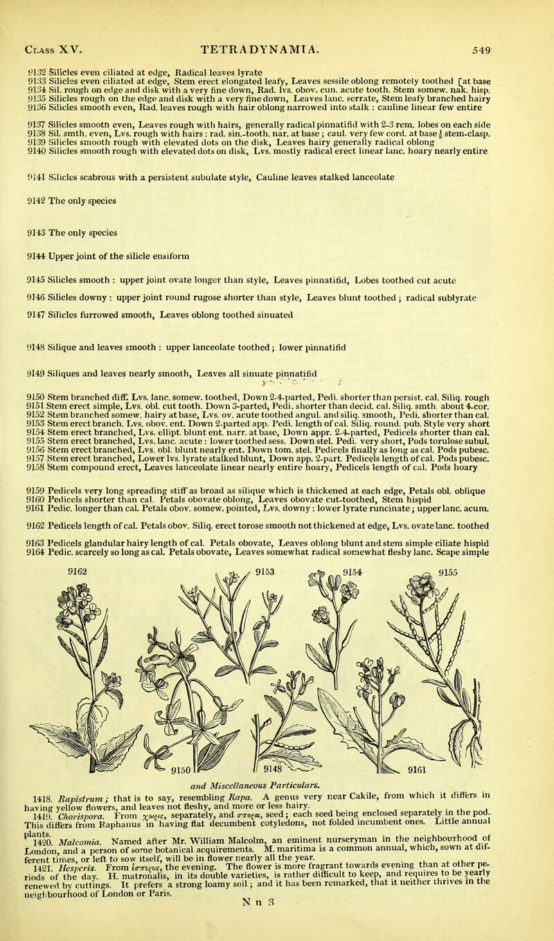 9132 Silicles even ciliated at edge, Radical leaves lyrate 9133 Silicles even ciliated at edge, Stem erect elongated leafy, Leaves sessile oblong remotely toothed Tat base 9131 Sil. rough on edge and disk with a very fine down, Rad. lvs. obov. cun. acute tooth. Stem somew. naK. hisp. 9!3S Silicles rough on the edge and disk with a very fine down, Leaves lane, serrate, Stem leafy branched hairy 9136 Silicles smooth even, Rad. leaves rough with hair oblong narrowed into stalk : cauline linear few entire 9137 Silicles smooth even, Leaves rough with hairs, generally radical pinnatifid with 2-3 rem. lobes on each side 9138 Sil. smth. even, Lvs. rough with hairs: rad. sin.-tooth, nar. at base; caul, very few cord, at base | stem-clasp. 9139 Silicles smooth rough with elevated dots on the disk, Leaves hairy generally radical oblong 9140 Silicles smooth rough with elevated dots on disk, Lvs. mostly radical erect linear lane, hoary nearly entire 9141 Silicles scabrous with a persistent subulate style, Cauline leaves stalked lanceolate 9142 The only species 9143 The only species 9144 Upper joint of the silicle ensiform 9145 Silicles smooth : upper joint ovate longer than style, Leaves pinnatifid, Lobes toothed cut acute 9146 Silicles downy : upper joint round rugose shorter than style, Leaves blunt toothed ; radical sublyrate 9147 Silicles furrowed smooth, Leaves oblong toothed sinuated 9148 Silique and leaves smooth : upper lanceolate toothed; lower pinnatifid 9149 Siliques and leaves nearly smooth, Leaves all sinuate pinnatifid j»V?  ' ' -' 9150 Stem branched cliff. Lvs. lane, somew. toothed, Down 2-4-parted, Pedi. shorter than persist, cal. Siliq. rough 9151 Stem erect simple, Lvs. obi. cut tooth. Down 3-parted, Pedi. shorter than decid. cal. Siliq. smth. about 4-cor. 9152 Stem branched somew. hairy at base, Lvs. ov. acute toothed angul. and siliq. smooth, Pedi. shorter than cal. 9153 Stem erect branch. Lvs. obov. ent. Down 2-parted app. Pedi. length of cal. Siliq. round, pub. Style very short 9154 Stem erect branched, Lvs. ellipt. blunt ent. narr. at base, Down appr. 2-4-parted, Pedicels shorter than cal. 9155 Stem erect branched, Lvs. lane, acute: lower toothed sess. Downstel. Pedi. very short, Pods torulose subuL 9156 Stem erect branched, Lvs. obi. blunt nearly ent. Down torn. stel. Pedicels finally as long as cal. Pods pubesc. 9157 Stem erect branched, Lower lvs. lyrate stalked blunt, Down app. 2-part. Pedicels length of cal. Pods pubesc. 9158 Stem compound erect, Leaves lanceolate linear nearly entire hoary, Pedicels length of cal. Pods hoary 9159 Pedicels very long spreading stiff as broad as silique which is thickened at each edge, Petals obi. oblique 9160 Pedicels shorter than cal. Petals obovate oblong, Leaves obovate cut-toothed, Stem hispid 9161 Pedic. longer than cal. Petals obov. somew. pointed, Lvs. downy: lower lyrate runcinate; upper lane. acum. 9162 Pedicels length of cal. Petals obov. Siliq. erect torose smooth not thickened at edge, Lvs. ovate lane, toothed 9163 Pedicels glandular hairy length of cal. Petals obovate, Leaves oblong blunt and stem simple ciliate hispid 9164 Pedic. scarcely so long as cal. Petals obovate, Leaves somewhat radical somewhat fleshy lane. Scape simple 9162 and Miscellaneous Particulars. 1418. Eapistrum; that is to say, resembling Rapa. A genus very near Cakile, from which it differs in having yellow flowers, and leaves not fleshy, and more or less hairy. ■ . 141') Chorispora From vatis, separately, and mm seed; each seed being enclosed separately in the pod. This differs from Raphanus in having flat decumbent cotyledons, not folded incumbent ones. Little annual P 1420 Malcomia. Named after Mr. William Malcolm, an eminent nurseryman in the neighbourhood of London, and a person of some botanical acquirements. M. maritima is a common annual, which, sown at dif- ferent times, or left to sow itself, will be in flower nearly all the year. 1421 Hesperis. From irxuus, the evening. The flower is more fragrant towards evening than at other pe- riods of the dav. H. matronalis, in its double varieties, is rather difficult to keep, and requires to be yearly renewed by cuttings. It prefers a strong loamy soil; and it has been remarked, that it neither thrives in the neighbourhood of London or Paris. N n 3