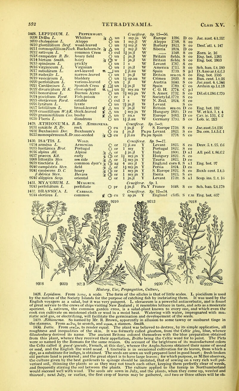 1428. LEPI'DIUM. L. Pepperwort. 9208 DrSba L. Whitlow A un 9209 chalepense L. Aleppo O un 9210 glastifolium Desf. woad-leaved O un 9211 coronopifoIiumKscA. Buckshormlv. J A nn 9212 sativum L. ' common Cres6 O cul 9218 campestre R. Br. hoary field O un 9214 hirtum Smith. hairy ^ Q) w 9215 spinosum L. prickly 9*216 virginicum L. Virginian 9217 subulatum L. awl-leaved 9218 ruderale L. narrow-leaved 9219 vesicarium L. bladdery 9220 perfoliatum L. various-leaved 9221 CardSmines L. Spanish Cress 9i?22 divaricatum H. K. close-spiked 922:3 bonariense L. Buenos Ayres 9224 piscidium Forst. Fish-poison 9225 oleraceum Forst. eatable 9226 lyratum L. lyrate 9227 latifolium L. broad-leaved 9228 crassifolium IV.%K. thick-leaved 9229 graminifolium Cav. bushy 9230 I'beris L. diandrous O un O un a. | un O un O un O un £ £2J un a. i 1 un O un O ec O cul O un )f A un £ A un Jf A un O un 1429. iETHIONE'MA. R.Br. JEthionema. 9231 saxatile R. Br. rock O cu 9232 Buxbaumii Dec. Buxbaum's O cu 9233monospermuni/f.Zfr\one-seeded ^ CD cu 1430. ISA'TIS. L. 9234 armena L. 92S5 lusitanica Brut. 9236alpina All. 9237 precox Kit. 92S8 Iittoralis Slev. 9239 tinctoria L. 9240 campfistris Slev. 9241 canescens D. C. 13 iberica Stev. 9242 aleppica Scop. 1431. MYA'GRUM. L 9243 perfoliatum L. 1432. ISRAS'SICA. L. 9241 oleracea L. Woad. Armenian Portugal Alpine early sea side common dyer's ^ field hoary Iberian oriental M VAC RUM. perfoliate Cabbage. common C or O or A or CD or A or CD ag A or Q> or CD or O or Ceuciferce. 1 my.jn W 1 my.jl 1| my.jl f my.jl H jn.jl i jn.jl 1 jn.jl 1 s 1 jn.jl } jl.au 1 jn.jl 1* ap.au f jl H jn.jl 1A my.au W 2| my.jn W 1 s 3 s 2* jn.jl 2 jn.jl § my.jn 2 au.s 1| jl.au Crucijera:. i jn.jl F | jn.jl Pa, & jl.au Pa Cmciferce. Ujl.au Y l my I jn.jl li my.jn 1| my.jn 4 my.jl 1| my.jn 1 my.jn 1 my.jn 1 jn.jl Cruciferie. | jn.jl Pa. Cruciferie. 2 ap.jn Y Sp. 23—56. Europe Aleppo Barbary Siberia Britain Britain Levant America Spain Britain Crimea Austria Spain C. G. H. S. Amer. Society Isl N. Zeal. Levant Britain Hungary Europe Germany Sp. 3—9. S. Europe pu Levant pu Spain Sp. 9—17. Levant 1825. Portugal 1822. Italy 1800. Hungary 1822. Tauria 1823. England corn fi. Persia 1824. S. Europe 1822. Iberia 182.3. Levant 1739. Sp. 1. Y France Sp. 12—34. England 1596. 1798. 1823. 1824. 1548. fields, fields. 1787. 1713. 1739. sea co. 1820. 1640. 1789. 1774. 1732. .1779. 1824. sea co. 1820. 1683. 1793. 1759. 1823. 1778. D co S co S co D co S co S s s s s s s s c c s S co S co S co D co D co D co S co p.l P.1 Jac. aust. 4.t.3I£ Desf.'atl. 1.147 Zorn. ic. 16 Eng. bot. 1385 Eng. bot. 1803 Sch. han. 2.t.l80 D.Asso ar.t.6.f.3 Eng. bot. 1595 Bux. cent, l.t.26 Jac.aust. 4. t.346 Arduin sp.l.t.18 Dil.el.t.286.f.370 Eng. bot. 182 W. etkit. 1.1. 4 Cav. ic. 151. f. 2 Lob. ic. 223 1648. S co Jac.aust.3.t.236 S co Bu. cen. l.t.5.f. 1 S co S co Desv. 3. t. 25. f.6 S co D s.l All. pcd. t.86.f,2 S co D co S s.l Eng. bot. 97 D co S co Buxb cent, l.t.5 S co S s.l Scop. ins. 2.1.16 S co Sch. han. 2.U78 S r.m Eng. bot. 637 History, Use, Propagation, Culture, 1428. Lepidium. From \itn, a scale. The form of the silicles is that of little scales. L. piscidium is used by the natives of the Society Islands for the purpose of catching fish by inebriating them. It was used by the English voyagers as a salad, but it was very pungent. L. oleraceum is a powerful antiscorbutic, and is found of great service to the crews of ships visiting New Zealand ; it resembles lettuce in taste, and acts as a moderate aperient. L. sativum, the common garden cress, is a salad-plant known to every one, and which even the cook can cultivate on moistened cloth or wool in a moist heat. Watering w ith water, impregnated with mu- riatic acid gas, or electrifying, will facilitate the germination and developement of the seeds. 1429. Mthionema. So named by Mr. R. Brown, apparently in allusion to some tawny or sunburnt tinge in the stamens. From xiS-oj, to scorch, and vvju.m, a stamen. Smith. 1430. Isatis. From itmtu, to render equal. The plant was believed to destroy, by its simple application, all roughness and inequalities of the skin. It was formerly called glastum, from the Celtic glas, blue, whence Glastonbury derived its name. The ancient Britons colored themselves with the blue preparation obtained from this plant, whence they received their appellation, Britho being the Celtic word for to paint. The Picts were so named by the Romans for the same reason. On account of the brightness of its manufactured colors the Celts called it gwed (guesde, French, at this day), whence the Anglo-Saxons obtained their name of waad or wad, and the English the word woad. I. tinctoria is in occasional cultivation for its leaves, from which a dye, as a substitute for indigo, is obtained. The seeds are sown on well prepared land in good heart; fresh broken old pasture land is preferred ; and the great object is to have large leaves; for which purpose, as M:ller observes, the culture given by the best gardeners to spinage should be imitated, that of sowing on a very rich well pul- verised soil, thinning the plants so as they may not touch each other, keeping them perfectly clear of weeds, and frequently stirring the soil between the plants. The culture applied to the turnip in Northumberland would succeed well with woad. The seeds are sown in July, and the plants, when they come up, weeded and thinned ; next July, or earlier, the first crop of leaves may be gathered, and two or three others will be ob-