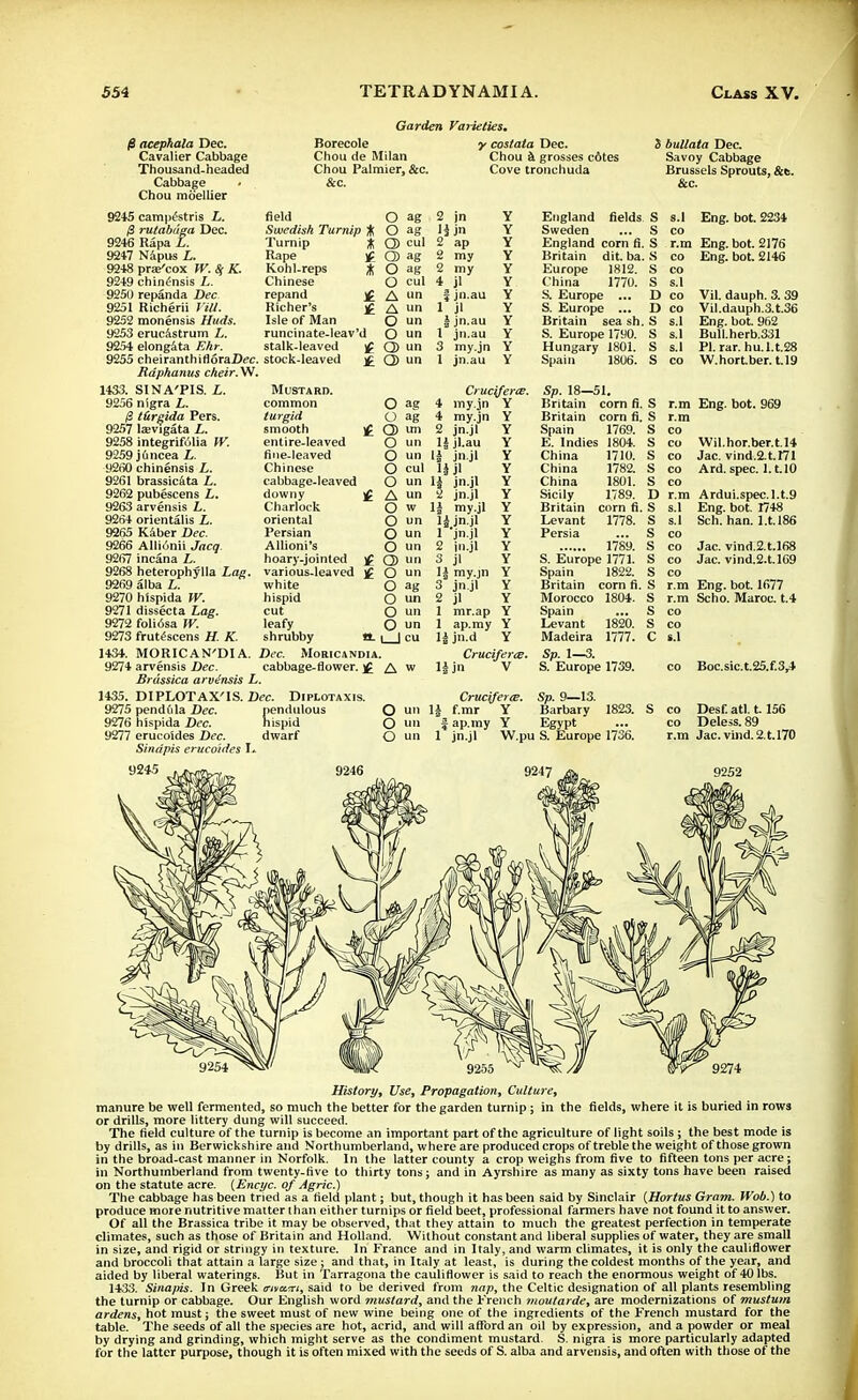 0 acephala Dec. Cavalier Cabbage Thousand-headed Cabbage • Chou moellier 9245 campestris L. $ rutabaga Dec. 9246 Rapa L. Napus L. prae'cox W. Sj K. chinensis L. repanda Dec Richerii Vill. monensis Huds. erucastrum L. elongata Ehr. cheiranthifloraLVc. stock-leaved Rdphanus cheir. W, Garden Varieties Borecole Chou de Milan Chou Palmier, &c. &c. y costata Dec. Chou a grosses c6tes Cove tronchuda 3 bullata Dec. Savoy Cabbage Brussels Sprouts, &t. &c. 9247 9248 9249 9250 9251 9252 9253 9254 9255 1433. 9256 9257 9258 9259 9260 9261 9262 9263 9264 9265 9266 9267 9268 9269 9270 9271 9272 9273 1434. 9274 1435. 9275 9276 9277 field O ag 2 jn Y Swedish Turnip A O ag 1 j jn Y * O cul 2 ap Y 4 O ag 2 mj Y t O ag 2 my Y O cul 4 jl Y £ A ll f jn.au Y f A »n 1 j' Y O un ijn.au Y O un 1 jn.au Y £ Q> un 3 my.jn Y £ Q) un 1 jn.au Y Turnip Rape Kohl-reps Chinese repand Richer's Isle of Man runcinate-Ieav'd stalk-leaved SINA'PIS. i. Mustard. nigra L. common t&rgida Pers. turgid laevigata L. smooth integrifolia W. entire-leaved juncea L. fine-leaved chinensis / Chinese brassicata L. cabbage-leaved pubescens L. arvensis L. orientalis L. Kaber Dec. Allionii Jacq. incana L. heterophylla Lag alba L. hispida W. dissecta hag. foliosa W. frutescens H. K. MORICAN'DIA arvensis Dec. Brdssica arvdnsis L. DI PLOT AX'IS. Dec. Diplotaxis. pendfila Dec. pendulous hispida Dec. nispid erucoides Dec. dwarf Sindpis erucoides I* downy Charlock oriental Persian Allioni's hoary-jointed various-leaved white hispid cut leafy shrubby Dec. Moricandia. cabbage-flower. j£ & ag 4 mi 2 un 1| un |i cul lj un li un 2 w 1| un li un 1 un 2 un 3 un 1| ag 3 un 2 un 1 un 1 cu li w 1| Cruclferee. my.jn Y my.jn jn.jl jl.au jn.jl jl jn.jl jn.jl my.jl jn.jl jn.jl in.jl jl my.jn jn.jl jl mr.ap ap.my jn.d Crucifera?. jn V England fields S Sweden ... S England corn fi. S Britain dit. ba. S Europe 1812. S China 1770. S S. Europe ... D S. Europe ... D Britain sea sh. S S. Europe 1790. S Hungary 1801. S Spain 1806. S Sp. 18—51. Britain corn fi. S Britain corn fi. S Spain 1769. S E. Indies 1804. s.l Eng. bot. 2234 co r.m Eng. bot. 2176 co Eng. bot. 2146 Vil. dauph. 3. 39 Vil.dauph.3.t.36 Eng. bot. 962 Bull.herb.331 PI. rar. hu.l.t.28 W.hort.ber. t.19 China China China Sicily Britain Levant Persia 1789. S. Europe 1771. Spain 1822. Britain corn fi Morocco 1804. Spain Levant Madeira Sp. 1—3. S. Europe 1739. 1710. 1782. 1801. 1789. corn fi, 1778. 1820. 1777. r.m Eng. bot. 969 r.m co co Wil.hor.ber.t.14 co Jac. vind.2.t.I71 co Ard. spec. 1.1.10 co r.m Ardui.spec.l.t.9 s.l Eng. bot. 1748 s.I Sch. han. 1.U86 co co Jac. vind.2 t.168 co Jac. vind.2.t.l69 co r.m Eng. bot. 1677 r.m Scho. Maroc. t.4 924.5 9246 Cruciferai. Sp. 9—13. un 11 f.mr Y Barbary 1823. un j ap.my Y Egypt un 1 jn.jl W.pu S. Europe 1736. 9247 s.l co Boc.sic.t.25.f.3r4 co Desf. atl. 1156 co Deless. 89 r.m Jac.vind.2.t.l70 9252 History, Use, Propagation, Culture, manure be well fermented, so much the better for the garden turnip j in the fields, where it is buried in rows or drills, more littery dung will succeed. The field culture of the turnip is become an important part of the agriculture of light soils ; the best mode is by drills, as in Berwickshire and Northumberland, where are produced crops of treble the weight of those grown in the broad-cast manner in Norfolk. In the latter county a crop weighs from five to fifteen tons per acre; in Northumberland from twenty-five to thirty tons; and in Ayrshire as many as sixty tons have been raised on the statute acre. (Encyc. of Agric.) The cabbage has been tried as a field plant; but, though it has been said by Sinclair (Hortus Gram. Wob.) to produce more nutritive matter t han either turnips or field beet, professional farmers have not found it to answer. Of all the Brassica tribe it may be observed, that they attain to much the greatest perfection in temperate climates, such as those of Britain and Holland. Without constant and liberal supplies of water, they are small in size, and rigid or stringy in texture. In France and in Italy, and warm climates, it is only the cauliflower and broccoli that attain a large size ; and that, in Italy at least, is during the coldest months of the year, and aided by liberal waterings. But in Tarragona the cauliflower is said to reach the enormous weight of 40 lbs. 1433. Sinapis. In Greek fftvu.ni, said to be derived from nap, the Celtic designation of all plants resembling the turnip or cabbage. Our English word mustard, and the French moutarde, are modernizations of mustum ardens, hot must; the sweet must of new wine being one of the ingredients of the French mustard for the table. The seeds of all the species are hot, acrid, and will afford an oil by expression, and a powder or meal by drying and grinding, which might serve as the condiment mustard. S. nigra is more particularly adapted for the latter purpose, though it is often mixed with the seeds of S. alba and arvensis, and often with those of the