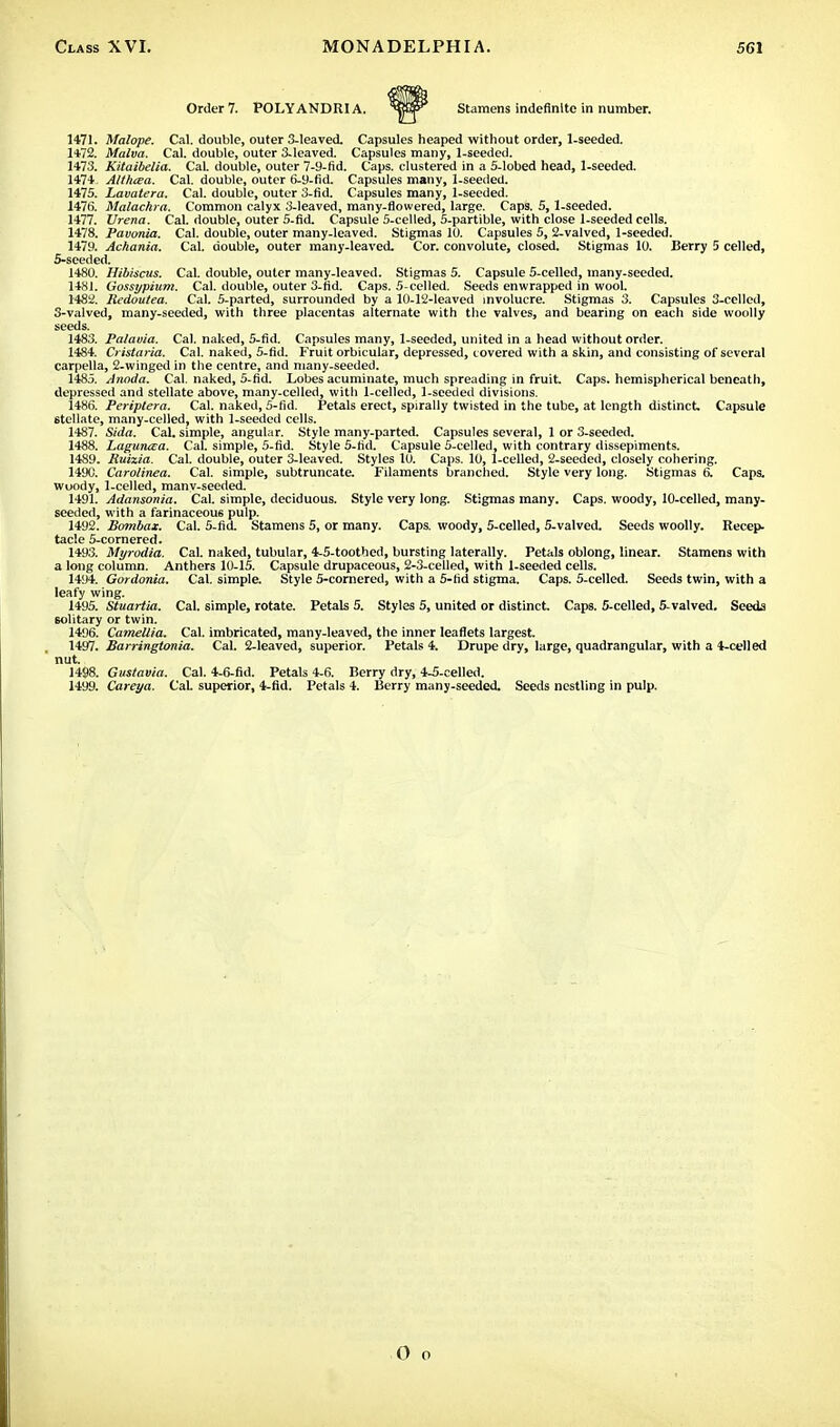 Order 7. POLYANDRI A. Stamens indefinite in number. 1471. Malope. Cal. double, outer 3-leaved. Capsules heaped without order, 1-seeded. 1472. Malva. Cal. double, outer 3-leaved. Capsules many, 1-seeded. 1473. Kitaibelia. Cal. double, outer 7-9-fid. Caps, clustered in a 5-lobed head, 1-seeded. 1474 Althcea. Cal. double, outer 6-9-fid. Capsules many, 1-seeded. 1475. Lavatera. Cal. double, outer 3-fid. Capsules many, 1-seeded. 1476. Malachra. Common calyx 3-leaved, many-flowered, large. Caps. 5,1-seeded. 1477. Urena. Cal. double, outer 5-fid. Capsule 5-celled, 5-partible, with close 1-seeded cells. 1478. Pavonia. Cal. double, outer many-leaved. Stigmas 10. Capsules 5, 2-valved, 1-seeded. 1479. Achania. Cal. double, outer many-leaved. Cor. convolute, closed. Stigmas 10. Berry 5 celled, 5-seeded. 1480. Hibiscus. Cal. double, outer many-leaved. Stigmas 5. Capsule 5-celled, many-seeded. 1481. Gossypium. Cal. double, outer 3-fid. Caps. 5-celled. Seeds enwrapped in wool. 1482. liedoutea. Cal. 5-parted, surrounded by a 10-12-leaved involucre. Stigmas 3. Capsules 3-cclled, 3-valved, many-seeded, with three placentas alternate with the valves, and bearing on each side woolly seeds. 1483. Palama. Cal. naked, 5-fid. Capsules many, 1-seeded, united in a head without order. 1484. Cristaria. Cal. naked, 5-fid. Fruit orbicular, depressed, covered with a skin, and consisting of several carpella, 2-winged in the centre, and many-seeded. 1485. Anoda. Cal. naked, 5-fid. Lobes acuminate, much spreading in fruit Caps, hemispherical beneath, depressed and stellate above, many-celled, with 1-celled, 1-seeded divisions. 1486. Periptera. Cal. naked, 5-fid. Petals erect, spirally twisted in the tube, at length distinct. Capsule stellate, many-celled, with 1-seeded cells. 1487. Sida. Cal. simple, angular. Style many-parted. Capsules several, 1 or 3-seeded. 1488. Laguneea. Cal. simple, 5-fid. Style 5-fid. Capsule 5-celled, with contrary dissepiments. 1489. Ruizia. Cal. double, outer 3-leaved. Styles 10. Caps. 10, 1-celled, 2-seeded, closely cohering. 1490. Caro/inea. Cal. simple, subtruncate. Filaments branched. Style very long. Stigmas 6. Caps, woody, 1-celled, many-seeded. 1491. Adansonia. Cal. simple, deciduous. Style very long. Stigmas many. Caps, woody, 10-celled, many- seeded, with a farinaceous pulp. 1492. Bombax. Cal. 5-fid. Stamens 5, or many. Caps, woody, 5-celled, 5-valved. Seeds woolly. Recep- tacle 5-cornered. 1493. Myrodia. Cal. naked, tubular, 4-5-toothed, bursting laterally. Petals oblong, linear. Stamens with a long column. Anthers 10-15. Capsule drupaceous, 2-3-celled, with 1-seeded cells. 1494. Gordonia. Cal. simple. Style 5-cornered, with a 5-fid stigma. Caps. 5-celled. Seeds twin, with a leafy wing. 1495. Stuartia. Cal. simple, rotate. Petals 5. Styles 5, united or distinct. Caps. 5-celled, 5-valved. Seeds solitary or twin. 1496. Camellia. Cal. imbricated, many-leaved, the inner leaflets largest. 1497. BarringUmia. Cal. 2-leaved, superior. Petals 4. Drupe dry, large, quadrangular, with a 4-celled nut. 1498. Gustavia. Cal. 4-6-fid. Petals 4-6. Berry dry, 4-5-celled. 1499. Careya. CaL superior, 4-fid. Petals 4. Berry many-seeded. Seeds nestling in pulp. O o