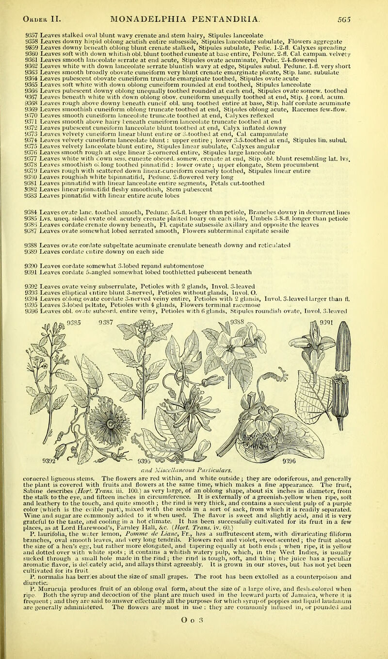 9357 Leaves stalked oval blunt wavy crenate and stem liairy, Stipules lanceolate 9358 Leaves downy hispid oblong acutish entire subsessile, Stipules lanceolate subulate, Flowers aggregate 9859 Leaves downy beneath oblong blunt crenate stalked, Stipules subulate, Pedic. 1-2-fl. Calyxes spreading 936U Leaves soft with down whitish obi. blunt toothed cuneate at base entire, Pedunc. 2-fl. Cal. campan. velvety 9361 Leaves smooth lanceolate serrate at end acute, Stipules ovate acuminate, Pedic. 2-4-flowered 9362 Leaves white with down lanceolate serrate bluntish wavy at edge, Stipules subul. Pedunc. 1-fl. very short 9363 Leaves smooth broadly obovate cuneiform very blunt crenate emarginate plicate, Stip. lane, subulate 9364 Leaves pubescent obovate cuneiform truncate emarginate toothed, Stipules ovate acute 9365 Leaves soft white with down oblong cuneiform rounded at end toothed, Stipules lanceolate 9366 Leaves pubescent downy oblong unequally toothed rounded at each end, Stipules ovate somew. toothed 9367 Leaves beneath white with down oblong obov. cuneiform unequally toothed at end, Stip. | cord, acuin. 9368 Leaves rough above downy beneath cuneif obi. unq. toothed entire at base, Stip. half cordate acuminate 9369 Leaves smoothish cuneiform oblong truncate toothed at end, Stipules oblong acute, Racemes few-flow. 9370 Leaves smooth cuneiform lanceolate truncate toothed at end, Calyxes reflexed 9371 Leaves smooth above hairy beneath cuneiform lanceolate truncate toothed at end 9372 Leaves pubescent cuneiform lanceolate blunt toothed at end, Calyx inflated downy 9373 Leaves velvety cuneiform linear blunt entire or 3-toothed at end, Cal campanulate 9374 Leaves velvety cuneiform lanceolate blunt: upper entire; lower 3-5-toothed at end, Stipules I'm. subul. 9375 Leaves velvety lanceolate blunt entire, Stipules linear subulate, Calyxes angular 9376 Leaves smooth rough at edge linear 3-cornered entire, Stipules large lanceolate 9377 Leaves white with down sess. cuneate obcord. somew. crenate at end, Stip. obi. blunt resembling lat. Ivs. 9373 Leaves smoothish o: long toothed pinnatifid : lower ovate; upper elongate, Stem procumbent 9379 Leaves rough with scattered down linear-cuneiform coarsely toothed, Stipules linear entire 9380 leaves roughish white bipinnatifid, Pedunc. 2-flowered very long 9381 Leaves pinnatifid with linear lanceolate entire segments, Petals cut-toothed S382 Leaves linear pinnatifid fleshy smoothish, Stem pubescent 9383 Leaves pinnatifid with linear entire acute lobes 9384 leaves ovate lane, toothed smooth, Pedunc. 5-6-fl. longer than petiole, Brandies downy in decurrent lines 9^5 Lvs. uneq. sided ovate obi. acutely crenate plaited hoary on each side, Umbels 3-8-fl. longer than petiole 9386 Leaves cordate crenate downy beneath, Fl. capitate subsessile axillary and opposite the leaves 9387 Leaves ovate somewhat lobed serrated smooth, Flowers subterminal capitate sessile 9388 Leaves ovate cordate subpeltate acuminate crenulate beneath downy and reticulated 9389 Leaves cordate entire downy on each side 9390 Leaves cordate somewhat 3-lobed repand subtomentose 9391 Leaves cordate 5-angled somewhat lobed toothletted pubescent beneath 9392 Leaves ovate veiny subserrulate, Petioles with 2 glands, In vol. 3-leaved 9393 Leaves elliptical entire blunt 3-ncrved, Petioles without glands, Invol. O. 9394 Leaves oblong ovate cordate 3-nerved veiny entire, Petioles with 2 glands, Invol. 3-leaved larger than fl. 9395 Leaves 3-lobed peltate, Petioles with 4 glands, Flowers terminal racemose 9396 Leaves obi. ovate subcord. entire veiny, Petioles with 6 glands. Stipules roundish ovate, Invol. 3-leaved and Miscellaneous Particulars. cornered ligneous stems. The flowers are red within, and white outside ; they are odoriferous, and generally the plant is covered with fruits and flowers at the same time, which makes a fine appearance. The fruit, Sabine describes (Hort. Trans, iii. 100.) as very large, of an oblong shape, about six inches in diameter, from the stalk to the eye, and fifteen inches in circumference. It is externally of a greenish-yellow when ripe, soft and leathery to the touch, and quite smooth ; the rind is very thick, and contains a succulent pulp of a purple color (which is the eoible part), mixed with the seeds in a sort of sack, from which it is readily separated. Wine and sugar are commonly added to it when used. The flavor is sweet and slightly acid, and it is very grateful to the taste, and cooling in a hot climate. It has been successfully cultivated for its fruit in a few places, as at Lord Harewood's, Famley Hall, &c. {Hort. Trans, iv. 60.) P. laurifolia, the wr.ter lemon, Pomme <le Lianc, Fr., has a suff'rutescent stem, with divaricating filiform branches, oval smooth leaves, and very long tendrils. Flowers red and violet, sweet-scented; the fruit about the size of a hen's egg, but rather more elongated, and tapering equally at both ends ; when ripe, it is yellow and dotted over with white spots ; it contains a whitish watery pulp, which, in the West Indies, is usually sucked through a small hole made in the rind ; the rind is tough, soft, and thin ; the juice has a peculiar aromatic flavor, is delicately acid, and allays thirst agreeably. It is grown in our stoves, but has not yet been cultivated for its fruit. P. normalis has berries about the size of small grapes. The root has been extolled as a counterpoison and diuretic. P. Murucuja produces fruit of an oblong oval form, about the size of a large olive, and flesh-colored when ripe. Both the syrup and decoction of the plant are much used in the leeward parts of Jamaica, where it is frequent; and they are said to answer effectually all the purposes for which syrup of poppies and liquid laudanum are generally administered. The flowers are most in use : they arc commonly infused in, or pounded and