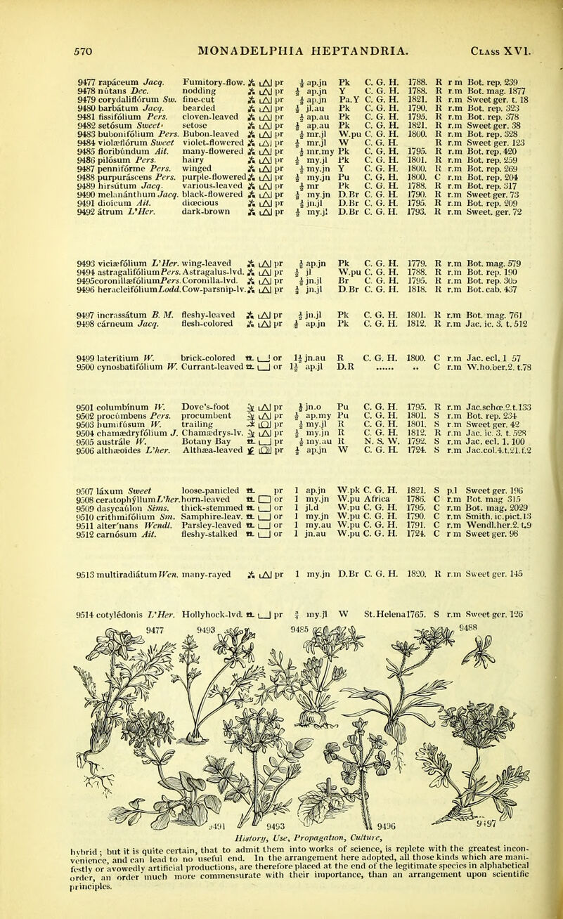 9477 rapaceum Jacq. 9478 nutans Dec. 9479 corydaliflorum Sw. 9480 barbatum Jacq. 9481 fissifolium Pers. 9482 setosum Sweet' 9483 bubonifolium Pers. 9484 violajfiorum Sweet 9485 floribundum Ait. 9486 pilosum Pers. 9487 penniforme Pers. 9488 purpurascens Pers. 9489 hirsutum Jac<?. 9490 melananthum Jacq. 9491 dioicum 9492 atrum L'Her. Fumitory-flow. A nodding fine-cut bearded cloven-leaved setose Bubon-leaved violet-flowered A many-flowered A hairy A winged A purple-floweredA various-leaved A black-flowered A dioecious ^ dark-brown A lAl pr lAJ pr lAJ l>r lAJ pr lAlpr lAl pr lAJ pr lAI l>r lAJ pr lAl pr lAJ pr lAI l>r lAJ pr lAJ pr lAJ pr lAJ pr a ap.jn a ap.jn i ap.jn i jl.au £ ap.au | ap.au i mr.jl i mr.jl $ mr.my I my.jl i my.jn i my.jn i mr j my.jn i I my.jl Pk C. Y C. Pa.Y C. Pk C. Pk C. Pk C. W.pu C. w c. D.Br C. D.Br C. D.Br C. G. H. G. H. G. H. G. H. G. H. G. H. G. H. G. H. G. H. G. H. G. H. G. H. G. H. G. H. G. H. G. H. 1788. 1788. 1821. 1790. 1795. 1821. 1800. 1795. 1801. 1800. 1800. 1788. 1790. 1795. 1793. R rm R r.m R r.m R r.m R r.m R r.m R r.m R r.m R r.m R r.m It r.m C r.m R r.m R r.m R r.m R r.m Bot. rep. 239 Bot. mag. 1877 Sweet ger. 1.18 Bot. rep. 323 Bot. rep. 378 Sweet ger. 38 Bot. rep. 328 Sweet ger. 123 Bot. rep. 420 Bot. rep. 259 Bot. rep. 269 Bot. rep. 204 Bot. rep. 317 Sweet ger. 73 Bot. rep. 209 Sweet, ger. 72 9493 vicia?folium L'Her. wing-leaved A lAJ pr 9494 astragalifoliumPi'rs. Astragalus-lvd. A lAl pr 9495coronilla;f61iumP£7-j.\L'oronilla-lvd. A i Al pr 9496 heracleifoliumLorfd.Cow-parsnip-lv.A lAJ pr 9497 incrassatum B. M. 9498 carneum Jacq. fleshy-leaved flesh-colored A iAJ pr A iAJ pr 9499 laterttium W. brick-colored a. i 9500 cynosbatifolium W. Currant-leaved a. i 9501 columbinum W. Dove's-foot ^ iAJ pr 9502 procumbens Pers. procumbent iAJ pr 9503 humifusum W. trailing 3 iQJ pr 9504 chamEedryfolium J. Chama;drys-lv. ^ iAI pr 9505 australe IV. Botany Bay a. i | pr 9506 althaoides L'her. Althaea-leaved ]£ OJ pr i ap.jn Pk C. G. H. 1779. R i Jl W.pu C. G. H. 1788. li ijn.jl Br C. G. H. 1795. R i jn.jl D.Br C. G. H. 1818. R i jiiji Pk C. G. H. 1801. li i ap.jn Pk C. G. H. 1812. R 1^ jn.au R C. G. H. 1800. C i ap.jl D.R C J jn.o Pu C. G. H. 1795. R £ ap.my Pu C. G. H. 1801. S 5 my.jl R C. G. H. 1801. S | my.jn R C. G. H. 1812. R £ my.au R N. S. W. 1792. S i ap.jn W C. G. H. 1724. S r.m Jac. eel. 1 57 r.m W.ho.ber.2. t.78 R r.m Jac.schce.2.t.l33 r.m Bot. rep. 234 r.m Sweet ger. 42 r.m Jac. ic. 3. t. 52S r.m Jac. eel. 1.100 r.m Jac.col.4.t.21.f.2 9507 laxum Sweet loose-panicled a. pr 9508 ceratophJllumZ,'fer.horn-leaved a. □ or 9509 dasycaulon Sims, thick-stemmed a. i | or 9510 crithmifolium Sm. Samphire-leav. a. i | or 9511 alter'nans Wendl. Parsley-leaved a. | | or 9512 carnosum Ait. fleshy-stalked a, i | or 1 ap.jn W.pk C. G. H. 1821. S 1 my.jn W.pu Africa 1786. c 1 jl.d W.pu C. G. H. 1795. c 1 my.jn W.pu C. G. H. 1790. c 1 my.au jn.au W.pu C. G. H. 1791. c 1 W.pu C. G. H. 1724. c p.l Sweet ger. 196 r.m Bot. mag 315 r.m Bot. mag. 2029 r.m Smith, ic.pict.13 r.m Wendl.her.2. t.9 r m Sweet ger. 98 9513 multiradiatum Wen. many-rayed A lAJ pr 1 my.jn D.Br C. G. H. 1820. R r.m Sweet ger. 145 9514 cotyledonis L'Her. Hollyhock-lvd. a. \ | pr $ my.jl W St. Helena 1765. S r.m Sweet ger. 126 9477 9493. j&&>SI. 9485 fWffl^7<b ^.Sugm,. S488 940G History, Use, Propagation, Culture, hvbrid ■ but it is quite certain, that to admit them into works of science, is replete with the greatest incon- venience andean lead to no useful end. In the arrangement here adopted, all those kinds which are mani- festly or avowedly artificial productions, are therefore placed at the end of the legitimate species in alphabetical order, an order much more commensurate with their importance, than an arrangement upon scientific principles.