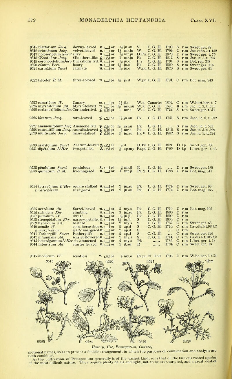 9515 blattarium Jatq. downy-leaved O- | | or 9516 eriostemon Ja'cq. velvet-leaved «- i | or 9517 holosericeum Sweet silky It | | or 9518 (Enothera Jacq. (Enothera-like j£ lAJ or 9519 coronopifoliumJflc^.Buckshorn-lvd. tt-1 952U canum Pers. 9521 carinatum Sweet hoary carinate O- l 1 or n. I I or jn.au mr.jn | mr.jn mr.jn a jn.o jn.o i jn.o V C. G. H. W C. G. H. D.Pu C. G. H. Pk C. G. H. P.v C. G. H. Pk C. G. H. W.pu C. G. H. 1790. 1794. 1820. 1812. 1791. 1820. 1820. r.m Sweet ger. 88 r.m Jac. scho.2. t.132 r.m Sweet ger. t. 75 r.m Jac. ic. 3. t. 525 r.m Bot. rep. 338 r.m Sweet ger. 114 r.m Sweet ger. 21 9522 tricolor B. M. three-colored a. i | pr 1* ja.d W.pu C. G. H. 1791. C r.m Bot. mag. 240 9523 canariense W. Canary 9524 myrrhitVilium Ait. Myrrh-leaved 9525 coriandrifolium ,/ac.Coriander-lvd. a. I | pr lijl.s W.r Canaries 1802. O-1 | pr H my.au W.r C. G. H. 1696. £OJpr 1 mr.s W.r C. G. H. 1724. C r.m W.hort.ber. 1.17 R r.m Jac. ic. 3. t. 531 S r.m Sweet ger. t. 34 9526 lacerum Jacq. torn-leaved )£ iAJ or 1§ jn.au Pk C. G. H. 1731. S r.m Jacq ic. 3. t. 532 9527 anemonif61iumJ(iei7. Anemone-lvd. £ O) or 9528 caucalifolium Jacq. caucalis-leaved £ OJ Pr 9529 multicaule Jacq. many-stalked £ Ol pr jn au mr.s jn.au Pk Pk Pa.V C. G. H. C. G. H. C. G. H. 1812. 1802. r.m Jacq. ic. t. 535 r.m Jac. ic. 3. t. 529 r.m Jac. ic. 3. t.534 9530 asarifolium Sweet Asarum-leavcd A lAl el 9531 dipetalum L'Hcr. two-petalled & lAI «4 j d D.Pu C. G. H. ap.my Pa.pu C. G. H. 1821. D l.p Sweet ger. 20G 1795. D l.p 1,'her. ger. t. 43 9532 pendulum Sweet 9533 quinatum B. M. pendulous live-tingered !Ul_Jel O. | | or i mr.jl 1 mr.jl R C. G. H. Pa.Y C. G. H. ... C r.m Sweet ger. 1S8 1793. C r.m Bot. mag. 547 9534 tetragonum L'Hcr square-stalked H. | | el £ variegdtum variegated tt. \ 1 el 2 jn.au 2 jn.au Pk Pk C. G. H. 1774. C r.m Sweet ger. 99 C. G. H. 1774. C r.m Bot. mag. 136 9535 acetosum Ait. Sorrel-leaved tt- i I or 3 my.s Pk C. G. H. 1710. C r.m Bot. mag. 103 9536 scandens Ehr. cbmbing «- 1 I or 3 jn.au Pk C. G. H. 1800. c r.m 9537 pumilum W. dwarf «- 1 ) or H jn.jl Pk c. G. H. 1800. c r.m 9538 stenopetalum Ehr. narrow-petalledtL 1 I or U jn.jl S c. G. H. 1800. C r.m 9539 hybridum Ait. bastard n. L_j or '2 my.s S c. G. H. 1732. c r.m Sweet ger. 63 9540zonale W. com. horse shoett. 1 1 or 2 ap.d s c. G. H. 1710. c r.m Cav.dis.4t.98.f.2 (3 marginatum wh ite-ma rgined tt- l_J or 2 ap.d s c r.m 9541 FotherglUii Sweet Fothergill's a. 1 1 or 2 ap.d s c. G. H. c r.m Sweet ger. 226 9542 in'quinans Ait. scarlet- flowered tt I I or my.s s c. G. H. mi. c r.m Ca.dis.4.t.l06.f.2 9543 heterdeamun-i/.'f/t'r.six-stamened *»- I 1 or 2 my.s Pk 1786. c r.m L'her ger. t. 18 9544 monstrum Ait. cluster-leaved a. \ | or 2 jl.au K 1784. c r.m Sweet ger. 13 9545 inodorum W. scentless 2- lAJ pr my.o Pa.pu N Holl. 1796. c r.m W.ho.ber.l. t.34 9515 9520 9521 .9522 History, Use, Propagation, Culture, sectional names, so as to present a double arrangement, in which the purposes of combination and analysis are both combined. , „ : '' . . As the cultivation of Pelargonium generally is of the easiest kind, so is that of the bulbous rooted species >f the most difficult nature. They require plenty of air and light, not to be over-watered, and a great deal of