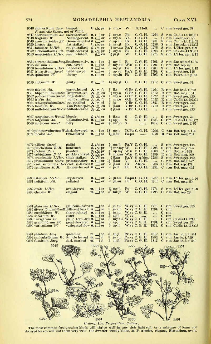 9546 glomcratum Jacq P. austrdle Sweet, 9547 odoratissimum Ait. 9548fragrans W. 9549 grossularioides Ait. 9550 anceps Ait. 9551 tabulare IS Her. 9552 alchemilloides Ait. 9553 senecioides L'Hcr. heaped not of Willd. sweet-scented a. i | or Nutmeg-scent, a. i | or Gooseberry-lvd.a l_I or flat-stalked S~ lAJ pr rough-stalked <£ iAI pr mantle-leaved )£ iAJ pr small white-fl. |QJ cu 1- lAI pr i my.o W N. Holl. 9554 abrotanif61iumJ«ctf.Southernw.-lv. it. i I or 9555 incisum W. cut-leaved a. | | or 9556 tenuifolium L'Hcr. fine-leaved a. \ 1 or 9557 tripart'itum Sweet trifid-leaved it | I or 9558 spinosum W. thorny a. i ! or 2 my.o Pk C. G. H. 2 my.o Va C. G. H. 2 ap.au Pk C. G. H. | my.jl Pk C. G. H. i my.au Pa.Y C. G. H. i my.o Pk C. G. H. | jn.jl W C. G. H. 3 my.jl R C. G. H. 3 ray.au W.r C. G. H. 3 my.jl Pu C. G. H. 3 ap.au Pa.Y C. G. H. 3 my.jn Pk C. G. H. 1724. 1731. 1788. 1775. 1693. 1775. 1791. 1791. 1768. 1794. 1795. C r.m Sweet ger. 68 S r.m Ca.dis.4.t.l03f.l C r.m Sweet ger. 172 S r.m Ca.dis.4.tll9.f.2 S r.m Jac.col.4.t.22.f.3 S r m L'Her. ger. t. 9 C r.m Cav.dis.4.t.98.f.l S r.m L'Her. ger. 1.11 S r.m Jac.scho?.2.t.l36 C r.m Bot rep. 67 S r.m L'Her. ger. 1.12 C r.m Sweet ger. 115 C r.m Pater, it. t. p. 67 9559 gibbosum W. gouty 9560 flavum Ait. 9561 filipendulifoliumSu/. 9562 pedicellatum Sweet 9563 tris'te Ait. 9564 schizopetalumStwefi 95C5 lobatum W. 9566 millefoliatum Sweet «-1 I ft li my.jl G C. G. H 1712. C r.m Sweet ger. 61 carrot-leaved & iAJ ft Dropwort-lvd. A iAJ cu long-stalked A iAJ cu night-smelling Ji tAJ ft cut-petalled A iAJ el CowParsnep-lv. A iAI eu Milfoil-leaved & !AJ cu i jl.s G Br C. G. H. i my.o G.Br C. G. H. 1 my.o G.Br C. G. H. 1 my.o G.Br C. G. H. 1 jn Y.Br C. G. H. 1 jl.au Y.Br C. G. H. ijl.au Y.Br C. G. H. 1724. 1812. 1822. 1632. 1821. 1710. 9567 sanguineum Wendl. bloody )£ iAJ or P.568 fidgidum Ait. Celandine-lvd. a. t \ or 9569 ignescens Sweet fiery a_ i | or 9570quinquevulnerumJKdark-flowered a. i | or 9571 tricolor Ait. two-colored a. i | or 1 jl.au S C. G. H. H ap.jl S C. G. H. H mr.jn S 1J my.o D.Pu C. G. H. IJjl.au Pa.pu R r.m Jac. ic. 3. t.522 R r.m Bot. mag. 1641 R r.m Sweet ger. 250 R r.m Ca.dis.4.t.l07.f.l R r.m Sweet ger. 232 R r.m Sweet ger. 51 R r.m Sweet ger. 230 ... S r.m Sweet ger. 76 1723. C r.m Ca.dis.4.t.ll6.f.2 1812. C r.m Sweet ger. 2.55 1796. C r.m Bot. rep. t. 114 1778. R r.m Bot. mag. 201 9572 pallens Sweet 9573 pulchellum B. M. 9574 pictum pers. 9575 echinatum B M. 9579 reniforme B. M. pallid A lAJ I>r mr.jl Pa.Y C. G. H. S r.m nonesuch A lAI pr mr.my W C. G. H. 1795. S r.m painted A lAJ pr ap.my W.R C. G. H. 1800. R r.m prickly-stalked A 23 pr i my.au W.R C. G. H. 1789. R r.m thick-stalked A 23 pr jl.au Pa.Y S. Africa 1786. S r.m primrose-flow. «_ i_J or i jl.au V C. G. H. c r.m r. cortusa-leaved «_ ZD or jl.au Pk Africa 1786. c r.m Kidney-leaved n_ i_l or 2 ja.d Pu C. G. H. 1791. c r.m 9580 latenpes L'Her. 9581 peltatum Ait. 9582 ovale L'Her. 9583elegans W. Ivy-leaved peltated oval-leaved elegant a-i_J or a. i | or 2 jn.au 2 jn.au li my.jl 3 mr.jn Pa,pu C. G. H. Pu C. G. H. C. G. H. C. G. H. 1787. C r.m 1701. C r.m 1774. s r.m 1795. c r.m 9584 glaucum L'Her. glaucous-leav'da. i | or 3 9585 diversifolium W<?/i(#.diflfcrent-leav'd a. \ j or 3 9586 cuspidatum W. sharp-pointed a. \ | or 3 9587 sororium W. sister a. i | or 3 9588 la;vigatum W. glauc. tern.-lvd.a. | | or 3 3589 grandiflorum IV. great-flowered a. i | or 3 9590 variegatum W. variegated-flow.a. • | or 3 W.vy C. G. H. W.vy C. G. H. W.vy C. G. H. W.vy niy.au W.vv C. G. H. ap.jl W.vy C. G. H. apjl W.vy C. G. H. jn.au jn.au jn.au ap.jl 1775. 1794. 1794. 1812. r.m Sweet ger. 2S5 r.m r.m r.m r.m Ca.dis.4.t 121.1.1 r.m Sweet ger. 29 r.m Ca.dis.4.t.ll8.f.3 9591 patulum Jacq. spreading a. i | or 3 ap.jl Pk.vv C. G. H. 1812. C r.m Jac. ic. 3. t. 541 9592 sanicutefolium W. Sunicle-leaved a. i | el 3 jn.au Pu.vy C. G. H. 1806. C r.m Jac. ic. t. 539 9593 fuscatum Jacq. dark-marked a. | | el 3 ap.jl Pu.vy C. G. H. 1812 C r.m Jac. ic. 3. t. 540 History, Use, Propagation, Culture, The most common free-growing kinds will thrive well in any rich light soil, or a mixture of loam and decayed leaves will suit them very well: the dwarfer woody kinds, as P. tricolor, elegans, Blattarium, ovale,