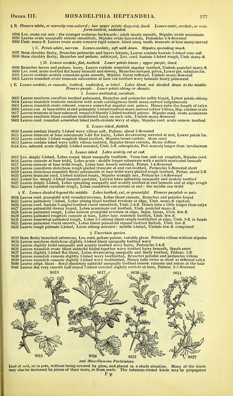 4 B. Flowers white, or scarcely rose-colored ; two upper petals deep-red, lined. Leaves ovate, cordate, or rcni- form toothed, undivided. 9594 Lvs. ovate cut serr.: the younger scabrous backwards; adult nearly smooth, Stipules ovate acuminate 9595 Leaves ovate unequally serrate smoothish, Stipules ovate-lanceolate. Peduncles 2-4-flowered 9596 Umb. many-fl. Leaves ovate acute concave rigid somew. lobed uneq. tooth, truncate at base many-nerved \ C. Petals white, narrow. Leaves cordate, soft with down. Stipules spreading much. 9597 Stem shrubby fleshy, Branches peduncles and leaves hirsute, Leaves cordate hastate 5-lobed very soft 9598 Stem shrubby fleshy, Branches and pedunc. subhispid, Lvs. cord, hastate 5-lobed rough, Umb. many-fl. \ D. Leaves cordate, fiat, toothed. Lower petals linear ; upper purple, lined. 9599 Branches leaves and pedunc. hairy, Leaves cordate roundish angular toothed, Umbels panicled many-fl. 9600 Lvs. cord, acute toothed flat hoary beneath and downy, Branches and ped. pilose, Lower pet. subulate-lin. 9601 Leaves cordate acutely crenulate quite smooth, Stipules linear reflexed, Umbels many-flowered 9602 Leaves roundish ovate truncate subcordate at base cut-toothed wavy beneath hoary pubescent \ E. Leaves cordate, or cuneate, toothed, undivided, or lobed. Lobes blunt, not divided down to the middle. Flowers purple. Lower petals oblong or obovate. 1. Leaves undivided, cucullate. 9603 Leaves reniform cucullate toothed pubescent, Branches and peduncles softly hispid, Lower petals oblong 9604 Leaves roundish truncate reniform with acute cartilaginous teeth many-nerved subpubescent 9605 Leaves roundish ovate subcord. concave somewhat angular serr. pubesc. Honey-tube the length of calyx 9606 Leaves cun. at base entire at end palmately 5-lobed toothed many-nerved rather villous, Stip. cordate ovate 9607 Leaves truncate at base subcucul. roundish bluntly 5-lobed toothed pubesc. Stipules cord, ovate acuminate 9608 Leaves reniform blunt cucullate toothletted hairy on each side, Umbels many-flowered 9609 Leaves cord, roundish somewhat lobed tooth-crenate wavy at edge, Stipules cord, acute somew. toothed 2. Leaves lobed, flattish. 9610 Leaves cordate bluntly 3-lobed wavy villous soft, Pedunc. about 2-flowered 9611 Leaves truncate at base subcuneate 3-fid flat hairy, Lobes divaricating serrated at end, Lower petals lin. 9612 Leaves cordate 3-lobed roughish blunt toothed, Stipules broad cordate, Stem erect 9613 Leaves cordate lobed wavy softly villous toothed, Stipules broad cordate, Stems diffuse 9614 Lvs. subcord. acute slightly 5-lobed serrated, Umb. 5-fl. subcapitate, Ped. scarcely longer than involucrum 3. Leaves lobed. Lobes acutely cut at end. 9615 Lvs. deeply 3-lobed, Lobes round, blunt unequally toothlett. Veins ben. and cal. roughish, Stipules cord. 9616 Leaves cuneate at base trifid, Lobes acute : middle longer subserrate with a midrib muricated beneath 9617 Leaves cuneate at base trifid rough, Lobes lane, loosely serrated, Pedun. 1-4-flowered 9618 Leaves cuneiform distichous rough plaited truncate at end cut-toothed, Peduncles 2-flowered short 9619 Leaves distichous roundish fleshy subcuneate at base trifid wavy plaited rough toothed, Pedun. about 2-fl. 9620 Leaves truncate cord. 3-lobed toothed hoary, Stipules scarcely any, Peduncles 3-4-flowered 9621 Lower lvs. deeply 3-lobed beneath pustular, Lateral lobes spreading unequally and acutely toothed 9622 Leaves deeply 3-lobed, Lobes spreading unequally and acutely toothed at end beneath and at edge rough 9623 Leaves 3-parted cucullate rough, Lobes cuneiform cut-serrate at end : the middle one trifid $ F. Leaves divided beyond the middle. Lobes toothed, cut, or pinnatifid. Flowers purplish or pale. 9624 Leaves cord, pinnatifid with rounded recesses, Lobes blunt crenate, Branches and petioles hispid 9625 Leaves palmately 7-lobed, Lobes oblong blunt toothed revolute at edge, Umb. many-fl. capitate 9626 Leaves cord, hastate 5-angled toothed viscid smoothish, Umb. 2-4-fl. Honey tube a little longer than calyx 9627 Leaves palmatifid downy hispid, Lobes acuminate cut toothed, Umb. panicled many-fl. 9628 Leaves palmated rough, Lobes narrow pinnatifid revolute at edge, Segm. linear, Umb. few-fl. 9629 Leaves palmated roughish cuneate at base, Lobes lane, remotely toothed, Umb. few-fl. 9630 Leaves somewhat palmated rough, Lobes 5-7-oblong blunt crisply toothletted at edge, Umb. 5-fl. in heads 9631 Leaves palmated viscid smooth, Lobes linear pinnatifid repand toothed flattish, Umb. few-fl. 9632 Leaves rough palmate 5-lobed, Lobes oblong serrated : middle 3-lobed, Umbels few-fl. compound t Uncertain species. 9633 Stem fleshy branched arboreous, Lvs. cord, peltate pubesc. variably glauc. Petioles villous without stipules 9634 Leaves reniform distichous slightly 3-lobed blunt unequally toothed wavy 9635 Leaves slightly trifid unequally and acutely toothed wavy hairy, Peduncles 2-4-fl. 9636 Leaves roundish ovate blunt subtrifid folded together wavy toothed hairy beneath, Sepals erect 9637 Leaves slightly 3-lobed flat blunt, Lobes divaricating unequally and finely toothed, Pedunc. 3-fl. 9638 Leaves roundish cuneate slightly 3-lobed wavy toothletted, Branches petioles and peduncles villous 9639 Leaves roundish cuneate slightly 3-lobed wavy toothletted, Honey tube twice as short as reflexed calyx 9640 Leaves ellipt. blunt: floral obsoletely subtrifid unequally toothed somew. cuneate and entire at the base 9641 Leaves flat very smooth half round 7-lobed serrated slightly cordate at base, Pedunc. 2-5-flowered and Miscellaneous Particulars. kind of soil, or in pots, without being covered by glass, and placed in a shady situation. Many of the kinds may also be increased by pieces of their roots, or from seeds. The tuberous-rooted kinds may be propagated Pp