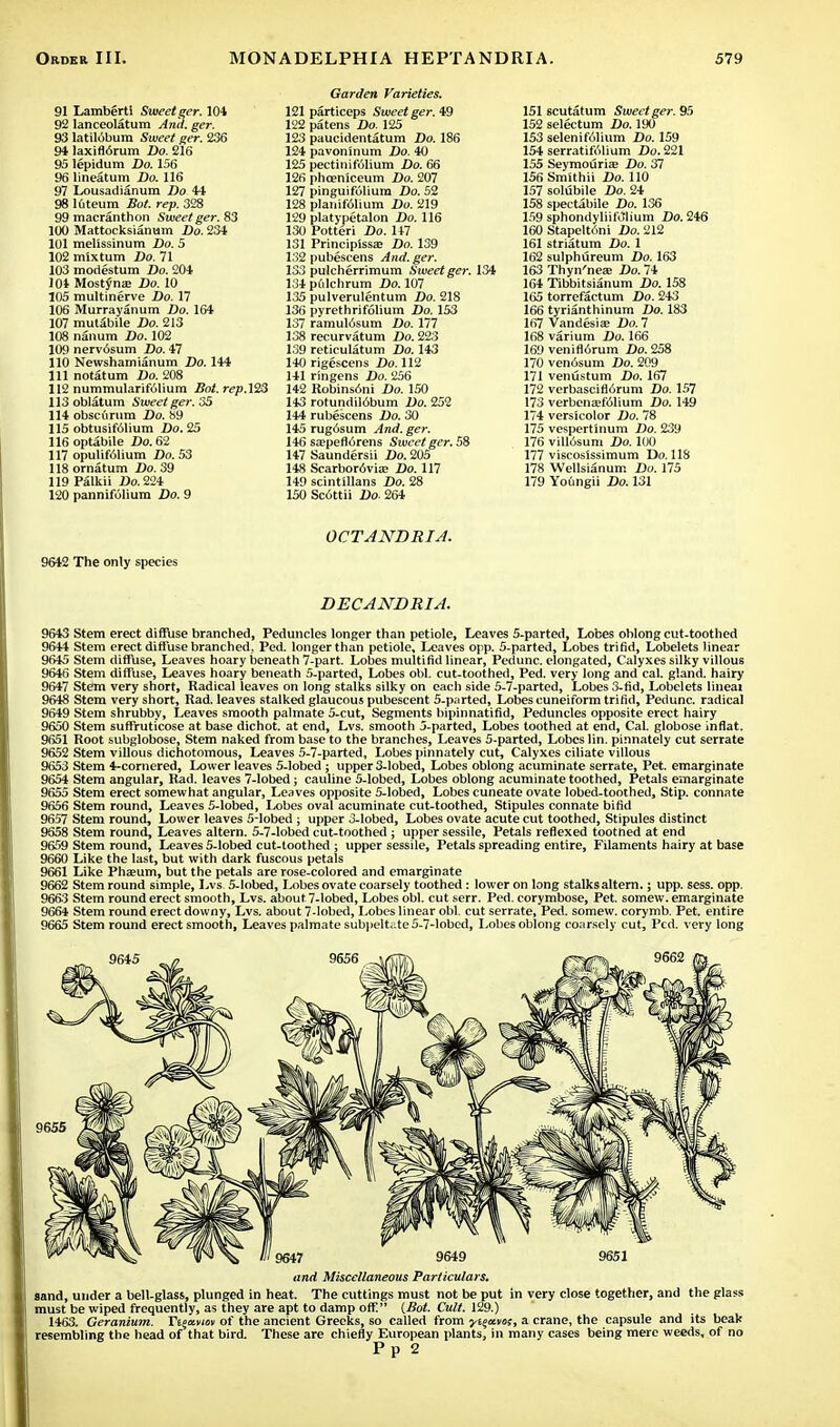 91 Lambertl Sweet ger. 104 121 92 lanceolatum And. ger. 122 93 latildbum Sweet ger. 236 123 94 laxiflorum Do. 216 124 95 lepidum Do. 156 125 96 lineatum Do. 116 126 97 Lousadianum Do 44 127 98 luteum Bot. rep. 328 128 99 macranthon Sweet ger. 83 129 100 Mattocksianum Do. 234 130 101 melissinum Do. 5 131 102 mlxtum Do. 71 132 103 modestum Do. 204 133 104 Most^na; Do. 10 134 105 multinerve Do. 17 135 106 Murrayanum Do. 164 136 107 mutabile Do. 213 137 108 nanum Do. 102 138 109 nerv6sum Do. 47 139 110 Newshamianum Do. 144 140 111 notatum Do. 208 141 112 nummularifolium Bot. rep.123 142 113 oblatum Sweet ger. 35 143 114 obscurum Do. 89 144 115 obtusif61ium Do. 25 145 116 optabile Do. 62 146 117 opulif61ium Do. 53 147 118ornatum Bo. 39 148 119 Palkii Do. 224 149 120 pannifolium Do. 9 150 Garden Varieties. particeps Sweet ger. 49 patens Do. 125 paucidentatum Do. 186 pavoninum Do. 40 pectinifolium Do. 66 phceniceum Do. 207 pinguifolium Do. 52 planif61ium Do. 219 platypetalon Do. 116 Potteri Do. 147 Principissa; Z)o. 139 pubescens And. ger. pulcherrimum Sweet ger. 134 pulchrum Do. 107 pulverulentum Do. 218 pyrethrifolium Z)o. 153 ramul6sum Do. 177 recurvatum Do. 223 reticulatum Do. 143 rigescens Do. 112 ringens Do. 256 Robins6ni Do. 150 rotundil6bum Do. 252 rubescens Do. 30 rugosum And. ger. sa?pef]6rens Sweet ger. 58 Saundersii Do. 205 Scarborovias Do. 117 scintillans Do. 28 Scottii Do- 264 151 scutatum Sweet ger. 95 152selectum Do. 190 153 selenifulium Do. 159 154 serratifi'ilium Do. 221 155 Seymourise Do. 37 156 Smithii Do. 110 157 solubile Do. 24 158 spectabile Do. 136 159 sphondyliiMlium Do. 246 160 Stapelt6ni Do. 212 161 striatum Do. 1 162 sulphureum Do. 163 163 Thyn'nea: Do. 74 164 Tibbitsianum Do. 158 165 torrefactum Do. 243 166 tyrianthinum Do. 183 167 Vandesia; Do. 7 168 varium Do. 166 169 venifl6rum Do. 258 170 ven6sum Do. 209 171 venustum Do. 167 172 verbascifl6rum Do. 157 173 verben£ef61ium Do. 149 174 versicolor Do. 78 175 vespertinum Do. 239 176 villdsum Do. 100 177 viscoslssimum Do. 118 178 Wellsianum Do. 175 179 Youngii Do. 131 9642 The only species OCTANDRIA. DECANDRIA. 9643 Stem erect diffuse branched, Peduncles longer than petiole, Leaves 5-parted, Lobes oblong cut-toothed 9644 Stem erect diffuse branched, Ped. longer than petiole. Leaves opp. 5-parted, Lobes trifid, Lobelets linear 9645 Stem diffuse, Leaves hoary beneath 7-part. Lobes multifid linear, Pedunc. elongated, Calyxes silky villous 9646 Stem diffuse, Leaves hoary beneath 5-parted, Lobes obi. cut-toothed, Ped. very long and cal. gland, hairy 9647 Stem very short, Radical leaves on long stalks silky on each side 5-7-parted, Lobes &fid, Lobelets lineal 9648 Stem very short, Rad. leaves stalked glaucous pubescent 5-p;irted, Lobes cuneiform trifid, Pedunc. radical 9649 Stem shrubby, Leaves smooth palmate 5-cut, Segments bipinnatifid, Peduncles opposite erect hairy 9650 Stem suffruticose at base dichot. at end, Lvs. smooth 5-parted, Lobes toothed at end, Cal. globose inflat. 9651 Root subglobose, Stem naked from base to the branches, Leaves 5-parted, Lobes lin. pinnately cut serrate 9652 Stem villous dichotomous, Leaves 5-7-parted, Lobes pinnately cut, Calyxes ciliate villous 9653 Stem 4-cornered, Lower leaves 5-Iobed; upper 3-lobed, Lobes oblong acuminate serrate, Pet. emarginate 9654 Stem angular, Rad. leaves 7-lobed; cauline 5-lobed, Lobes oblong acuminate toothed, Petals emarginate 9655 Stem erect somewhat angular, Leaves opposite 5-lobed, Lobes cuneate ovate lobed-toothed, Stip. connate 9656 Stem round, Leaves 5-lobed, Lobes oval acuminate cut-toothed, Stipules connate bifid 9657 Stem round, Lower leaves 5-lobed ; upper 3-lobed, Lobes ovate acute cut toothed, Stipules distinct 9558 Stem round, Leaves altern. 5-7-lobed cut-toothed ; upper sessile, Petals reflexed toothed at end 9659 Stem round, Leaves 5-lobed cut-toothed ; upper sessile, Petals spreading entire, Filaments hairy at base 9660 Like the last, but with dark fuscous petals 9661 Like Pha?um, but the petals are rose-colored and emarginate 9662 Stem round simple, Lvs. 5-lobed, Lobes ovate coarsely toothed: lower on long stalks altern.; upp. sess. opp. 9663 Stem round erect smooth, Lvs. about 7-lobed, Lobes obi. cut serr. Ped. corymbose, Pet. somew. emarginate 9664 Stem round erect downy, Lvs. about 7-lobed, Lobes linear obi. cut serrate, Ped. somew. corymb. Pet. entire 9665 Stem round erect smooth, Leaves palmate subpeltate 5-7-lobed, Lobes oblong coarsely cut, Ped. very long 9662 9655 9649 and Miscellaneous Particulars. sand, under a bell-glass, plunged in heat. The cuttings must not be put in very close together, and the glass must be wiped frequently, as they are apt to damp off. {Bot. Cult. 129.) 1463. Geranium. Ti^x-vim of the ancient Greeks, so called from ■y^avos, a crane, the capsule and its beak resembling the head of that bird. These are chiefly European plants, in many cases being mere weeds, of no P p 2