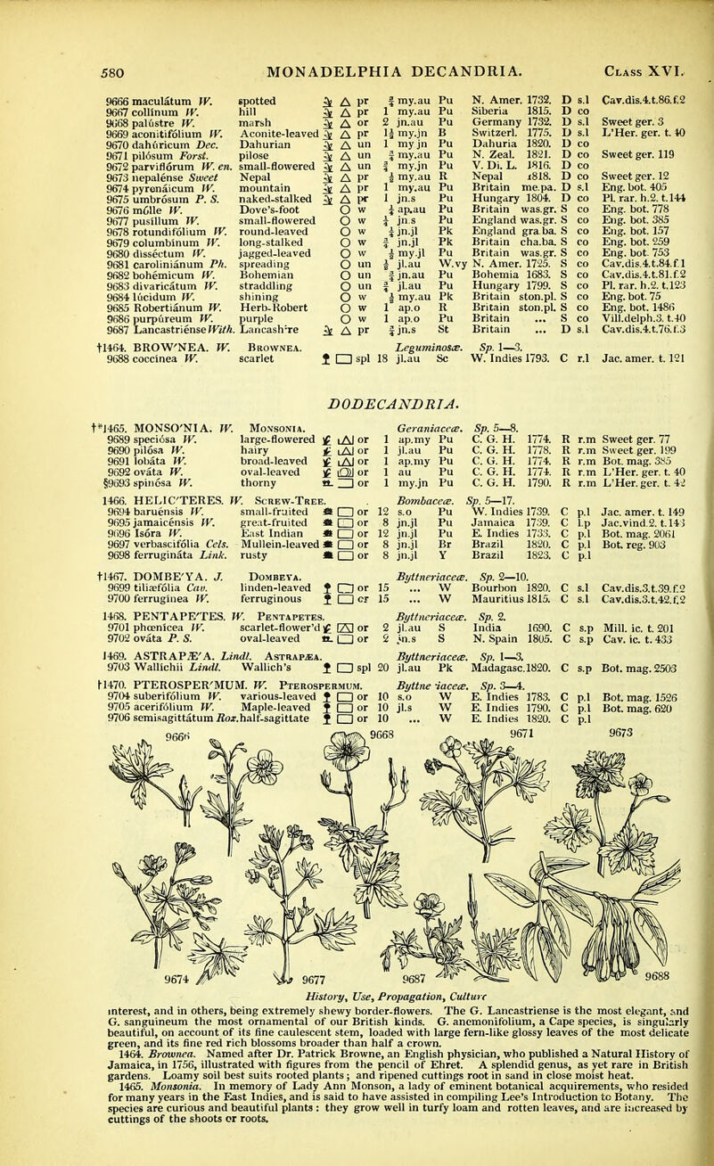 9666 maculatum W. 9667coMnum W. 9668 pal6stre W. 9669 aconitifolium IV. 9670 dahi'iricum Dec. 9671 pil6sum Forst. 9672 parviflorum W. en. 9673 nepalense Sweet 9674 pyrenaicum W. 9675 umbrosum P. S. 9676ra611e IV. 9677 pusillum W. 9678 rotundifolium IV. 9679 columbinum W. 9680 dissectum W. 9681 carolinianum Ph. 9682 bohemicum IV. 9683 divaricatum W. 9684 lucidum W. 9685 Robertianum W. 9686 purpureum W. 9687 Lancastriense With. spotted ^ hill :\ marsh ^ Aconite-leaved ^ Dahurian 3t pilose ^ small-flowered £fc Nepal ^ mountain ^ naked-stalked ^ Dove's-foot small-flowered round-leaved long-stalked jagged-leaved spreading Bohemian straddling shining Herb-Robert purple LancasfiTe ^ A pr A pr A or A pr A un A un A un A pr A pr A I* O w O w O w O w O w O un O un O un O w O w O w A pr § my.au 1 my.au 2 jn.au 1| my.jn 1 my jn f my.au I my.jn | my.au 1 my.au 1 jn.s i ap.au 5 jn.s i jn.jl f jn.jl i my.jl 5 jl.au J jn.au | jl.au | my.au 1 ap.o 1 ap.o § jn.s Pu Pu Pu B Pu Pu Pu R Pu Pu Pu Pu Pk Pk Pu W.vy Pu Pu Pk R Pu St N. Amer. 1732. Siberia 1815. Germany 1732. Switzerl. 1775. Dahuria N. Zeal. V. Di. L. Nepal Britain 1820. 1821. 1816. i818. me.pa. Hungary 1804. Britain was.gr, England was.gr England gra ba Britain cha.ba. Britain was.gr, N. Amer. 1725. Bohemia 1683. Hungary 1799. Britain ston.pl. Britain ston.pl. Britain Britain D s.l D co D s.l D s.l D co D co D co D co D s.l D co S co S co S co S co S co S co S co S co S co S co S co D s.l Cav.dis.4.t.86.f.2 Sweet ger. 3 L'Her. ger. t. 40 Sweet ger. 119 Sweet ger. 12 Eng. bot. 405 PLrar. h.2. U44 Eng. bot. 778 Eng. bot. 385 Eng. bot. 157 Eng. bot. 259 Eng. bot. 753 Cav.dis.4.t.84.f.l Cav.dis.4.t.81.f.2 PLrar. h.2. t.123 Eng. bot. 75 Eng. bot. 1486 Vill.delph.3. t.40 Cav.dis.4.t.76.f,3 11464. BROW'NEA. TV. Brownea. 9688 coccinea W. scarlet Leguminosce. Sp. 1—3. f Ospl 18 jl.au Sc W. Indies 1793. C r.l Jac. amer. 1.121 DODECANDRTA. t*1465. MONSO'NIA. 9689 speciosa W. 9690 pilosa W. 9691 lobata W. 9692 ovata W. §9693 spinosa W. W. MONSONIA. large-flowered £ lA] or hairy £ lAI or broad-leaved £ iA) or oval-leaved £ Ol or thorny a. ZD or 1466. HEUC'TERES. W. Screw-Tree. 9694 baruensis W. small-fruited M □ or 9695 jamaicensis IV. great-fruited * □ or 9696 Isora W. East Indian *» I I or 9697 verbascifolia Cels. Mullein-leaved * □ or 9698 ferruginata Link, rusty A □ or Geraniacece. 1 ap.my Pu 1 jl.au Pu 1 ap.my Pu 1 au Pu 1 my.jn Pu Bombacea. 12 s.o Pu 8 jn.jl Pu 12 jn.jl Pu 8 jn.jl Br 8 jn.jl Y Sp. 5—8. C. G. H. C. G. H. C. G. H. C. G. H. C. G. H. 1774. 1778. 1774. 1774. 1790. R r.m Sweet ger. 77 R r.m Sweet ger. 199 R r.m Bot. mag. 3t<5 R r.m L'Her. ger. t. 40 R r.m L'Her. ger. t. ii Sp. 5—17. W. Indies 1739. Jamaica 1739. E. Indies 1733. Brazil 1820. Brazil 1823. C p.l C l.p C p.l C p.l C p.l Jac. amer. 1.149 Jac.vind.2. t.143 Bot. mag. 2061 Bot. reg. 903 tl467. DOMBE'YA. J. Dombeva. BijttneriacetE. Sp. 2—10. 9699 tiliaefolia Can. linden-leaved J □ or 15 ... W Bourbon 1820. 9700 ferruginea W. ferruginous J □ cr 15 ... W Mauritius 1815. 1468. PENTAPE'TES. W. Pentapetes. Byttneriacece. Sp. 2. 9701 phcenicea IV. scarlet-flower'd £ fAl or 2 jl.au S India 1690. 9702 ovata P. S. oval-leaved «.Qo( 2 in.s S N. Spain 1805. 1469. A STRAPS'A. Lindl. Astrarea. Byttneriacece. Sp. 1—3. 9703 Wallichii Lindl. Wallich's J O spl 20 jl.au Pk Madagasc.1820. C s.p Bot. mag.2503 H470. PTEROSPER'MUM. W. Pterospermum. Byttne iacece. Sp. C s.l Cav.dis.3.t.39.f.2 C s.l Cav.dis.3.t.42.f.2 C s.p Mill. ic. t. 201 C s.p Cav. ic. t. 433 9704 suberifolium IV. various-leaved J CD or 10 s.o W 9705 acerifdlium IV. Maple-leaved J O or 10 jl.s W 9706 semisagittatumBoi.half-sagittate I □ or 10 ... W 9668 E. Indies 1783. E. Indies 1790. E. Indies 1820. 9671 C p.l Bot. mag. 1526 C p.l Bot. mag. 620 C p.l 9673 History, Use, Propagation, Culture interest, and in others, being extremely shewy border-flowers. The G. Lancastriense is the most elegant, and G. sanguineum the most ornamental of our British kinds. G. anemonifolium, a Cape species, is singularly beautiful, on account of its fine caulescent stem, loaded with large fern-like glossy leaves of the most delicate green, and its fine red rich blossoms broader than half a crown. 1464. Braumea. Named after Dr. Patrick Browne, an English physician, who published a Natural History of Jamaica, in 1756, illustrated with figures from the pencil of Ehret. A splendid genus, as yet rare in British gardens. Loamy soil best suits rooted plants; and ripened cuttings root in sand in close moist heat. 1465. Monsonia. In memory of Lady Ann Monson, a lady of eminent botanical acquirements, who resided for many years in the East Indies, and is said to have assisted in compiling Lee's Introduction to Botany. The species are curious and beautiful plants : they grow well in turfy loam and rotten leaves, and are increased by cuttings of the shoots or roots.