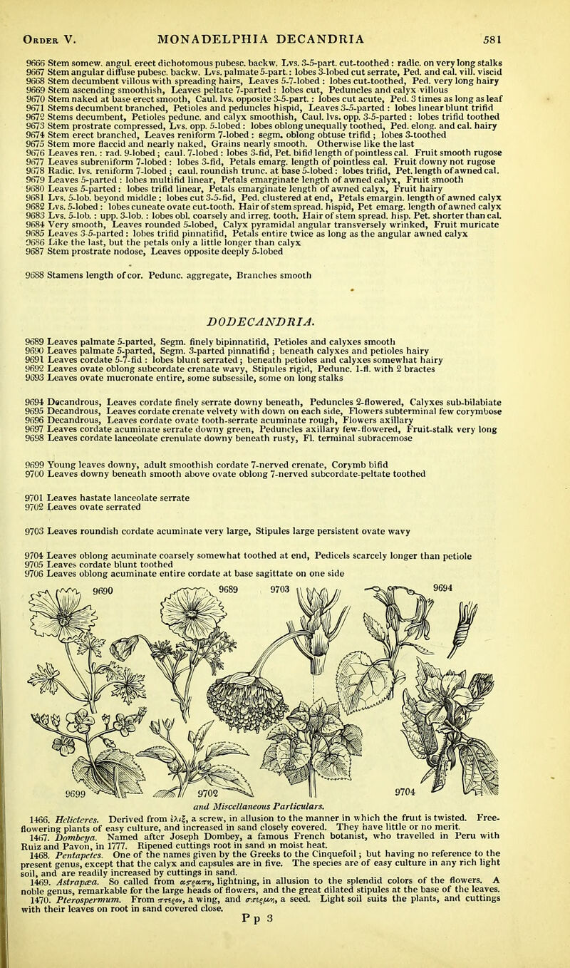 9666 Stem somew. angul. erect dichotomous pubesc. backw. Lvs. 3-5-part. cut-toothed: radlc. on very long stalks 9667 Stem angular diffb.se pubesc. backw. Lvs. palmate S-part.: lobes 3-lobed cut serrate, Fed. and cal. vill. viscid 9668 Stem decumbent villous with spreading hairs, Leaves 5-7-lobed : lobes cut-toothed, Fed. very long hairy 9669 Stem ascending smoothish, Leaves peltate 7-parted: lobes cut, Peduncles and calyx villous 9670 Stem naked at base erect smooth, Caul. lvs. opposite 3-5-part.: lobes cut acute, Pcd. 3 times as long as leaf 9671 Stems decumbent branched, Petioles and peduncles hispid, Leaves 3-5-parted : lobes linear blunt trifid 9672 Stems decumbent, Petioles pedunc. and calyx smoothish, Caul. lvs. opp. 3-5-parted : lobes trifid toothed 9673 Stem prostrate compressed, Lvs. opp. 5-lobed: lobes oblong unequally toothed, Ped. elong. and cal. hairy 9674 Stem erect branched, Leaves reniform 7-lobed : segm. oblong obtuse trifid ; lobes 3-toothed 9675 Stem more flaccid and nearly naked, Grains nearly smooth. Otherwise like the last 9676 Leaves ren.: rad. 9-lobed; caul. 7-lobed: lobes 3-fid, Pet. bifid length of pointless cal. Fruit smooth rugose 9677 Leaves subreniform 7-lobed: lobes 3-fid, Petals emarg. length of pointless cal. Fruit downy not rugose 9678 Radic. lvs. reniform 7-lobed ; caul, roundish trunc. at base 5-lobed: lobes trifid, Pet. length of awned cal. 9679 Leaves 5-parted : lobes multifid linear, Petals emarginate length of awned calyx, Fruit smooth 9680 Leaves 5-parted : lobes trifid linear, Petals emarginate length of awned calyx, Fruit hairy 9681 Lvs. 5-lob. beyond middle: lobes cut 3-5-fid, Ped. clustered at end, Petals emargin. length of awned calyx 9682 Lvs. 5-lobed: lobes cuneate ovate cut-tooth. Hair of stem spread, hispid, Pet emarg. length of awned calyx 9683 Lvs. 5-lob.: upp. 3-lob.: lobes obi. coarsely and irreg. tooth. Hair of stem spread, hisp. Pet. shorter than cal. 9684 Very smooth, Leaves rounded 5-lobed, Calyx pyramidal angular transversely wrinked, Fruit muricate 9685 Leaves 3-5-parted: lobes trifid pinnatifid, Petals entire twice as long as the angular awned calyx 9686 Like the last, but the petals only a little longer than calyx 9687 Stem prostrate nodose, Leaves opposite deeply 5-lobed 9688 Stamens length of cor. Pedunc. aggregate, Branches smooth DODECANDRIA. 9689 Leaves palmate 5-parted, Segm. finely bipinnatifid, Petioles and calyxes smooth 9690 Leaves palmate 5-parted, Segm. 3-parted pinnatifid ; beneath calyxes and petioles hairy 9691 Leaves cordate 5-7-fid : lobes blunt serrated; beneath petioles and calyxes somewhat hairy 9692 Leaves ovate oblong subcordate crenate wavy, Stipules rigid, Pedunc. 1-fl. with 2 bractes 9693 Leaves ovate mucronate entire, some subsessile, some on long stalks 9694 Decandrous, Leaves cordate finely serrate downy beneath, Peduncles 2-flowered, Calyxes sub-bilabiate 9695 Decandrous, Leaves cordate crenate velvety with down on each side, Flowers subterminal few corymbose 9696 Decandrous, Leaves cordate ovate tooth-serrate acuminate rough, Flowers axillary 9697 Leaves cordate acuminate serrate downy green, Peduncles axillary few-flowered, Fruit-stalk very long 9698 Leaves cordate lanceolate crenulate downy beneath rusty, Fl. terminal subracemose 9699 Young leaves downy, adult smoothish cordate 7-nerved crenate, Corymb bifid 9700 Leaves downy beneath smooth above ovate oblong 7-nerved subcordate-peltate toothed 9701 Leaves hastate lanceolate serrate 9702 Leaves ovate serrated 9703 Leaves roundish cordate acuminate very large, Stipules large persistent ovate wavy 9704 Leaves oblong acuminate coarsely somewhat toothed at end, Pedicels scarcely longer than petiole 9705 Leaves cordate blunt toothed 9706 Leaves oblong acuminate entire cordate at base sagittate on one side and Miscellaneous Particulars. 1466. Hclicteres. Derived from eAi|, a screw, in allusion to the manner in which the fruit is twisted. Free- flowering plants of easy culture, and increased in sand closely covered. They have little or no merit. 1467. Dombeya. Named after Joseph Dombey, a famous French botanist, who travelled in Peru with Ruiz and Pavon, in 1777. Ripened cuttings root in sand m moist heat. 1468. Pentapetes. One of the names given by the Greeks to the Cinquefoil; but having no reference to the present genus, except that the calyx and capsules are in five. The species are of easy culture in any rich light soil, and are readily increased by cuttings in sand. 1469. Astrap&a. So called from as-^aar,, lightning, in allusion to the splendid colors of the flowers. A noble genus, remarkable for the large heads of flowers, and the great dilated stipules at the base of the leaves. 1470. Pterospermum. From irnepi, a wing, and mn%im, a seed. Light soil suits the plants, and cuttings with their leaves on root in sand covered close. Pp 3